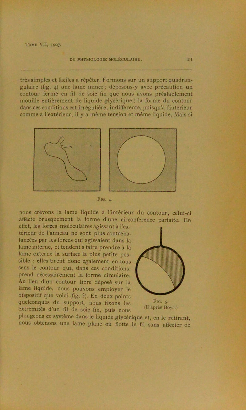 DE PHYSIOLOGIE MOLÉCULAIRE. 21 très simples et faciles à répéter. Formons sur un support quadran- gulaire (fig. 4) une lame mince; déposons-y avec précaution un contour fermé en fil de soie fin que nous avons préalablement mouillé entièrement de liquide glycérique : la forme du contour dans ces conditions est irrégulière, indifférente, puisqu’à l’intérieur comme à l’extérieur, il y a même tension et même liquide. Mais si nous crèvons la lame liquide à l’intérieur du contour, celui-ci affecte brusquement la forme d’une circonférence parfaite. En effet, les forces moléculaires agissant à l’ex- térieur de l’anneau ne sont plus contreba- lancées par les forces qui agissaient dans la lame interne, et tendent à faire prendre à la lame externe la surface la plus petite pos- sible : elles tirent donc également en tous sens le contour qui, dans ces conditions, prend nécessairement la forme circulaire. Au lieu d’un contour libre déposé sur la lame liquide, nous pouvons employer le dispositif que voici (fig. 5). En deux points quelconques du support, nous fixons les , 5- extrémités d’un fil de soie fin, puis nous (b> après Boy.s.) plongeons ce système dans le liquide glycérique et, en le retirant, nous obtenons une lame plane où flotte le fil sans affecter de