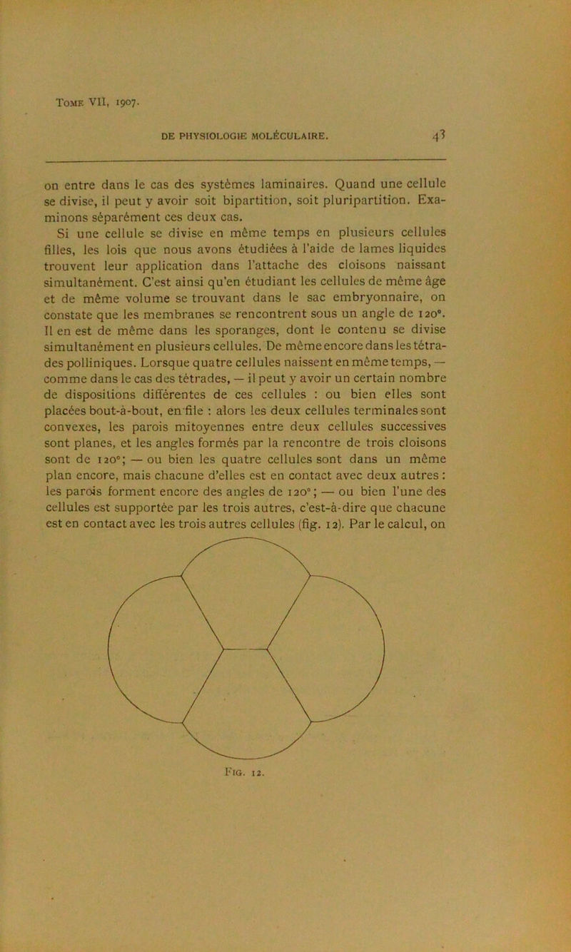 DE PHYSIOLOGIE MOLÉCULAIRE. 4^ on entre dans le cas des systèmes laminaires. Quand une cellule se divise, il peut y avoir soit bipartition, soit pluripartition. Exa- minons séparément ces deux cas. Si une cellule se divise en même temps en plusieurs cellules filles, les lois que nous avons étudiées à l’aide de lames liquides trouvent leur application dans l’attache des cloisons naissant simultanément. C’est ainsi qu’en étudiant les cellules de même âge et de même volume se trouvant dans le sac embryonnaire, on constate que les membranes se rencontrent sous un angle de 120®. Il en est de même dans les sporanges, dont le contenu se divise simultanément en plusieurs cellules. De même encore dans les tétra- des polliniques. Lorsque quatre cellules naissent en même temps, — comme dans le cas des tétrades, — il peut y avoir un certain nombre de dispositions différentes de ces cellules : ou bien elles sont placées bout-à-bout, en file ; alors les deux cellules terminales sont convexes, les parois mitoyennes entre deux cellules successives sont planes, et les angles formés par la rencontre de trois cloisons sont de 120®; —ou bien les quatre cellules sont dans un même plan encore, mais chacune d’elles est en contact avec deux autres : les parois forment encore des angles de 120“; — ou bien l’une des cellules est supportée par les trois autres, c’est-à-dire que chacune
