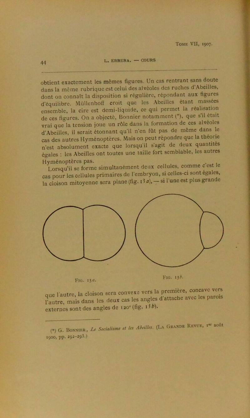 L. ERRERA. — COURS obtient exactement les mêmes figures. Un cas rentrant sans doute dans la même rubrique est celui des alvéoles des ruches d Abeilles, dont on connaît la disposition si régulière, répondant aux figures d’équilibre. Müllenhoff croit que les Abeilles étant massées ensemble, la cire est demi-liquide, ce qui permet la réahsation de ces figures. On a objecté, Bonnier notamment (*), que s’il était vrai que la tension joue un rôle dans la formation de ces alvéoles d’Abeilles, il serait étonnant qu’il n’en fût pas de même dans le cas des autres Hyménoptères. Mais on peut répondre que la théorie n’est absolument exacte que lorsqu’il s’agit de deux quantités égales : les Abeilles ont toutes une taille fort semblable, les autres Hyménoptères pas. , Lorsqu’il se forme simultanément deux cellules, comme c est le cas pour les cellules primaires de l’embryon, si celles-ci sont égales, la cloison mitoyenne sera plane (fig. i3 a), - si l’une est plus grande Fig. lia. Fig. i3<'- que l’autre, la cloison sera convexe vers la première, concave vers rautre, mais dans les deux cas les angles d attache avec les paro externes sont des angles de 120'’ (fig. 13 b). (♦) G. Bonnier, Le Socialisme et 1900, pp. 292-293.) les Abeilles. (La Grande Revue, i“ août