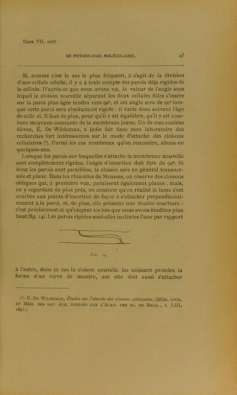 DE PHYSIOLOGIE MOLÉCULAIRE. 45 Si, comme c’est le cas le plus fréquent, il s’agit de la division d’une cellule adulte, il y a à tenir compte des parois déjà rigides de la cellule. D’après ce que nous avons vu, la valeur de l’angle sous lequel la cloison nouvelle séparant les deux cellules filles s’insère sur la paroi plus àgèe tendra vers 90°, et cet angle sera de 90” lors- que cette paroi sera absolument rigide : il varie donc suivant l’âge de celle ci. Il faut de plus, pour qu’il y ait équilibre, qu’il y ait cour- bure moyenne constante de la membrane jeune. Un de mes anciens élèves, E. De Wildeman, a jadis fait dans mon laboratoire des recherches fort intéressantes sur le mode d’attache des cloisons cellulaires {*). Parmi les cas nombreux qu’on rencontre, citons-en quelques-uns. Lorsque les parois sur lesquelles s’attache la membrane nouvelle sont complètement rigides, l’angle d’insertion doit être de 90®. Si donc les parois sont parallèles, la cloison sera en général transver- sale et plane. Dans les rhizoïdes de Mousses, on observe des cloisons obliques qui, à première vue, paraissent également planes ; mais, en y regardant de plus près, on constate qu’en réalité la lame s’est courbée aux points d’insertion de façon à s’attacher perpendiculai- rement à la paroi, et, de plus, elle présente une double courbure : c'est précisément ce qu’exigent les lois que nous avons étudiées plus haut(fig. 14). Les parois rigides sont-elles inclinées l’une par rapport Fig. i+. à l’autre, dans ce cas la cloison nouvelle les unissant prendra la forme d’un verre de montre, car elle doit aussi s’attacher (*) E. De Wildeman, Éludes sur l’attache des cloisons cellulaires, (Mém. cour. ET Mém. des sav. étk. publiés par l’Acad. des sc. de Belg. , t. LUI, 1893.)