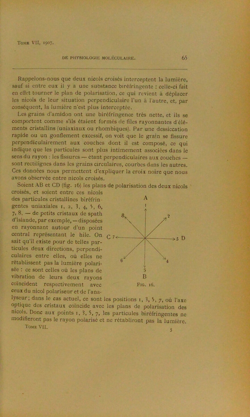 DE PHYSIOLOGIE MOLÉCULAmE. 63 Rappelons-nous que deux niçois croisés interceptent la lumière, sauf si entre eux il y a une substance biréfringente ; celle-ci fait en effet tourner le plan de polarisation, ce qui revient à déplacer les niçois de leur situation perpendiculaire l’un à l’autre, et, par conséquent, la lumière n’est plus interceptée. Les grains d'amidon ont une biréfringence très nette, et ils se comportent comme s’ils étaient formés de files rayonnantes d élé- ments cristallins (uniaxiaux ou rhombiques). Par une dessiccation rapide ou un gonflement excessif, on voit que le grain se fissure perpendiculairement aux couches dont il est composé, ce qui indique que les particules sont plus intimement associées dans le sens du rayon : les fissures — étant perpendiculaires aux couches — sont rectilignes dans les grains circulaires, courbes dans les autres. Ces données nous permettent d’expliquer la croix noire que nous avons observée entre niçois croisés. Soient AB et CD (fig. 16) les plans de polarisation des deux niçois ' croisés, et soient entre ces niçois des particules cristallines biréfrin- gentes uniaxiales i, 2, 3, 4, 3, 6, 7, 8. — de petits cristaux de spath d’Islande, par exemple, — disposées en rayonnant autour d’un point central représentant le hile. On q sait qu’il existe pour de telles par- ticules deux directions, perpendi- culaires entre elles, où elles ne rétablissent pas la lumière polari- sée ; ce sont celles où les plans de vibration de leurs deux rayons coïncident respectivement avec ceux du nicol polariseur et de l’ana- lyseur; dans le cas actuel, ce sont les optique des cristaux coïncide avec les plans de polarisation des niçois. Donc aux points i, 3, 5, 7, les particules biréfringentes ne modifieront pas le rayon polarisé et ne rétabliront pas la lumière. Tome VIL , A I B Fig. 16.