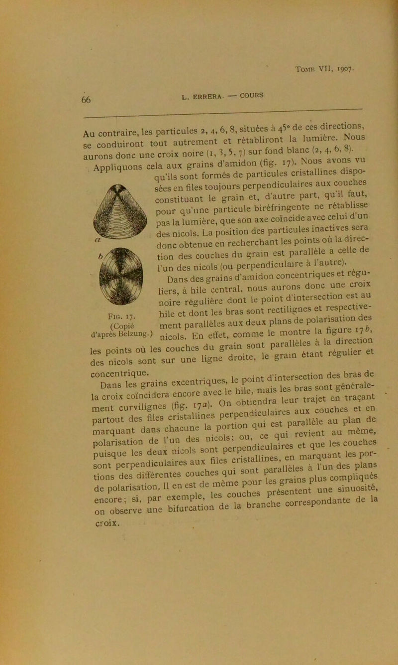 66 L. errera. — COURS Au contraire, les particules 2, 4.6, 8, situées à 4s» de ces directions, t conduiront tout autrement et rétabliront la lutn.ére^ Nous aurons donc une croix noire (i, 3, 5, 7) sur fond blanc (2, 4, 6, 8). Appliquons cela aux grains d’amidon (fig. i?)- ^^dLT qu’ils sont formés de particules cristallines dispo- sées en files toujours perpendiculaires aux couches constituant le grain et, d’autre part, qu'i» faut, pour qu’une particule biréfringente ne rétablisse pas la lumière, que son axe coïncide avec celui d un des niçois. La position des particules inactives sera donc obtenue en recherchant les points ou la direc- tion des couches du grain est parallèle a celle de l’un des niçois (ou perpendiculaire a 1 autre). Dans des grains d’amidon concentriques et régu- liers à hile central, nous aurons donc une croix noir; régulière dont le point d’intersection est au FiG. 17. hile et dont les bras sont rectilignes et ^espective- (Copié ment parallèles aux deux plans de po d’après Bekung.) effet, comme le montre J ^ les points où les couches du grain sont « des niçois sont sur une ligne droite, le grain étant régulier concentrique. riSntprsection des bras de Dans les grains excentriques g^ofrale- la croix coïncidera encore avec e traçant ment curvilignes (fig. i?)- „Hiciilaires aux couches et en partout des files cristallines 3,, p^n de Arquant dans chacune auW polarisation de l un des niçois, ’ . ^ les couches puisque les deux niçois sont perpendiculaires ^t q sont perpendiculaires aux files crista ^ ^ plans tions des différentes couches qui de polarisation. 11 en est de présentent une sinuosité, encore; si, par exemp , branche correspondante de la on observe une bifurcation de la branche corre p croix.