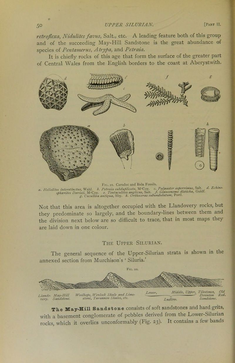 5° retroflexa, Nidulites favus, Salt., etc. A leading feature both of this group and of the succeeding May-Hill Sandstone is the great abundance of species of Pentainerus, Atrypa, and Petraia. It is chiefly rocks of this age that form the surface of the greater part of Central Wales from the English borders to the coast at Aberystwith. Fig. 21. Caradoc and Bala Fossils. a. Heliolites interstinctus, Wahl. b. Petraia subduplicata, M'Coy. c. Palzaster asperrimus, Salt. d. Echino- spfuerites Davisii, McCoy. e. Tentaculites anglicus, Salt, f Glaucononte disticha, Ooiat. g. Cucullsea antiquay Sby. h. Orthoceras subundulatum, Portl. Not that this area is altogether occupied with the Llandovery rocks, but they predominate so largely, and the boundary-lines between them and the division next below are so difficult to trace, that in most maps they are laid down in one colour. The Upper Silurian. The general sequence of the Upper-Silurian strata is shown in the annexed section from Murchison’s ‘ Siluria.’ Fig. 22. L lando- May-Hill very. Sandstone. Woolhope, Wen lock Shale and Lime- stone, Tarannon Shales, etc. Lower, Middle, Upper, Tilestoncs, Old - -Y- —■■—Down ton Red. Ludlow. Sandstone. The May-Hill Sandstone consists of soft sandstones and hard grits, with a basement conglomerate of pebbles derived from the Lower-Silurian rocks, which it overlies unconformably (Fig. 23). It contains a few bands