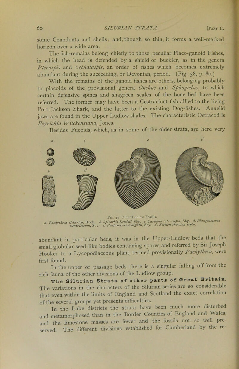 some Conodonts and shells; and, though so thin, it forms a well-marked horizon over a wide area. The fish-remains belong chiefly to those peculiar Placo-ganoid Fishes, in which the head is defended by a shield or buckler, as in the genera Pteraspis and Ccphalaspis, an order of fishes which becomes extremely abundant during the succeeding, or Devonian, period. (Fig. 38, p. 80.) With the remains of the ganoid fishes are others, belonging probably to placoids of the provisional genera Onchus and Sphagodus, to which certain defensive spines and shagreen scales of the bone-bed have been referred. The former may have been a Cestraciont fish allied to the living Port-Jackson Shark, and the latter to the existing Dog-fishes. Annelid jaws are found in the Upper Ludlow shales. The characteristic Ostracod is Beyrichia Wilckensiana, Jones. Besides Fucoids, which, as in some of the older strata, are here very a. Pachy thee a Fig. 33. Other Ludlow Fossils. sphserica, Hook. b. Spirorbis Lewisii., Sby. c. Cardiola interrupts Sby. d. Phragmoccras ventricosum, Sby. e. Pentamerus Knightii, Sby. d. Section showing septa. abundant in particular beds, it was in the Upper-Ludlow beds that the small globular seed-like bodies containing spores and referred by Sir Joseph Hooker to a Lycopodiaceous plant, termed provisionally P achy theca, were first found. In the upper or passage beds there is a singular falling off fioin the rich fauna of the other divisions of the Ludlow group. The Silurian Strata of other parts of Great Britain. The variations in the characters of the Silurian series are so considerable that even within the limits of England and Scotland the exact con elation of the several groups yet presents difficulties. In the Lake districts the strata have been much more disturbed and metamorphosed than in the Border Counties of England and Wales, and the limestone masses are fewer and the fossils not so well pre- served. The different divisions established for Cumberland by the re-