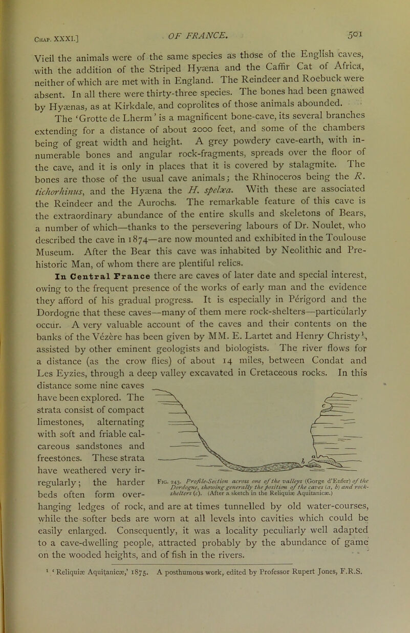 Vieil the animals were of the same species as tho'se of the English caves, with the addition of the Striped Hysena and the Caffir Cat of Africa, neither of which are met with in England. The Reindeer and Roebuck were absent. In all there were thirty-three species. The bones had been gnawed by Hyaenas, as at Kirkdale, and coprolites of those animals abounded. The ‘Grotte de Lherm ’ is a magnificent bone-cave, its several branches extending for a distance of about 2000 feet, and some of the chambeis being of great width and height. A grey powdery cave-earth, with in- numerable bones and angular rock-fragments, spreads over the floor of the cave, and it is only in places that it is covered by stalagmite. The bones are those of the usual cave animals; the Rhinoceros being the R. tichorhinus, and the Hyaena the H. spelxa. With these are associated the Reindeer and the Aurochs. The remarkable feature of this cave is the extraordinary abundance of the entire skulls and skeletons of Bears, a number of which—thanks to the persevering labours of Dr. Noulet, who described the cave in 1874—are now mounted and exhibited in the Toulouse Museum. After the Bear this cave was inhabited by Neolithic and Pre- historic Man, of whom there are plentiful relics. In Central Trance there are caves of later date and special interest, owing to the frequent presence of the works of early man and the evidence they afford of his gradual progress. It is especially in Perigord and the Dordogne that these caves—many of them mere rock-shelters—particularly occur. A very valuable account of the caves and their contents on the banks of the Vezere has been given by MM. E. Lartet and Henry Christy1, assisted by other eminent geologists and biologists. The river flows for a distance (as the crow flies) of about 14 miles, between Condat and Les Eyzies, through a deep valley excavated in Cretaceous rocks. In this distance some nine caves have been explored. The strata consist of compact limestones, alternating with soft and friable cal- careous sandstones and freestones. These strata have weathered very ir- regularly ; the harder beds often form over- hanging ledges of rock, and are at times tunnelled by old water-courses, while the softer beds are worn at all levels into cavities which could be easily enlarged. Consequently, it was a locality peculiarly well adapted to a cave-dwelling people, attracted probably by the abundance of game on the wooded heights, and of fish in the rivers. Fig. 243. Profile-Section across one of the valleys (Gorge d’Enfer) of the Dordogne, showing generally the position of the caves (a, b) and rock- shelters (c). (After a sketch in the Reliquiae Aquitanicae.) 1 ‘ Reliquiae Aqui^anicoe,’ 1875. A- posthumous work, edited by Professor Rupert Jones, F.R.S.