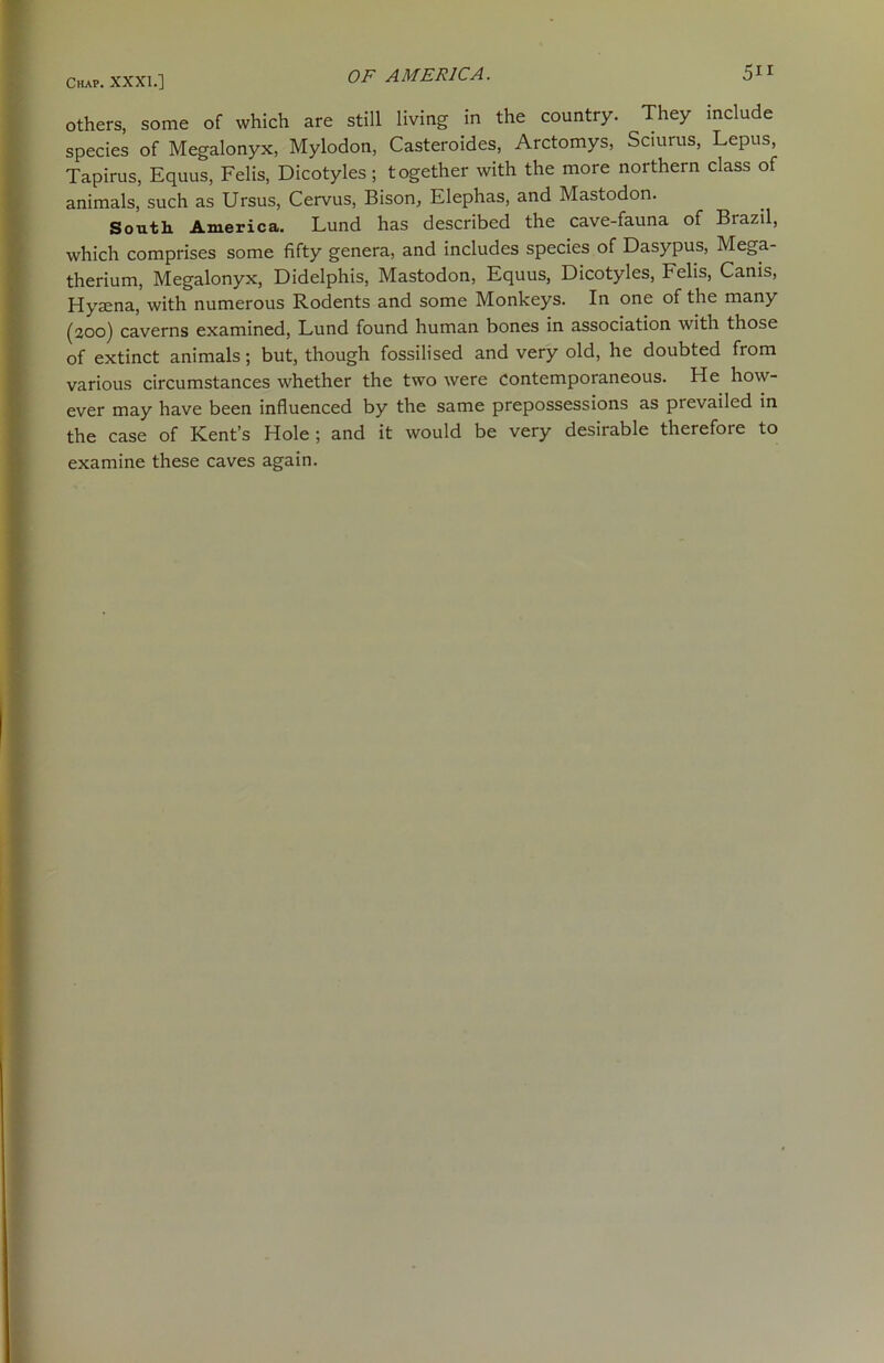others, some of which are still living in the country. They include species of Megalonyx, Mylodon, Casteroides, Arctomys, Sciurus, Lepus, Tapirus, Equus, Felis, Dicotyles; together with the more northern class of animals, such as Ursus, Cervus, Bison, Elephas, and Mastodon. South America. Lund has described the cave-fauna of Brazil, which comprises some fifty genera, and includes species of Dasypus, Mega- therium, Megalonyx, Didelphis, Mastodon, Equus, Dicotyles, Felis, Canis, Hysena, with numerous Rodents and some Monkeys. In one of the many (300) caverns examined, Lund found human bones in association with those of extinct animals; but, though fossilised and very old, he doubted from various circumstances whether the two were contemporaneous. He how- ever may have been influenced by the same prepossessions as pi evaded in the case of Kent’s Hole; and it would be very desirable therefore to examine these caves again.
