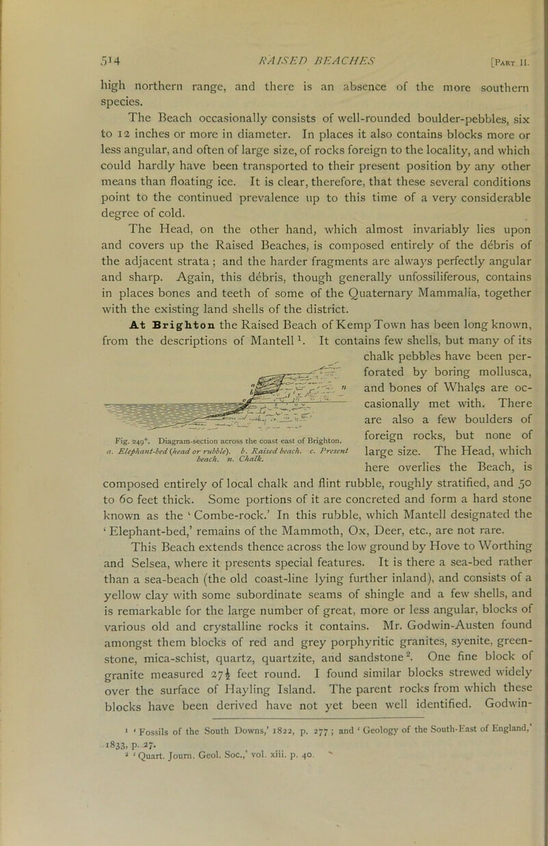 high northern range, and there is an absence of the more southern species. The Beach occasionally consists of well-rounded boulder-pebbles, six to 12 inches or more in diameter. In places it also contains blocks more or less angular, and often of large size, of rocks foreign to the locality, and which could hardly have been transported to their present position by any other means than floating ice. It is clear, therefore, that these several conditions point to the continued prevalence up to this time of a very considerable degree of cold. The Head, on the other hand, which almost invariably lies upon and covers up the Raised Beaches, is composed entirely of the debris of the adjacent strata; and the harder fragments are always perfectly angular and sharp. Again, this debris, though generally unfossiliferous, contains in places bones and teeth of some of the Quaternary Mammalia, together with the existing land shells of the district. At Brighton the Raised Beach of Kemp Town has been long known, from the descriptions of Mantell1. It contains few shells, but many of its chalk pebbles have been per- forated by boring mollusca, and bones of Whales are oc- casionally met with. There are also a few boulders of foreign rocks, but none of large size. The Head, which here overlies the Beach, is composed entirely of local chalk and flint rubble, roughly stratified, and 50 to 60 feet thick. Some portions of it are concreted and form a hard stone known as the ‘ Combe-rock.’ In this rubble, which Mantell designated the ‘ Elephant-bed,’ remains of the Mammoth, Ox, Deer, etc., are not rare. This Beach extends thence across the low ground by Hove to Worthing and Selsea, where it presents special features. It is there a sea-bed rather than a sea-beach (the old coast-line lying further inland), and consists of a yellow clay with some subordinate seams of shingle and a few shells, and is remarkable for the large number of great, more or less angular, blocks of various old and crystalline rocks it contains. Mr. Godwin-Austen found amongst them blocks of red and grey porphyritic granites, syenite, green- stone, mica-schist, quartz, quartzite, and sandstone2. One fine block of granite measured 27 ^ feet round. I found similar blocks strewed widely over the surface of Hayling Island. The parent rocks from which these blocks have been derived have not yet been well identified. Godwin- Fig. 249*. Diagram-section across the coast east of Brighton. a. Elephant-bed {head or rubble), b. Raised beach, c. Present beach, n. Chalk. 1 ‘Fossils of the South Downs,’ 1822, p. 277; and ‘ Geolog)'of the South-East of England, 183.8. P- 27• a ‘ Quart. Journ. Geol. Soc.,’ vol. xiii. p. 40.