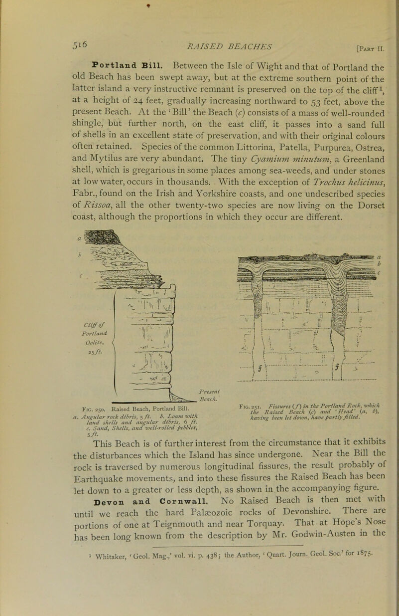 ♦ 51(5 RAISED BEACHES [Part n. Portland Bill. Between the Isle of Wight and that of Portland the old Beach has been swept away, but at the extreme southern point of the latter island a very instructive remnant is preserved on the top of the cliff1, at a height of 2,4 feet, gradually increasing northward to 53 feet, above the present Beach. At the ‘ Bill ’ the Beach (c) consists of a mass of well-rounded shingle, but further north, on the east cliff, it passes into a sand full of shells in an excellent state of preservation, and with their original colours often retained. Species of the common Littorina, Patella, Purpurea, Ostrea, and Mytilus are very abundant. The tiny Cyaininm minutum, a Greenland shell, which is gregarious in some places among sea-weeds, and under stones at low water, occurs in thousands. With the exception of Trochus helicinus, Fabr., found on the Irish and Yorkshire coasts, and one undescribed species of Rissoa, all the other twenty-two species are now living on the Dorset coast, although the proportions in which they occur are different. a Present Beach. Fig. 250. Raised Beach, Portland Bill. . Angular rock debris, 5 //. b. Loam with land shells and angular ddbris, 6 ft. c. Sand, Shells, and well-rolled pebbles, 5 ft- a b c Fig. 251. Fissures (f) in the Portland Rock, which the Raised Beach (c) and 'Head' {a, b), having been let doiun, have partly filled. This Beach is of further interest from the circumstance that it exhibits the disturbances which the Island has since undergone. Near the Bill the rock is traversed by numerous longitudinal fissures, the result probably of Earthquake movements, and into these fissures the Raised Beach has been let down to a greater or less depth, as shown in the accompanying figure. Devon and Cornwall. No Raised Beach is then met with until we reach the hard Palaeozoic rocks of Devonshire. 1 here are portions of one at Teignmouth and near Torquay. That at Hopes Nose has been long known from the description by Mr. Godwin-Austen in the 1 Whitaker, ‘Geol. Mag.,’ vol. vi. p. 438; the Author, ‘ Quart. Journ. Geol. Soc.’ for 1875.