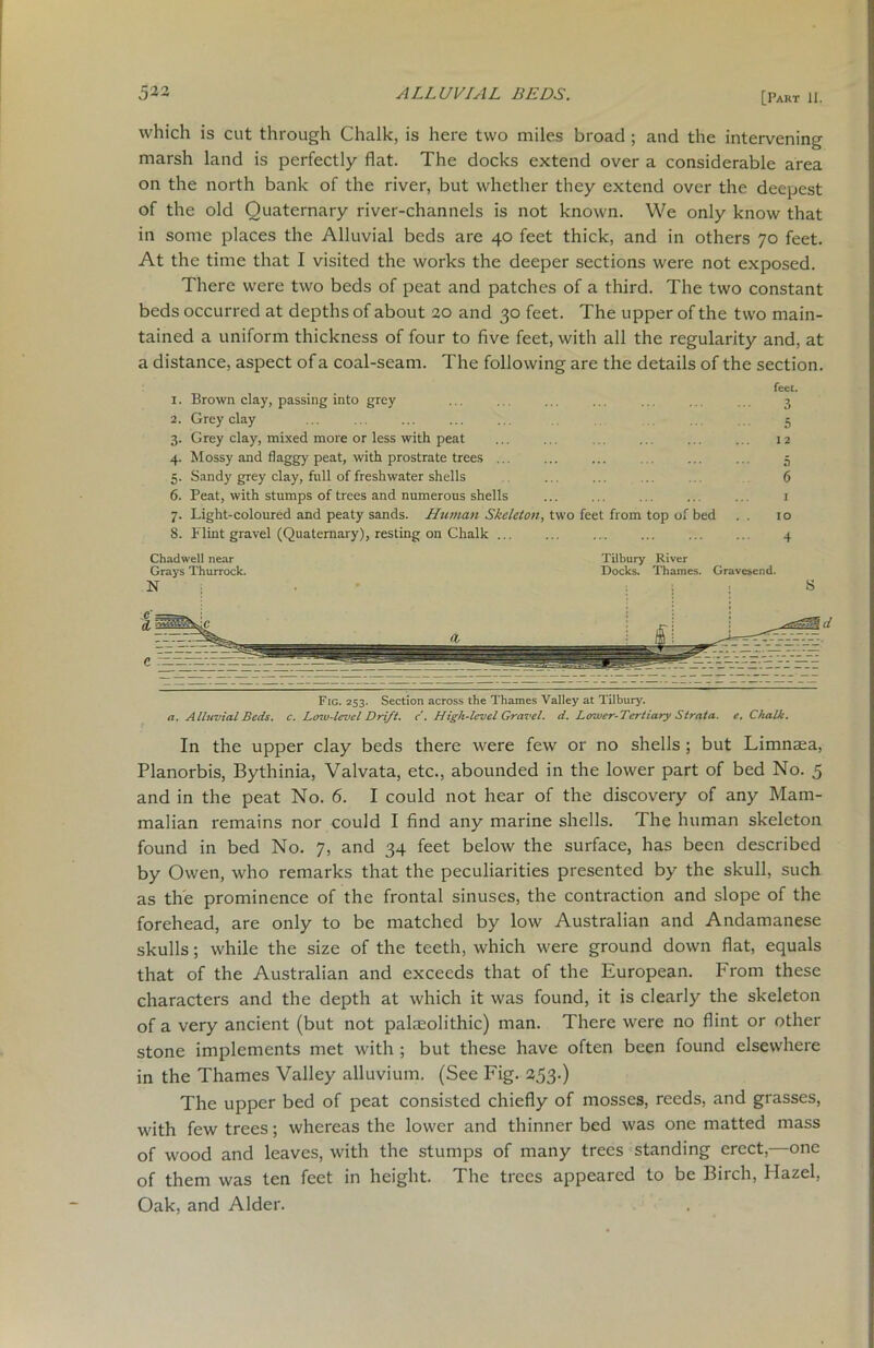 which is cut through Chalk, is here two miles broad; and the intervening marsh land is perfectly flat. The docks extend over a considerable area on the north bank of the river, but whether they extend over the deepest of the old Quaternary river-channels is not known. We only know that in some places the Alluvial beds are 40 feet thick, and in others 70 feet. At the time that I visited the works the deeper sections were not exposed. There were two beds of peat and patches of a third. The two constant beds occurred at depths of about 20 and 30 feet. The upper of the two main- tained a uniform thickness of four to five feet, with all the regularity and, at a distance, aspect of a coal-seam. The following are the details of the section. feet. 1. Brown clay, passing into grey ... . ... ... ... . .. j 2. Grey clay ... ... ... ... ... ... 5 3. Grey clay, mixed more or less with peat ... ... ... .. ... ... 12 4. Mossy and flaggy peat, with prostrate trees ... ... ... .. 5 5. Sandy grey clay, full of freshwater shells ... ... ... ... 6 6. Peat, with stumps of trees and numerous shells ... ... ... .. ... 1 7. Light-coloured and peaty sands. Human Skeleton, two feet from top of bed .. 10 8. Flint gravel (Quaternary), resting on Chalk ... ... ... ... ... .. 4 Chadwell near Grays Thurrock. N Tilbury River Docks. Thames. Gravesend. i i ■ s Fig. 253. Section across the Thames Valley at Tilbury. a. Alluvial Beds. c. Lmu-levcl Drift, c . High-level Gravel, d. Lower-Tertiary Strata, e. Chalk. In the upper clay beds there were few or no shells; but Limnasa, Planorbis, Bythinia, Valvata, etc., abounded in the lower part of bed No. 5 and in the peat No. 6. I could not hear of the discovery of any Mam- malian remains nor could I find any marine shells. The human skeleton found in bed No. 7, and 34 feet below the surface, has been described by Owen, who remarks that the peculiarities presented by the skull, such as the prominence of the frontal sinuses, the contraction and slope of the forehead, are only to be matched by low Australian and Andamanese skulls; while the size of the teeth, which were ground down flat, equals that of the Australian and exceeds that of the European. From these characters and the depth at which it was found, it is clearly the skeleton of a very ancient (but not palaeolithic) man. There were no flint or other stone implements met with ; but these have often been found elsewhere in the Thames Valley alluvium. (See Fig. 253.) The upper bed of peat consisted chiefly of mosses, reeds, and grasses, with few trees; whereas the lower and thinner bed was one matted mass of wood and leaves, with the stumps of many trees standing erect,—one of them was ten feet in height. The trees appeared to be Birch, Hazel, Oak, and Alder.