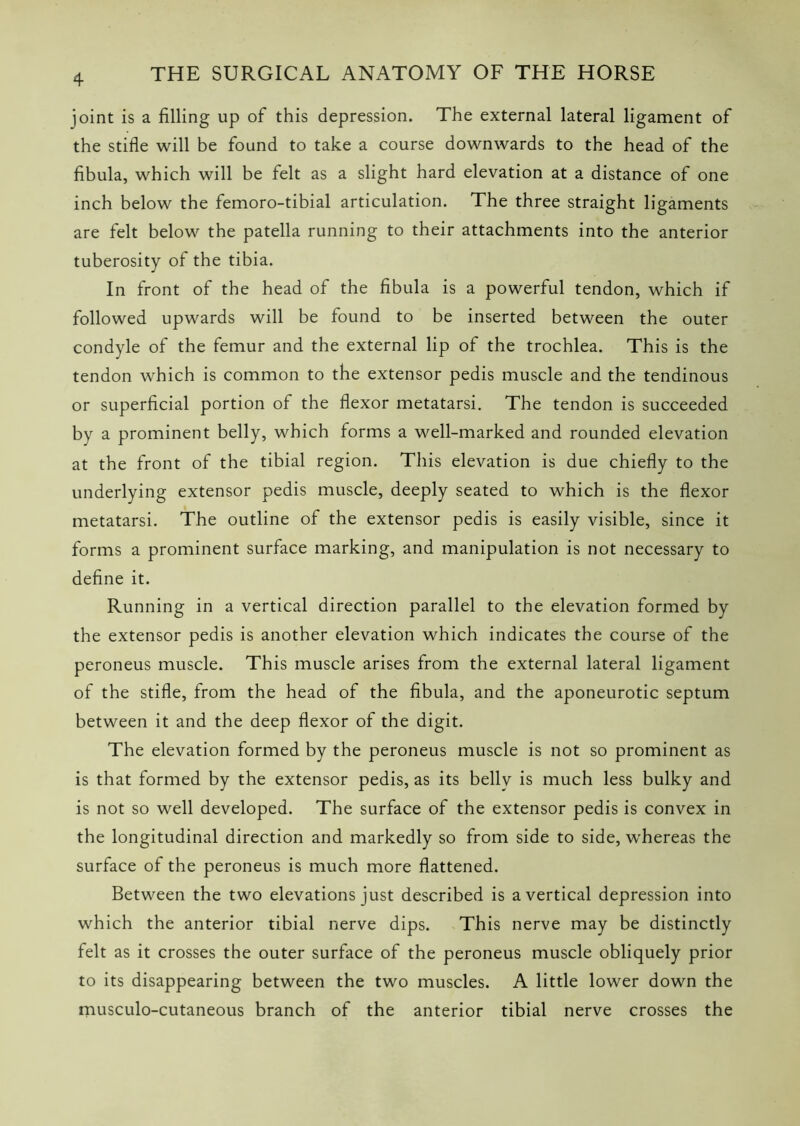 joint is a filling up of this depression. The external lateral ligament of the stifle will be found to take a course downwards to the head of the fibula, which will be felt as a slight hard elevation at a distance of one inch below the femoro-tibial articulation. The three straight ligaments are felt below the patella running to their attachments into the anterior tuberosity of the tibia. In front of the head of the fibula is a powerful tendon, which if followed upwards will be found to be inserted between the outer condyle of the femur and the external lip of the trochlea. This is the tendon which is common to the extensor pedis muscle and the tendinous or superficial portion of the flexor metatarsi. The tendon is succeeded by a prominent belly, which forms a well-marked and rounded elevation at the front of the tibial region. This elevation is due chiefly to the underlying extensor pedis muscle, deeply seated to which is the flexor metatarsi. The outline of the extensor pedis is easily visible, since it forms a prominent surface marking, and manipulation is not necessary to define it. Running in a vertical direction parallel to the elevation formed by the extensor pedis is another elevation which indicates the course of the peroneus muscle. This muscle arises from the external lateral ligament of the stifle, from the head of the fibula, and the aponeurotic septum between it and the deep flexor of the digit. The elevation formed by the peroneus muscle is not so prominent as is that formed by the extensor pedis, as its belly is much less bulky and is not so well developed. The surface of the extensor pedis is convex in the longitudinal direction and markedly so from side to side, W'hereas the surface of the peroneus is much more flattened. Between the two elevations just described is a vertical depression into which the anterior tibial nerve dips. This nerve may be distinctly felt as it crosses the outer surface of the peroneus muscle obliquely prior to its disappearing between the two muscles. A little lower down the musculo-cutaneous branch of the anterior tibial nerve crosses the