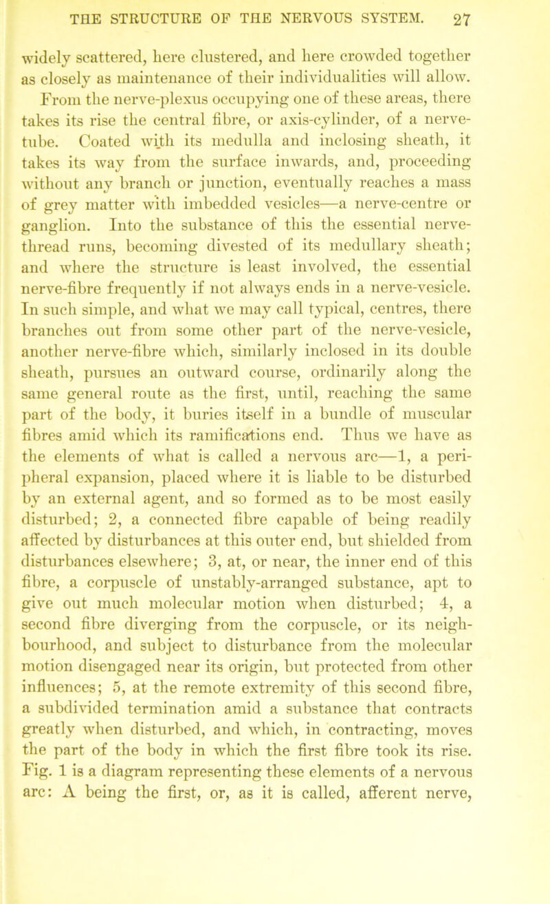 widely scattered, here clustered, and here crowded together as closely as maintenance of their individualities will allow. From the nerve-plexus occupying one of these areas, there takes its rise the central fibre, or axis-cylinder, of a nerve- tube. Coated with its medulla and inclosing sheath, it takes its way from the surface inwards, and, proceeding without any branch or junction, eventually reaches a mass of grey matter with imbedded vesicles—a nerve-centre or ganglion. Into the substance of this the essential nerve- thread runs, becoming divested of its medullary sheath; and where the structure is least involved, the essential nerve-fibre frequently if not always ends in a nerve-vesicle. In such simple, and what we may call typical, centres, there branches out from some other part of the nerve-vesicle, another nerve-fibre which, similarly inclosed in its double sheath, pursues an outward course, ordinarily along the same general route as the first, until, reaching the same part of the body, it buries itself in a bundle of muscular fibres amid which its ramifications end. Thus we have as the elements of what is called a nervous arc—1, a peri- pheral expansion, placed where it is liable to be disturbed by an external agent, and so formed as to be most easily disturbed; 2, a connected fibre capable of being readily affected by disturbances at this outer end, but shielded from disturbances elsewhere; 3, at, or near, the inner end of this fibre, a corpuscle of unstably-arranged substance, apt to give out much molecular motion when disturbed; 4, a second fibre diverging from the corpuscle, or its neigh- bourhood, and subject to disturbance from the molecular motion disengaged near its origin, but protected from other influences; 5, at the remote extremity of this second fibre, a subdivided termination amid a substance that contracts greatly when disturbed, and which, in contracting, moves the part of the body in which the first fibre took its rise. Fig. 1 is a diagram representing these elements of a nervous arc: A being the first, or, as it is called, afferent nerve,