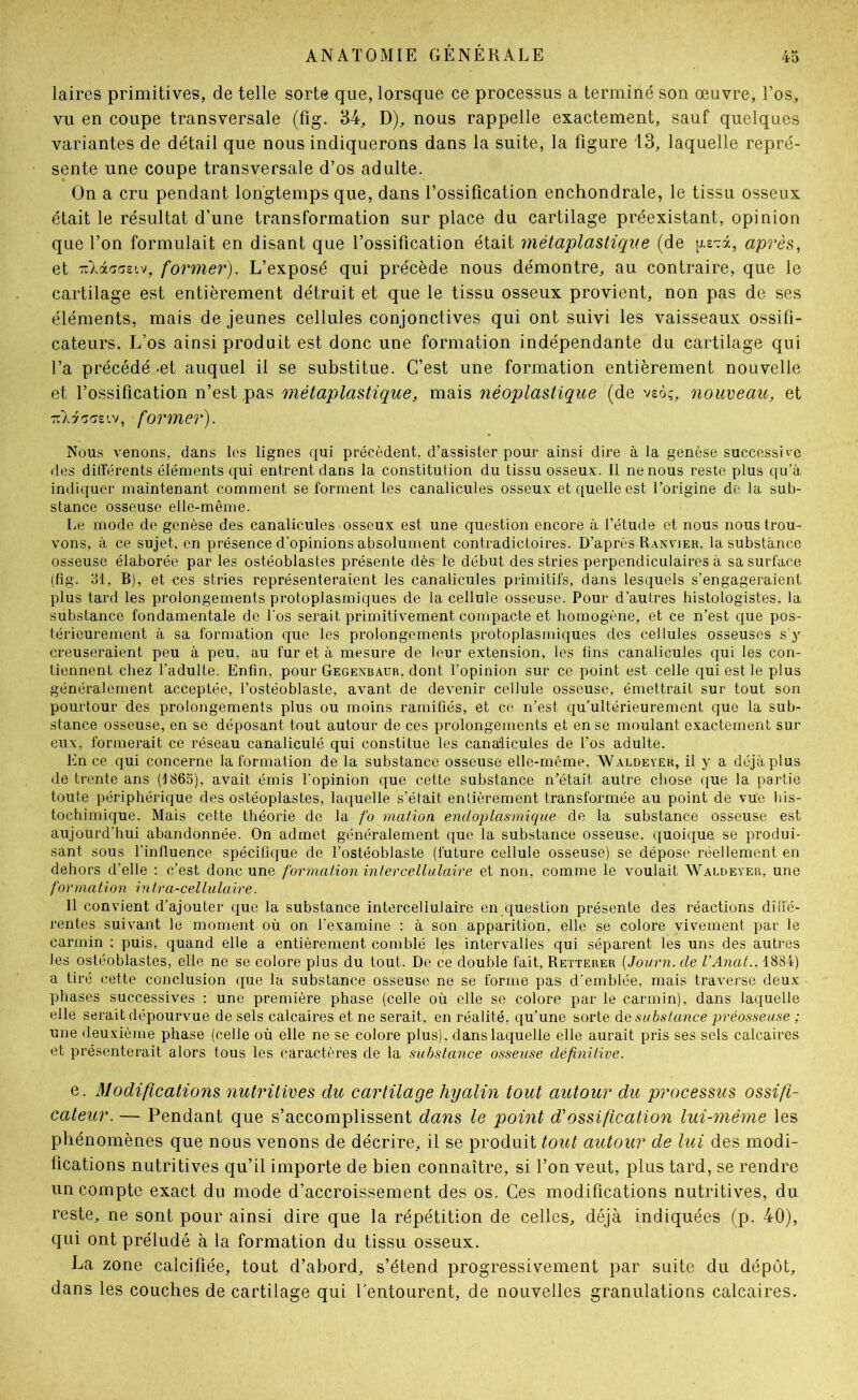 laires primitives, de telle sorte que, lorsque ce processus a terminé son œuvre, l’os, vu en coupe transversale (fig. 34, D), nous rappelle exactement, sauf quelques variantes de détail que nous indiquerons dans la suite, la figure 13, laquelle repré- sente une coupe transversale d’os adulte. On a cru pendant longtemps que, dans l’ossification enchondrale, le tissu osseux était le résultat d’une transformation sur place du cartilage préexistant, opinion que l’on formulait en disant que l’ossification était métaplastiqiie (de après^ et TîlàaasLv, former). L’exposé qui précède nous démontre, au contraire, que le cartilage est entièrement détruit et que le tissu osseux provient, non pas de ses éléments, mais de jeunes cellules conjonctives qui ont suivi les vaisseaux ossifi- cateurs. L’os ainsi produit est donc une formation indépendante du cartilage qui l’a précédé -et auquel il se substitue. C’est une formation entièrement nouvelle et l’ossification n’est pas métaplastique, mais néoplastique (de vsôç, nouveau, et 7iA7acr£iv, former). Nous venons, dans les lignes qui précèdent, d’assister pour ainsi dire à la genèse successive des différents éléments qui entrent dans la constitution du tissu osseux. Il ne nous reste plus qu’à indiquer maintenant comment se forment les canalicules osseux et quelle est l’origine de la sub- stance osseuse elle-même. Le mode de genèse des canalicules osseux est une question encore à l’étude et nous nous trou- vons, à ce sujet, en présence d’opinions absolument contradictoires. D’après Ranvier, la substance osseuse élaborée par les ostéoblastes présente dès le début des stries perpendiculaires à sa surface (fig. 31, B), et ces stries représenteraient les canalicules primitifs, dans lesquels s’engageraient plus tard les prolongements protoplasmiques de la cellule osseuse. Pour d’autres histologistes, la substance fondamentale de l’os serait primitivement compacte et homogène, et ce n’est que pos- térieurement à sa formation que les prolongements protoplasmiques des cellules osseuses s’y creuseraient peu à peu, au fur et à mesure de leur extension, les fins canalicules qui les con- tiennent chez l’adulte. Enfin, pour Gegenbaur, dont l’opinion sur ce point est celle qui est le plus généralement acceptée, l’ostéoblaste, avant de devenir cellule osseuse, émettrait sur tout son pourtour des prolongements plus ou moins ramifiés, et ce n’est qu’ultérieurement que la sub- stance osseuse, en se déposant tout autour de ces prolongements et en se moulant exactement sur eux, formerait ce réseau canaliculé qui constitue les canalicules de l’os adulte. En ce qui concerne la formation de la substance osseuse elle-même, Waldeyek, il y a déjàplus de trente ans (1865), avait émis l’opinion que cette substance n’était autre chose que la partie toute périphérique des ostéoplastes, laciuelle s’était entièrement transformée au point de vu'e bis- tochimique. Mais cette théorie de la fo mation endoplasmique de la substance osseuse est aujourd’hui abandonnée. On admet généralement que la substance osseuse, quoique, se produi- sant sous l’influence spécifique de l’ostéoblaste (future cellule osseuse) se dépose réellement en dehors d’elle : c’est donc une formation intercellulaire et non, comme le voulait Waldeyer, une formation intra-cellulaire. 11 convient d’ajouter que la substance intercellulaire en question présente des réactions ditïè- rentes suivant le moment où on l’examine : à son apparition, elle se colore vivement par le carmin ; puis, quand elle a entièrement comblé les intervalles qui séparent les uns des autres les ostéoblastes, elle ne se colore plus du tout. De ce double fait, Retterer [Journ. de VAnal., 1884) a tiré cette conclusion que la substance osseuse ne se forme pas d’emblée, mais traverse deux phases successives ; une première phase (celle où elle se colore par le carmin), dans laquelle elle serait dépourvue de sels calcaires et ne serait, en réalité, qu’une sorte ée substance préosseuse ; une deuxième phase (celle où elle ne se colore plus), dans laquelle elle aurait pris ses sels calcaires et présenterait alors tous les caractères de la substance osseuse définitive. e. Modifications nutritives du cartilage hyalin tout autour du processus ossifi- cateur. — Pendant que s’accomplissent dans le point d'ossification lui-même les phénomènes que nous venons de décrire, il se produit tout autour de lui des modi- fications nutritives qu’il importe de bien connaître, si l’on veut, plus tard, se rendre un compte exact du mode d’accroissement des os. Ces modifications nutritives, du reste, ne sont pour ainsi dire que la répétition de celles, déjà indiquées (p. 40), qui ont préludé à la formation du tissu osseux. La zone calcifiée, tout d’abord, s’étend progressivement par suite du dépôt, dans les couches de cartilage qui Lentourent, de nouvelles granulations calcaires.