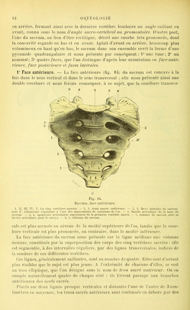 en arrière, formant ainsi avec la dernière vertèbre lombaire un angle saillant en avant, connu sous le nom à'angle sacro-vertébral ou promontoire. D’autre part, l’axe du sacrum, au lieu d’être rectiligne, décrit une courbe très prononcée, dont la concavité regarde en bas et en avant. Aplati d’avant en arrière, beaucoup plus volumineux en haut qu’en bas, le sacrum dans son ensemble revêt la forme d’une pyramide quadrangulaire et nous présente par conséquent : 1° une base ; 2° un sommet; 3® quatre/aces, que l’on distingue d’après leur orientation en face anté- rieure, face postérieure et faces latérales. 1° Face antérieure. — La face antérieure (fig. 8i) du sacrum est concave à la fois dans le sens vertical et dans le sens transversal : elle nous présente ainsi une double courbure et nous ferons remarquer, à ce sujet, que la courbure transver- 5 Fig. 84. Sacrum, face antérieure. I. II, III, IV, V, les cinq vertèbres sacrées. — 1, 1, trous sacrés antérieurs. — 2, 2, faces latérales du sacrum, avec 2’, échancrui-e répondant à l'axe des mouvements de nutations de l’os. — 3, facette articulaire de la base du sacrum. — 4, 4, apophyses articulaires supérieures de la première vertèbre sacrée. — 5, sommet du sacrum, avec sa facette articulaire pour le coccyx. — 6, G, ailerons du sacrum. sale est plus accusée au niveau de la moitié supérieure de l’os, tandis que la cour- bure verticale est plus prononcée, au contraire, dans la moitié inférieure. La face antérieure du sacrum nous présente sur la ligne médiane une colonne osseuse, constituée par la superposition des corps des cinq vertèbres sacrées : elle est segmentée, à des intervalles réguliers, par des lignes transversales, indices de la soudure de ces différentes vertèbres. Ces lignes, généralement saillantes, sont au nombre de quatre. Elles sont d’autant plus visibles que le sujet est plus jeune. A l’extrémité de chacune d’elles, se voit un trou elliptique, que l’on désigne sous le nom de trou sacré antérieur. On en compte naturellement quatre de chaque côté : ils livrent passage aux branches antérieures des nerfs sacrés. Placés sur deux lignes presque verticales et distantes l’une de l’autre de 3 cen- timètres en moyenne, les trous sacrés antérieurs sont continués en dehors par des