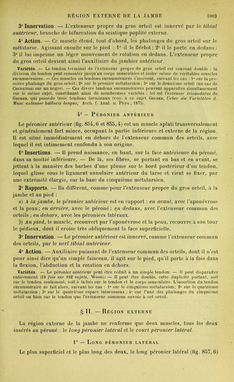 3° Innervation. — L’extenseur propre du gros orteil est innervé par le tibial antérieur, branche de bifurcation du sciatique poplité externe. 4° Action. — Ce muscle étend, tout d’abord, les phalanges du gros orteil sur le métatarse. Agissant ensuite sur le pied : 1° il le fléchit; 2° il le porte en dedans; 3^ il lui imprime un léger mouvement de rotation en dedans. L’extenseur propre du gros orteil devient ainsi l’auxiliaire du jambier antérieur. Variétés. — Le tendon terminal de l’extenseur propre du gros oïdeil est souvent double ; la division du tendon peut remonter jusqu'au corps musculaire et isoler même de véritables muscles surnuméraires. — Ces muscles ou tendons surnuméraires s'insèrent, suivant les cas ; 1® sur la pi’C- mière phalange du gros orteil; 2® sur le premier métatarsien: 3® sur le deuxième orteil (un cas de Ghudzinski sur un nègre). — Ces divers tendons surnuméraires peuvent apparaître simultanément sur le même sujet, constituant ainsi de nombreuses variétés : tel est Vextensor tricaudalus de Gruber, qui possède trois tendons terminaux (voy. à ce sujet Gruber, Ueber die Varietâten d. Musc, ext'ensor hallucis longus, Arch. f. Anat. u. Phys., 1875). 4° — Péronier antérieur Le péronier antérieur (fig. 854, 6 et 855,4) est un muscle aplati transversalement et généralement fort mince, occupant la partie inférieure et externe de la région. Il est situé immédiatement en dehors de l’extenseur commun des orteils, avec lequel il est intimement confondu à son origine. 1° Insertions. — Il prend naissance, en haut, sur la face antérieure du péroné, dans sa moitié inférieure. — De là, ses fihres, se portant en bas et en avant, se jettent à la manière des barbes d’une plume sur le bord postérieur d’un tendon, lequel glisse sous le ligament annulaire antérieur du tarse et vient se fixer, par une extrémité élargie, sur la base du cinquième métatarsien. 2° Rapports. — Ils diffèrent, comme pour l’extenseur propre du gros orteil, à la jambe et au pied : a) A la jambe, le péronier antérieur est en rapport ; en avant, avec l’aponévrose et la peau ; en arrière, avec le péroné ; en dedans, avec l’extenseur commun des orteils ; en dehors, avec les péroniers latéraux. P) Au pied, le muscle, recouvert par l’aponévrose et la peau, recouvre à son tour le pédieux, dont il croise très obliquement la face superficielle. 3° Innervation. — Le péronier antérieur est innervé, comme l’extenseur commun des orteils, par le nerf tibial antérieur. 4° Action. — Auxiliaire puissant de l’extenseur commun des orteils, dont il n’est pour ainsi dire qu’un simple faisceau, il agit sur le pied, qu’il porte à la fois dans la flexion, l’abduction et la rotation en dehors. Variétés. — Le péronier antérieur peut être réduit à un simple tendon. — Il peut disparaître entièrement (10 fois sur 102 sujets, Wood).'— Il peut être double, cette duplicité portant, soit sur le tendon seulement, soit à la fois sur le tendon et le corps musculaire. L’insertion du tendon surnuméraire se fait alors, suivant les cas ; 1® sur le cinquième métatarsien; 2® sur le quatrième métatarsien; 3® sur le quatrième espace interosseux; 4“ sur l’une des phalanges du cinquième orteil ou bien sur le tendon que l’extenseur commun envoie à cet orteil. § II. — Région externe La région externe de la jambe ne renferme que deux muscles, tous les deux insérés au péroné : le long péronier latéral et le court péronier latéral. 1° — Long péronier latéral Le plus superficiel et le plus long des deux, le long péronier latéral (fig. 857, 6)