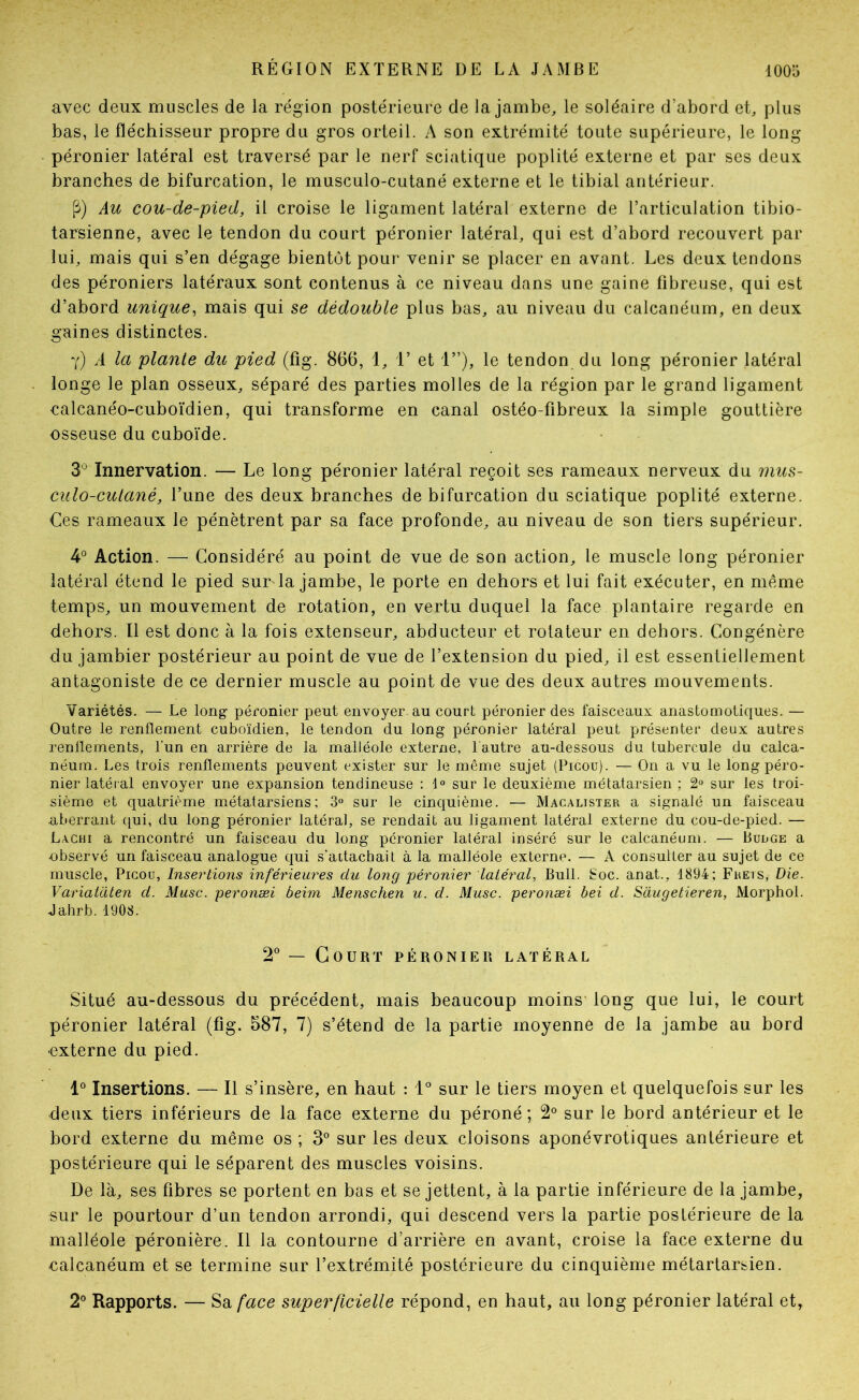 avec deux muscles de la région postérieure de la jambe, le soléaire d’abord et, plus bas, le fléchisseur propre du gros orteil. A son extrémité toute supérieure, le long- péronier latéral est traversé par le nerf sciatique poplité externe et par ses deux branches de bifurcation, le musculo-cutané externe et le tibial antérieur. P) Au cou-de-pied, il croise le ligament latéral externe de l’articulation tibio- tarsienne, avec le tendon du court péronier latéral, qui est d’abord recouvert par lui, mais qui s’en dégage bientôt pour venir se placer en avant. Les deux tendons des péroniers latéraux sont contenus à ce niveau dans une gaine fibreuse, qui est d’abord unique^ mais qui se dédouble plus bas, au niveau du calcanéum, en deux gaines distinctes. y) a la plante du pied (fig. 866, 1, 1’ et 1”), le tendon du long péronier latéral longe le plan osseux, séparé des parties molles de la région par le grand ligament calcanéo-cuboïdien, qui transforme en canal ostéo-fibreux la simple gouttière osseuse du cuboïde. 3*^ Innervation. — Le long péronier latéral reçoit ses rameaux nerveux du mus- culo-culané, l’une des deux branches de bifurcation du sciatique poplité externe. Ces rameaux le pénètrent par sa face profonde, au niveau de son tiers supérieur. 4° Action. — Considéré au point de vue de son action, le muscle long péronier latéral étend le pied sur^ la jambe, le porte en dehors et lui fait exécu ter, en même temps, un mouvement de rotation, en vertu duquel la face plantaire regarde en dehors. Il est donc à la fois extenseur, abducteur et rotateur en dehors. Congénère du jambier postérieur au point de vue de l’extension du pied, il est essentiellement antagoniste de ce dernier muscle au point de vue des deux autres mouvements. Variétés. — Le long péronier peut envoyer, au court péronier des faisceaux anastomotiques. — Outre le renflement cuboïdien, le tendon du long péronier latéral peut présenter deux autres renlleinents, l'un en arrière de la malléole externe, lautre au-dessous du tubercule du calca- néum. Les trois renflements peuvent exister sur le même sujet (Picou). — On a vu le long péro- nier latéral envoyer une expansion tendineuse : 1° sur le deuxième métatarsien ; 2» sur les troi- sième et quatrième m.étatarsiens; 3“ sur le cinquième. — Macalister a signalé un faisceau uberrant c[ui, du long péronier latéral, se rendait au ligament latéral externe du cou-de-pied. — Lachi a rencontré un faisceau du long péronier latéral inséré sur le calcanéum. — Bouge a observé un faisceau analogue qui s'aitachait à la malléole externe. — A consulter au sujet de ce muscle, Picou, Insertions inférieures du long péronier latéral, Bull. Soc. anat., 1894; Freis, Die. Variataten d. Musc, peronæi beim Menschen u. d. Musc, peronæi bei d. Saugetieren, Morphol. Jabrb. 1908. 2° — Court péronier latéral Situé au-dessous du précédent, mais beaucoup moins long que lui, le court péronier latéral (fig. 687, 7) s’étend de la partie moyenne de la jambe au bord •externe du pied. 1° Insertions. — Il s’insère, en haut : 1° sur le tiers moyen et quelquefois sur les deux tiers inférieurs de la face externe du péroné ; 2® sur le bord antérieur et le bord externe du même os ; 3” sur les deux cloisons aponévrotiques antérieure et postérieure qui le séparent des muscles voisins. De là, ses fibres se portent en bas et se jettent, à la partie inférieure de la jambe, sur le pourtour d’un tendon arrondi, qui descend vers la partie postérieure de la malléole péronière. Il la contourne d’arrière en avant, croise la face externe du ealcanéum et se termine sur l’extrémité postérieure du cinquième métartarsien. 2^^ Rapports. — Sa/ace superficielle répond, en haut, au long péronier latéral et,