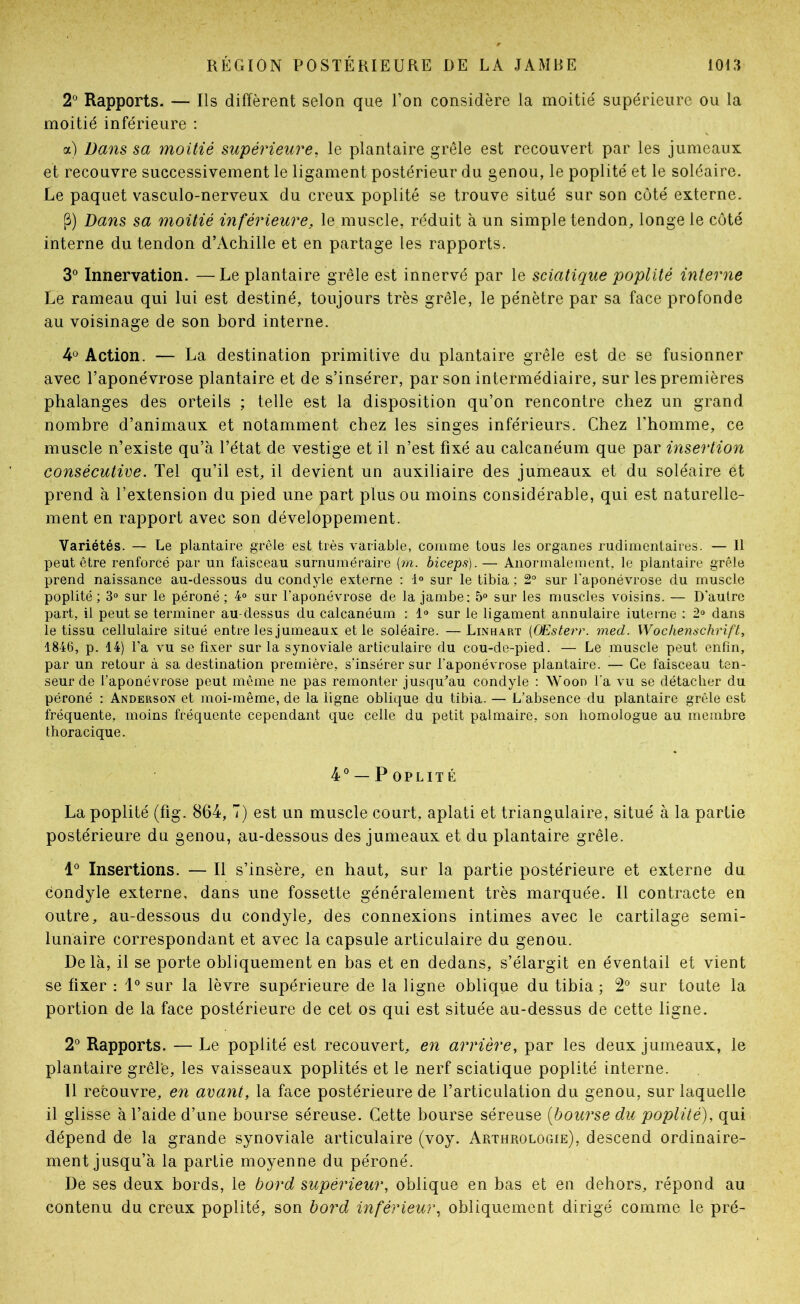 2“ Rapports. — Ils diffèrent selon que Ton considère la moitié supérieure ou la moitié inférieure : a) Dans sa moitié supérieure, le plantaire grêle est recouvert par les jumeaux et recouvre successivement le ligament postérieur du genou, le poplité et le soléaire. Le paquet vasculo-nerveux du creux poplité se trouve situé sur son côté externe. P) Dans sa moitié inférieure, le muscle, réduit à un simple tendon, longe le côté interne du tendon d’Achille et en partage les rapports. 3® Innervation. —Le plantaire grêle est innervé par le sciatique poplité interne Le rameau qui lui est destiné, toujours très grêle, le pénètre par sa face profonde au voisinage de son bord interne. ¥ Action. — La destination primitive du plantaire grêle est de se fusionner avec l’aponévrose plantaire et de s’insérer, par son intermédiaire, sur les premières phalanges des orteils ; telle est la disposition qu’on rencontre chez un grand nombre d’animaux et notamment chez les singes inférieurs. Chez l’homme, ce muscle n’existe qu’à l’état de vestige et il n’est fixé au calcanéum que par insertion consécutive. Tel qu’il est, il devient un auxiliaire des jumeaux et du soléaire et prend à l’extension du pied une part plus ou moins considérable, qui est naturelle- ment en rapport avec son développement. Variétés. — Le plantaire grêle est très variable, comme tous les organes rudimentaires. — Il peut être renforcé par un faisceau surnuméraire [m. biceps). — Anormalement, le plantaire grêle prend naissance au-dessous du condyle externe ; 1® sur le tibia ; 2° sur l'aponévrose du muscle poplité ; 3® sur le péroné ; 4® sur l’aponévrose de la jambe; 5® sur les muscles voisins. — D’autre part, il peut se terminer au-dessus du calcanéum ; 1» sur le ligament annulaire iuterne ; 2» dans le tissu cellulaire situé entre les jumeaux et le soléaire. —Linhart {OEsterr. med. Wochenschrift, 1846, p. 14) l’a vu se fixer sur la synoviale articulaire du cou-de-pied. — Le muscle peut enfin, par un retour à sa destination première, s’insérer sur l’aponévrose plantaire. — Ce faisceau ten- seur de l’aponévrose peut même ne pas remonter jusqu^’au condyle ; ’Wood fa vu se détacher du péroné : AndersoxX et moi-même, de la ligne oblique du tibia. — L’absence du plantaire grêle est fréquente, moins fréquente cependant que celle du petit palmaire, son homologue au membre thoracique. 4*^ —Poplité La poplité (fig. 864, 7) est un muscle court, aplati et triangulaire, situé à la partie postérieure du genou, au-dessous des jumeaux et du plantaire grêle. 1° Insertions. — Il s’insère, en haut, sur la partie postérieure et externe du condyle externe, dans une fossette généralement très marquée. Il contracte en outre, au-dessous du condyle, des connexions intimes avec le cartilage semi- lunaire correspondant et avec la capsule articulaire du genou. Delà, il se porte obliquement en bas et en dedans, s’élargit en éventail et vient se fixer : 1° sur la lèvre supérieure de la ligne oblique du tibia ; 2° sur toute la portion de la face postérieure de cet os qui est située au-dessus de cette ligne. 2“ Rapports. — Le poplité est recouvert, en arrière, par les deux jumeaux, le plantaire grêl'e, les vaisseaux poplités et le nerf sciatique poplité interne. 11 recouvre, en avant, la face postérieure de l’articulation du genou, sur laquelle il glisse à l’aide d’une bourse séreuse. Cette bourse séreuse [bourse du poplité), qui dépend de la grande synoviale articulaire (voy. Arthrologie), descend ordinaire- ment jusqu’à la partie moyenne du péroné. De ses deux bords, le bord supérieur, oblique en bas et en dehors, répond au contenu du creux poplité, son bord inférieur, obliquement dirigé comme le pré-