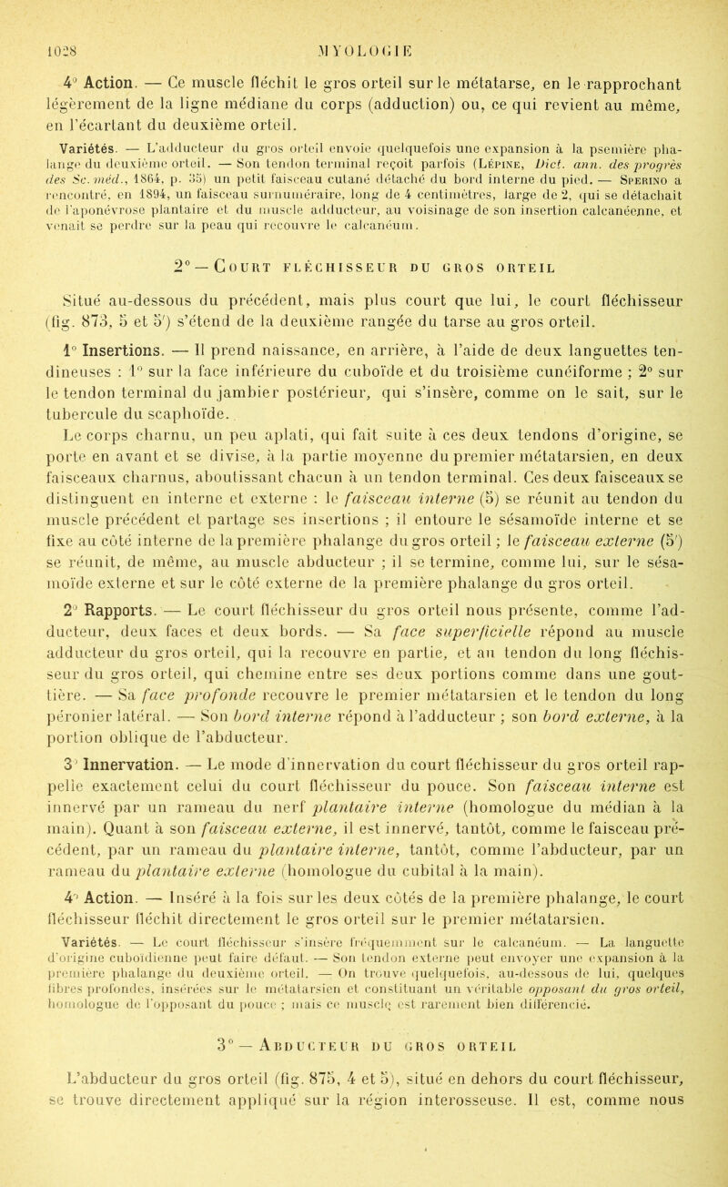 4^ Action. — Ce muscle fléchit le gros orteil sur le métatarse, en le rapprochant légèrement de la ligne médiane du corps (adduction) ou, ce qui revient au même, en l’écartant du deuxième orteil. Variétés. — L’adducteur du gros orteil envoie quelquefois une expansion à la psemière pha- lange du deuxième orteil. — Son tendon terminal reçoit parfois (Lépine, Dict. ann. des progrès des Sc.méd., 1864, p. 35) un petit faisceau cutané détaché du bord interne du pied. — Sperino a rencontré, en 1894, un faisceau surnuméraire, long de 4 centimètres, large de 2, qui se détachait de l’aponévrose plantaire et du muscle adducteur, au voisinage de son insertion calcanéenne, et venait se perdre sur la peau qui recouvre le calcanéum. 2® —Court fléchisseur du gros orteil Situé au-dessous du précédent, mais plus court que lui, le court fléchisseur (lig. 873, 5 et 5^) s’étend de la deuxième rangée du tarse au gros orteil. 1° Insertions. — 11 prend naissance, en arrière, à l’aide de deux languettes ten- dineuses : l* sur la face inférieure du cuboïde et du troisième cunéiforme ; 2^^ sur le tendon terminal dujambier postérieur, qui s’insère, comme on le sait, sur le tubercule du scaphoïde. Le corps charnu, un peu aplati, qui fait suite à ces deux tendons d’origine, se porte en avant et se divise, à la partie moyenne du premier métatarsien, en deux faisceaux charnus, aboutissant chacun à un tendon terminal. Ces deux faisceaux se distinguent en interne et externe : le faisceau interne (5) se réunit au tendon du muscle précédent et partage ses insertions ; il entoure le sésamoïde interne et se fixe au côté interne de la première phalange du gros orteil ; le faisceau externe (5') se réunit, de même, au muscle abducteur ; il se termine, comme lui, sur le sésa- moïde externe et sur le côté externe de la première phalange du gros orteil. 2^ Rapports. — Le court fléchisseur du gros orteil nous présente, comme l’ad- ducteur, deux faces et deux bords. — Sa face superficielle répond au muscle adducteur du gros orteil, qui la recouvre en partie, et au tendon du long fléchis- seur du gros orteil, qui chemine entre ses deux portions comme dans une gout- tière. — Sa face profonde recouvre le premier métatarsien et le tendon du long- péronier latéral. — Son bord interne répond à l’adducteur ; son bord externe, à la portion oblique de l’abducteur. 3^ Innervation. — Le mode d’innervation du court fléchisseur du gros orteil rap- pelle exactement celui du court fléchisseur du pouce. Son faisceau interne est innervé par un rameau du nerf plantaire interne (homologue du médian à la main). Quant à son faisceau externe, il est innervé, tantôt, comme le faisceau pré- cédent, par un rameau du plantaire interne, tantôt, comme l’abducteur, par un rameau da plantaire externe (homologue du cubital à la main). 4'^ Action. — Inséré à la fois sur les deux côtés de la première phalange, le court fléchisseur fléchit directement le gros orteil sur le premier métatarsien. Variétés. — Le court lléchisseur s’insère frf-quemment sur le calcanéum. — La languette d’origine cuboïdienne peut faire défaut. — Son tendon externe ])eut envoyer une expansion à la première phalange du deuxième orteil. — On trouve quelquefois, au-dessous de lui, quelques libres profondes, insérées sur le métatarsien et constituant un véritable opposant, du gros orteil, homologue de l’opposant du pouce ; mais ce musclç est rarement bien différencié. 3'’ — Arducteur nu gros orteil L’abducteur du gros orteil (fig. 875, 4 et 5), situé en dehors du court fléchisseur, se trouve directement appliqué sur la région interosseuse. 11 est, comme nous