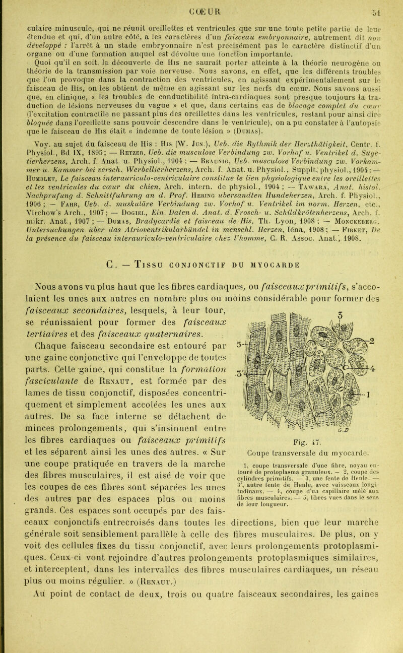 culaire minuscule, qui ne réunit oreillettes et ventricules que sur une toute petite partie de leur étendue et qui, d’un autre côté, a les caractères d’un faisceau embryonnaire, autrement dit non développé : l’arrêt à un stade embryonnaire n’est précisément pas le caractère distinctif d’un organe ou d'une formation auquel est dévolue une fonction importante. Quoi qu’il en soit, la découverte de His ne saurait porter atteinte à la théorie neurogène ou théorie de la transmission par voie nerveuse. Nous savons, en effet, que les différents troubles que l’on provoque dans la contraction des ventricules, en agissant expérimentalement sur le faisceau de His, on les obtient de même en agissant sur les nerfs du cœur. Nous savons aussi que, en clinique, « les troubles de conductibilité intra-cardlaques sont presque toujours la tra- duction de lésions nerveuses du vague » et que, dans certains cas de blocage complet du cœur (l’excitation contractile ne passant plus des oreillettes dans les ventricules, restant pour ainsi dire bloquée dans l’oreillette sans pouvoir descendre dans le ventricule), on a pu constatera l’autopsie que le faisceau de His était « indemne de toute lésion » (Dumas). Voy. au sujet du faisceau de His : His (W. Jun.), Ueb. die Rythmik der Uer:.thâtigkeit, Centr. f. Physiol., Bd IX, 1895; — Retzer, Ueb. die musculose Verbindung zw. Vorhof u. Ventrikel d. Süge- tierherzens, Arch. f. Anat. u. Physiol., 1904 ; — Braunig, Ueb. musculose Verbindung zw. Vorkarn- mer u. Kammer bei versch. Werbellierherzens, kreh. f. Anat. u. Physiol., Supplt, physiol., 1904 ; — Humblet, Le faisceau interauriculo-ventriculaire constitue le lien physiologique entre les oreillettes et les ventricules du cœur du chien, Arch. intern. de physiol., 1904 ; — Tawara, Anat. histol. Nachprufung d. Schnittfuhrung an d. Prof. Hering ubersandten Hundeherzen, Arch. f. Physiol., 1900; — Pahr, Ueb. d. muskuiàre Verbindung zw. Vorhof u. Ventrikel im norm. Herzen, etc., Virchow’s Arch., 1907; — Dogiel, Ein. Daten d. Anat. d. Frosch- u. Schüdkrôtenherzens., Arch. f. mikr. Anat., 1907; — Dumas, Bradycardie et faisceau de His, Th. Lyon, 1908; — Monckeberit, Untersuchungen über das Atrioventrikularhiindel in menschl. Herzen, léna, 1908; —Firket, De la présence du faisceau interauriculo-ventriculaire chez Vhomme, G. R. Assoc. Anat., 1908, G.— Tissu CONJONCTIF DU MYOCARDE Nous avons vu plus haut que les fibres cardiaques, ou faisceauxprimilifs^ s’acco- laient les unes aux autres en nombre plus ou moins considérable pour former des faisceaux secondaires, lesquels, à leur tour, se réunissaient pour former des faisceaux tertiaires et des faisceaux quaternaires. Chaque faisceau secondaire est entouré par une gaine conjonctive qui l’enveloppe de toutes parts. Cette gaine, qui constitue la formation fasciculante de Renaut, est formée par des lames de tissu conjonctif, disposées concentri- quement et simplement accolées les unes aux autres. De sa face interne se détachent de minces prolongements, qui s’insinuent entre les fibres cardiaques ou faisceaux primitifs et les séparent ainsi les unes des autres. « Sur une coupe pratiquée en travers de la marche des fibres musculaires, il est aisé de voir que les coupes de ces fibres sont séparées les unes des autres par des espaces plus ou moins grands. Ces espaces sont occupés par des fais- ceaux conjonctifs entrecroisés dans toutes les directions, bien que leur marche générale soit sensiblement parallèle à celle des fibres musculaires. De plus, on y voit des cellules fixes du tissu conjonctif, avec leurs prolongements protoplasmi- ques. Ceux-ci vont rejoindre d’autres prolongements protoplasmiques similaires, et interceptent, dans les intervalles des fibres musculaires cardiaques, un réseau plus ou moins régulier, o (Renaut.) Au point de contact de deux, trois ou quatre faisceaux secondaires, les gaines Coupe transversale du myocarde. 1, coupe transversale d’une fibre, noyau en- touré de protoplasma granuleux. — 2, coupe des cylindres primitifs. — 3, une fente de Henle. — 3’, autre fente de Henle, avec vaisseaux longi- tudinaux. — 4, coupe d’un capillaire mêlé aux fibres musculaires. — 5, fibres vues dans le sens de leur longueur.