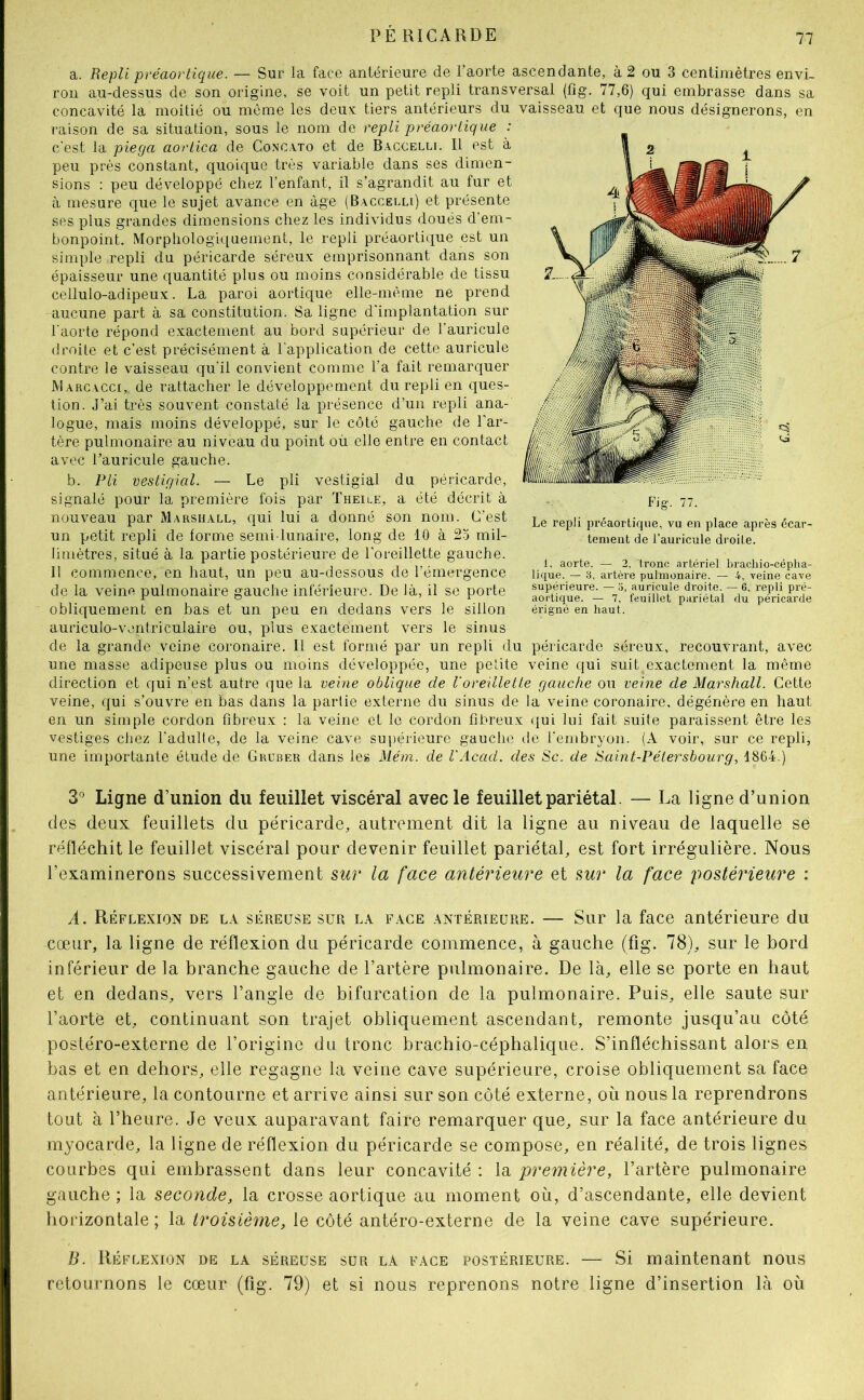 a. Repli préaortique. — Sur la face antérieure de l’aorte ascendante, à 2 ou 3 centimètres envi- ron au-dessus de son origine, se voit un petit repli transversal (fig. 77,6) cjui embrasse dans sa concavité la moitié ou môme les deux tiers antérieurs du vaisseau et que nous désignerons, en raison de sa situation, sous le nom de repli préaortique : c'est la piega aortica de Concato et de Baccelli. Il est à peu près constant, quoique très variable dans ses dimen- sions : peu développé chez l’enfant, il s’agrandit au fur et à mesure c{ue le sujet avance en âge (Baccelli) et présente ses plus grandes dimensions chez les individus doués d'em- bonpoint. Morphologiquement, le repli préaortique est un simple repli du péricarde séreux emprisonnant dans son épaisseur une quantité plus ou moins considérable de tissu cellulo-adipeux. La paroi aortique elle-même ne prend aucune part à sa constitution. Sa ligne d'implantation sur l'aorte répond exactement au bord supérieur de l’auricule droite et c’est précisément à l’application de cette auricule contre le vaisseau qu’il convient comme l’a fait remarquer Marcacci,. de rattacher le développement du repli en ques- tion. J’ai très souvent constaté la présence d’un repli ana- logue, mais moins développé, sur le côté gauche de l’ar- tère pulmonaire au niveau du point où elle entre en contact avec Tauricule gauche. b. Pli vestigial. — Le pli vestigial du péricarde, signalé pour la première fois par Theile, a été décrit à nouveau par Marshall, qui lui a donné son nom. C’est un petit repli de forme semi-lunaire, long de 10 à 2.5 mil- limètres, situé à la partie postérieure de l’oreillette gauche. 11 commence, en haut, un peu au-dessous de l’émergence de la veine pulmonaire gauche inférieure. De là, il se porte obliquement en bas et un peu en dedans vers le sillon auriculo-ventriculaire ou, plus exactement vers le sinus de la grande veine coronaire. 11 est formé par un repli du péricarde séreux, recouvrant, avec une masse adipeuse plus ou moins développée, une petite veine qui suit exactement la même direction et qui n’est autre que la veine oblique de l'oreillette gauche ou veine de Marshall. Cette veine, qui s’ouvre en bas dans la partie externe du sinus de la veine coronaire, dégénère en haut en un simple cordon fibreux : la veine et le cordon fibreux qui lui fait suite paraissent être les vestiges chez l’adulte, de la veine cave supérieure gauche (.le l’embryon. (A voir, sur ce repli, une importante étude de Gruber dans les Mém. de VAcad. des Sc. de Saint-Pétersbourg1864.) 3*^ Ligne d’union du feuillet viscéral avec le feuillet pariétal. — La ligne d’union des deux feuillets du péricarde, autrement dit la ligne au niveau de laquelle se réfléchit le feuillet viscéral pour devenir feuillet pariétal, est fort irrégulière. Nous l’examinerons successivement sur la face antérieure et sur la face postérieure : A. Réflexion de la séreuse sur la face .intérieure. — Sur la face antérieure du cœur, la ligne de réflexion du péricarde commence, à gauche (fig. 78), sur le bord inférieur de la branche gauche de l’artère pulmonaire. De là, elle se porte en haut et en dedans, vers l’angle de bifurcation de la pulmonaire. Puis, elle saute sur l’aorté et, continuant son trajet obliquement ascendant, remonte jusqu’au côté postéro-externe de l’origine du tronc brachio-céphalique. S’infléchissant alors en bas et en dehors, elle regagne la veine cave supérieure, croise obliquement sa face antérieure, la contourne et arrive ainsi sur son côté externe, où nous la reprendrons tout à l’heure. Je veux auparavant faire remarquer que, sur la face antérieure du myocarde, la ligne de réflexion du péricarde se compose, en réalité, de trois lignes courbes qui embrassent dans leur concavité : la première, l’artère pulmonaire gauche ; la seconde, la crosse aortique au moment où, d’ascendante, elle devient horizontale; la troisième, le côté antéro-externe de la veine cave supérieure. B. Réflexion de la séreuse sur la face postérieure. — Si maintenant nous retournons le cœur (fig. 79) et si nous reprenons notre ligne d’insertion là où Fig. 77. Le repli préaorlique, vu en place après écar- tement de l’auricule droite. 1, aorte. — 2, tronc artériel brachio-cépha- lique. — 3, artère pulmonaire. — 4, veine cave supérieure. — o, auricule droite. — 6, repli pré- aortique. — 7, feuillet pariétal du péricarde érigné en haut.