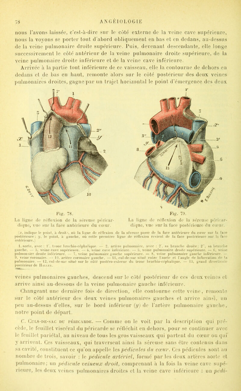 nous Gavons laissée, c’est-à-dire sur le côté externe de la veine cave supérieure, nous la voyons se porter tout d’abord obliquement en bas et en dedans, au-dessus de la veine pulmonaire droite supérieure. Puis, devenant descendante, elle longe successivement le côté antérieur de la veine pulmonaire droite supérieure, de la veine pulmonaire droite inférieure et de la veine cave inférieure. Arrivée à la partie tout inférieure de ce vaisseau, elle la contourne de dehors en dedans et de bas en haut, remonte alors sur le côté postérieur des deux veines pulmonaires droites, gagne par un trajet horizontal le point d’émergence des deux (x. indique' lo point, ii droit', on la liirnc lic réflexion de la séreuse passe do la face antérieure du cu'ur sur la face ])ostérieure ; y, le point, à {jauclie, où cette |)reinière lijne de réflexion revient de 1a face [lostérieure sur la face antérieure.) 1. aorte, avec: 1’. tronc lirncliio-céphali(|ue. — 2. artère jndmonaire, avec : 2'. sa hranclie droite; 2”, sa hrar.rlie gauche. — 3, veine cave supérieure. —4. veine cave inférieure. — 5, veine pulmonaire droite supérieure. — C, veine pulrnoniire droite inférieure. — 7, veine pulmonaire gauche supérieure. — 8, veine pulmonaire gauche inférieure. — 9, veine coronaire. — 10, artère coronaire gauche. — 11, cul-de-sac situé entre l aorle et l'angle de hifurcation de la pulmonaire. — 12, cul-de-sac situé sur le côté postéro-cxlerne du tronc hracliio-céphalique. — 13, grand diverticule ])ostérieur de I1.vli.er. veines pulmonaires gauches, descend sur le côté postérieur de ces deux veines et arrive ainsi au-dessous de la veine pulmonaire gauche inférieure. Changeant une dernière fois de direction, elle contourne cette veine, remonte sur le côté antérieur des deux veines pulmonaires gauches et arrive ainsi, un peu au-dessus d’elles, sur le bord inférieur (yj de l’artère pulmonaire gnuche, notre point de départ. C. CüLs-DE-sAc DU PÉiuc.\RDE. — Coiiime on le voit par la description qui j)i(‘- cède, le feuillet viscéral du péricarde se réfléchit en dehors, pour se continuer avec le feuillet pariétal, au niveau de tous les gros vaisseaux qui partent du cœur ou qiiT y arrivent. Ces vaisseaux, qui traversent ainsi la séreuse sans être contenus dans sa cavité, constituent ce qu'on appelle \as> pédicules du cœur. Ces pédicules sont au nombre de trois, savoir ; le pédicule artériel, formé par les deux artères aorte et ])ulmonaire; un pédicule veineux droit, comprenant à la fois la veine cave supé- rieure, les deux veines pulmonaires droites et la veine cave inférieure : un pédi- Fig. 78. La ligne de réllc.vion de la séfouse itériear- dique, vue sur la face antérieure du cceur. Fig. 7'J. La ligne de réllexion de la séreuse' péricu.r- dique, vue sur la l'ace postérieure du cœur.