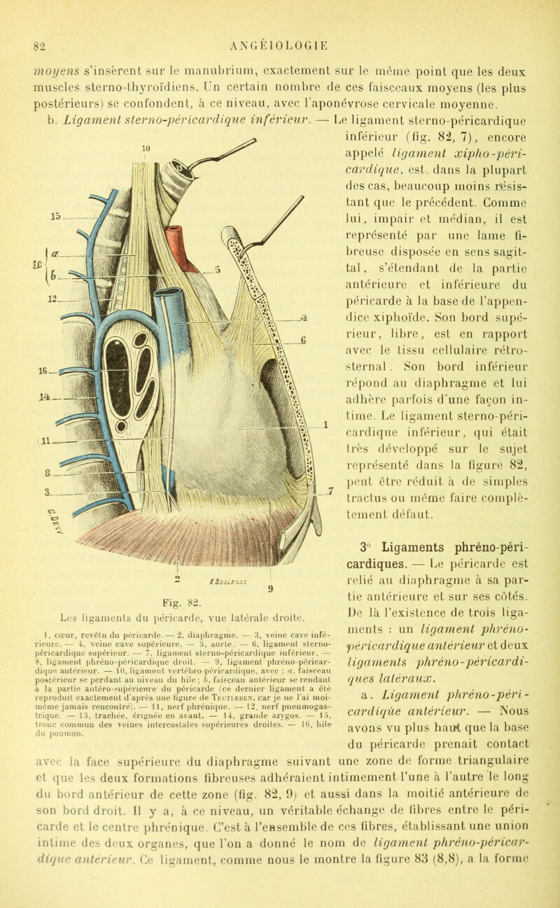 moyens s’insèrent sur le manubrium, exactement sur le même point que les deux muscles sterno-thyroïdiens. Un certain nombre de ces faisceaux moyens (les plus postérieurs) se confondent, à ce niveau, avec l’aponévrose cervicale moyenne, b. Ligament sterno-péricardique inférieur. — Le ligament sterno-péricardique inférieur (fig. 82,7), encore appelé ligament xipho-péri- cardique, est, dans la plupart des cas, beaucoup moins résis- tant que le précédent. Gomme lui, impair et médian, il est représenté par une lame fi- breuse disposée en sens sagit- tal, s’étendant de la partie antérieure et inférieure du péricarde à la base de l’appen- dice xipboVde. Son bord supé- rieur, libre, est en rapport avec le tissu cellulaire rétro- sternal . Son bord inférieur répond au diaphragme et lui adhère paid'ois d’une façon in- time. Le ligament sterno-péri- cardique inférieur, qui était très développé sur le sujet représenté dans la ligure 82, peut être réduit à de simples tractus ou même faire complè- tement défaut. Fig. 82. Les ligaments du péricarde, vue latérale droite. 1, cœur, revêtu du péricarde. — 2, diaphragme. — 3, veine cave infé- rieure.— 4, veine cave supérieure. — 5, aorte. — 6, ligament sterno- péricardique supérieur. — 7, ligament sterno-péricardique inférieur. — 8. ligament phréno-péricardique droit. — 9, ligament phréno-péricar- dique antérieur. — 10, ligament vertébro péricardique, avec : «, faisceau postérieur se perdant au niveau du hile; 6, faisceau antérieur se rendant à la partie antéro-supérieure du péricarde (ce dernier ligament a été reproduit exactement d’après une figure de Teutleben, car je ne l’ai moi- même jamais rencontré). — 11, nerf phrénique. — 12, nerf pneumogas- trique. — 13, trachée, érignée en avant. — 14, grande azygos. — l.o, tronc commun des veines intercostales supérieures droites. — 16, hile du poumon. 3° Ligaments phréno-péri- cardiques. — Le péricarde est relié au diaphragme à sa par- tie antérieure et sur ses côtés. De là l’existence de trois liga- ments : un ligament phréno- péricardique antérieur et deux ligaments phréno-péricardi- ques latéraux. a. Ligament phréno-péri- cardiciùe antérieur. — Nous avons vu plus haut que la base du péricarde prenait contact avec la face supérieure du diaphragme suivant une zone de forme triangulaire et que les deux formations fibreuses adhéraient intimement l’une à l’autre le long du bord antérieur de cette zone (fig. 82, 9; et aussi dans la moitié antérieure de son bord droit. Il y a, à ce niveau, un véritable échange de fibres entre le péri- carde et le centre phrénique. C’est à l’ensemble de ces fibres, établissant une union intime des deux organes, que l’on a donné le nom de ligament phréno-péricar- dique antérieur. Ce ligament, comme nous le montre la figure 83 (8,8), a la forme