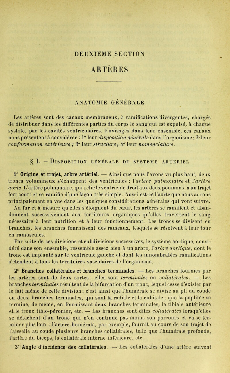 DEUXIÈME SECTION ARTÈRES ANATOMIE GÉNÉRALE Les artères sont des canaux membraneux, à ramifications divergentes, chargés de distribuer dans les différentes parties du corps le sang qui est expulsé, à chaque systole, par les cavités ventriculaires. Envisagés dans leur ensemble, ces canaux nous présentent à considérer : 1® leur disposition générale dans l'organisme; 2°leur conformation extérieure ; 3° leur structure) 4°Teur nomenclature. § I. — Disposition générale du système artériel 1° Origine et trajet, arbre artériel. — Ainsi que nous l’avons vu plus haut, deux troncs volumineux s’échappent des ventricules : Vartère pulmonaire et Xartère aorte. L’artère pulmonaire, (|ui relie le ventricule droit aux deux poumons, a un trajet fort court et se ramifie d’uné façon très simple. Aussi est-ce l’aorte que nous aurons principalement en vue dans les quelques considérations générales qui vont suivre. Au fur et à mesure qu’elles s’éloignent du cœur, les artères se ramifient et aban- donnent successivement aux territoires organiques qu’elles traversent le sang- nécessaire à leur nutrition et à leur fonctionnement. Les troncs se divisent en branches, les branches fournissent des rameaux, lesquels se résolvent à leur tour en ramuscules. Par suite de ces divisions et subdivisions successives, le système aortique, consi- déré dans son ensemble, ressemble assez bien à un arbre, Xarbre aortique, dont le tronc est implanté sur le ventricule gauche et dont les innombrables ramifications s’étendent à tous les territoires vasculaires de l’organisme. 2® Branches collatérales et branches terminales. — Les branches fournies par les artères sont de deux sortes : elles sont terminales ou collatérales. — Les branches terminales résultent de la bifurcation d’un tronc, lequel cesse d’exister par le fait même de cette division: c’est ainsi que l’humérale se divise au pli du coude en deux branches terminales, qui sont la radiale et la cubitale ; que la poplitée se termine, de même, en fournissant deux branches terminales, la tibiale antérieure et le tronc tibio-péronier, etc. — Les branches sont dites collatérales lorsqu’elles se détachent d’un tronc qui n’en continue pas moins son parcours et va se ter- miner plus loin : l’artère humérale, par exemple, fournit au cours de son trajet de l’aisselle au coude plusieurs branches collatérales, telle que l’humérale profonde, l’artère du biceps, la collatérale interne inférieure, etc. 3*^ Angle d’incidence des collatérales. — Les collatérales d’une artère suivent