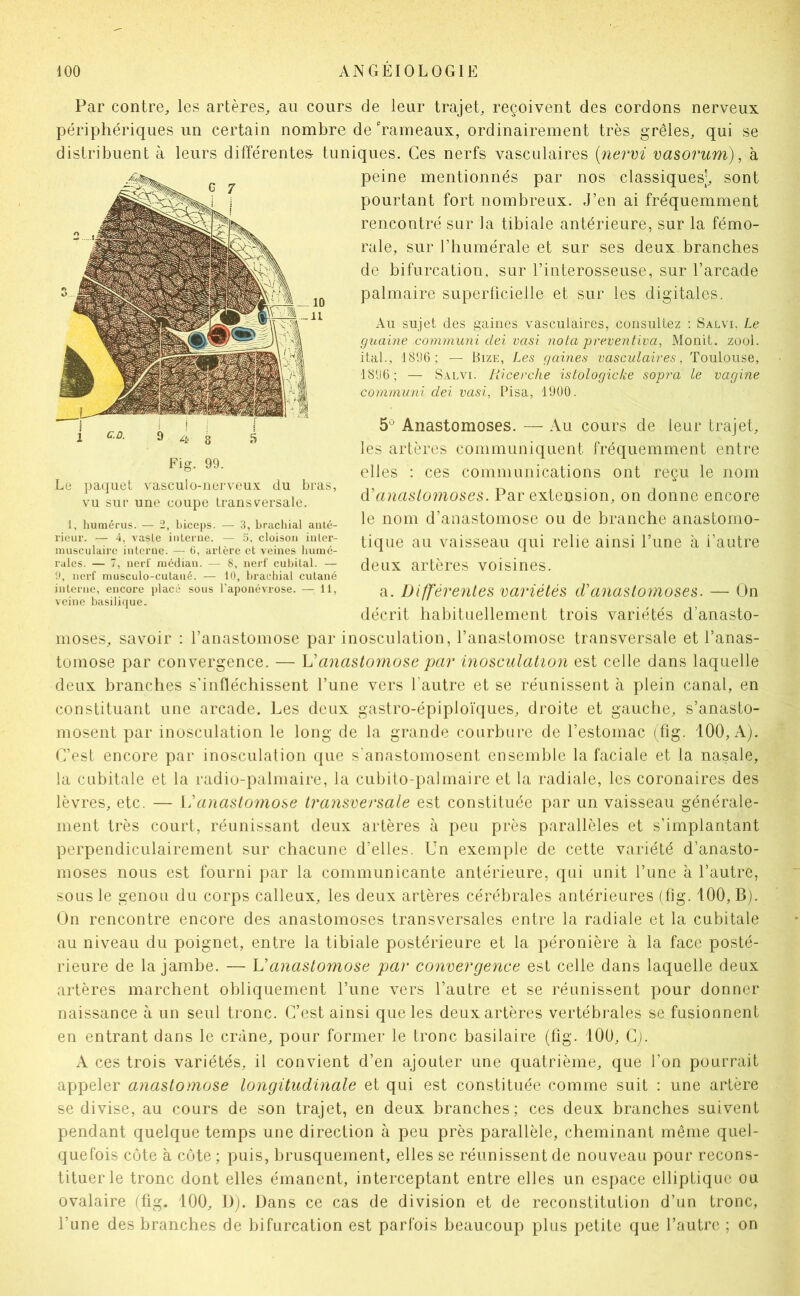 Par contre, les artères, au cours de leur trajet, reçoivent des cordons nerveux périphériques un certain nombre de hameaux, ordinairement très grêles, qui se distribuent à leurs différentes- tuniques. Ces nerfs vasculaires {nervi vasorum), à peine mentionnés par nos classiques], sont pourtant fort nombreux. J’en ai fréquemment rencontré sur la tibiale antérieure, sur la fémo- rale, sur riiumérale et sur ses deux branches de bifurcation, sur l’interosseuse, sur l’arcade palmaire superficielle et sur les digitales. Au sujet des gaines vasculaires, consultez ; Salvi, Le guaine communi dei vasi nota preventiva, Monit. zool. ital., 181)6; — Bize, Les gaines vasculaires, Toulouse, 18ü6; — S.\Lvi. Iiicerche istologicke sopra le vagine communi dei vasi, Pisa, 19U0. 5^ Anastomoses. — Au cours de leur trajet, les artères communiquent fréquemment entre elles : ces communications ont reçu le nom d'anast077ioses. Par extension, on donne encore le nom d’anastomose ou de branche anastomo- tique au vaisseau qui relie ainsi l’une à l’autre deux artères voisines. a. Differeiiles variétés d’anastomoses. — On décrit habituellement trois variétés d’anasto- moses, savoir : l’anastomose par inosculation, l’anastomose transversale et l’anas- tomose par convergence. — Vanastomose par inosculation est celle dans laquelle deux branches s'infléchissent l’une vers l’autre et se réunissent à plein canal, en constituant une arcade. Les deux gastro-épiploïques, droite et gauche, s’anasto- mosent par inosculation le long de la grande courbure de l’estomac ( fig. 100, A). C’est encore par inosculation que s’anastomosent ensemble la faciale et la nasale, la cubitale et la radio-palmaire, la cubito-palmaire et la radiale, les coronaires des lèvres, etc. — Vhinastoniose transversale est constituée par un vaisseau générale- ment très court, réunissant deux artères à peu près parallèles et s’implantant perpendiculairement sur chacune d’elles. Un exemple de cette variété d’anasto- moses nous est fourni par la communicante antérieure, qui unit l’une à l’autre, sous le genou du corps calleux, les deux artères cérébrales antérieures (lig. 100, Bj. On rencontre encore des anastomoses transversales entre la radiale et la cubitale au niveau du poignet, entre la tibiale postérieure et la péronière à la face posté- rieure de la jambe. — Vanastomose par convergence est celle dans laquelle deux artères marchent obliquement l’une vers l’autre et se réunissent pour donner naissance à un seul tronc. C’est ainsi que les deux artères vertébrales se fusionnent en entrant dans le crâne, pour former le tronc basilaire (fig. 100, C;. A ces trois variétés, il convient d’en ajouter une quatrième, que l’on pourrait appeler anastomose longitudinale et qui est constituée comme suit : une artère se divise, au cours de son trajet, en deux branches; ces deux branches suivent pendant quelque temps une direction à peu près parallèle, cheminant même quel- quefois côte à côte ; puis, brusquement, elles se réunissent de nouveau pour recons- tituer le tronc dont elles émanent, interceptant entre elles un espace elliptique ou ovalaire (fig. 100, D). Dans ce cas de division et de reconstitution d’un tronc, l’une des branches de bifurcation est parfois beaucoup plus petite que l’autre ; on Fig. 99. Le paquet vasculo-uerveux du bras, vu sur une coupe transversale. 1, liumérus. — 2, biceps. — 3, bracliial anlé- l'ieur. — 4, vasle iiilerne. — 5, cloison inler- miisculaire interne. — 6, artère et veines liurnc- rales. — 7, nerf médian. — 8. nerf cubital. — ü, nerf musculo-cutané. — 10, brachial cutané interne, encore placé sons l'aponévrose. — 11, veine basilique.