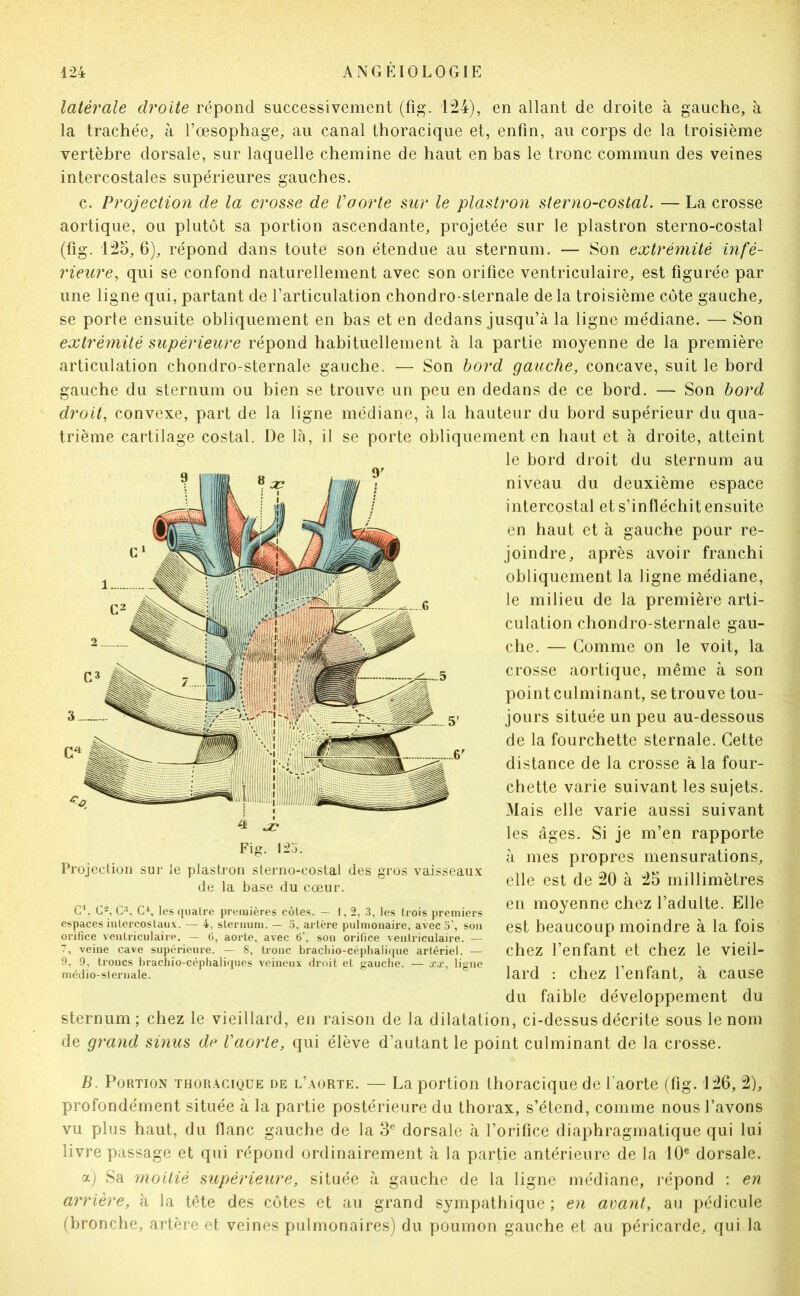 la trachée, à l’œsophage, au canal thoracique et, enfin, au corps de la troisième vertèbre dorsale, sur laquelle chemine de haut en bas le tronc commun des veines intercostales supérieures gauches. c. Projection de la crosse de Vaorte sur le plastron sterno-costal. — La crosse aortique, ou plutôt sa portion ascendante, projetée sur le plastron sterno-costal (fig. 125, 6), répond dans toute son étendue au sternum. — Son extrémité infé- rieure, qui se confond naturellement avec son orifice ventriculaire, est figurée par une ligne qui, partant de l’articulation chondro-sternale delà troisième côte gauche, se porte ensuite obliquement en bas et en dedans jusqu’à la ligne médiane. — Son extrémité supérieure répond habituellement à la partie moyenne de la première articulation chondro-sternale gauche. — Son bord gauche, concave, suit le bord gauche du sternum ou bien se trouve un peu en dedans de ce bord. — Son bord droit, convexe, part de la ligne médiane, à la hauteur du bord supérieur du qua- trième cartilage costal. De là, il se porte obliquement en haut et à droite, atteint le bord droit du sternum au niveau du deuxième espace intercostal et s’infléchit ensuite en haut et à gauche pour re- joindre, après avoir franchi obliquement la ligne médiane, le milieu de la première arti- culation chondro-sternale gau- che. — Comme on le voit, la crosse aortique, même à son point culminant, se trouve tou- jours située un peu au-dessous de la fourchette sternale. Cette distance de la crosse à la four- chette varie suivant les sujets. Mais elle varie aussi suivant les âges. Si je m’en rapporte à mes propres mensurations, elle est de 20 à 25 millimètres en moyenne chez l’adulte. Elle est beaucoup moindre à la fois chez l’enfant et chez le vieil- lard : chez l’enfant, à cause du faible développement du sternum; chez le vieillard, en raison de la dilatation, ci-dessus décrite sous le nom de grand sinus de Vaorle, qui élève d’autant le point culminant de la crosse. B. Portion thoracique de l’aorte. — La portion thoracique de l’aorte (fig. 126, 2), profondément située à la partie postérieure du thorax, s’étend, comme nous l’avons vu plus haut, du flanc gauche de la 3® dorsale à l’orifice diaphragmatique qui lui livre passage et qui répond ordinairement à la partie antérieure de la 10® dorsale. a) Sa moitié supérieure, située à gauche de la ligne médiane, répond : en arrière, h la tête des côtes et au grand sympathique ; en avant, au pédicule (bronche, artère et veines pulmonaires) du poumon gauche et au péricarde, qui la Je Fig. l2'o. Projection sur le plastron sterno-costal des gros vaisseau.x; de la base du cœur. C, C-, C^. C^. les quatre premières côtes. — I, 2, 3, les trois premiers espaces intercostaux. — 4, sternum. — 5, artère pulmonaire, avec 5’, son orifice ventriculaire. — 0, aorte, avec 6\ son orifice ventriculaire. — 7, veine cave supérieure. — 8, tronc bracliio-céphalique artériel. — 0, 9, troncs brachio-céplialiques veineux droit et gauche. — ra, ligne médio-slernale.
