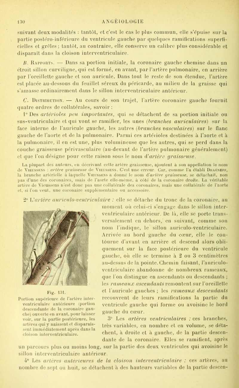 sui\^ant deux modalités : tantôt, et c’est le cas le plus commun, elle s’épuise sur la partie postéro-inférieure du ventricule gauche par quelques ramifications superfi- cielles et grêles; tantôt, au contraire, elle conserve un calibre plus considérable et disparaît dans la cloison interventriculaire. B. Rapports. — Dans sa portion initiale, la coronaire gauche chemine dans un étroit sillon curviligne, qui est formé, en avant, par l’artère pulmonaire, en arrière par l’oreillette gauche et son auricule. Dans tout le reste de son étendue, l’artère est placée au-dessous du feuillet séreux du péricarde, au milieu de la graisse qui s’amasse ordinairement dans le sillon interventriculaire antérieur. C. Distribution. — Au cours de son trajet, l’artère coronaire gauche fournit quatre ordres de collatérales, savoir : D Des artérioles peu importantes, qui se détachent de sa portion initiale ou sus-ventriculaire et qui vont se ramifier, les unes {branches auriculaires) sur la face interne de l’auricule gauche, les autres {branches vasculaires) sur le flanc gauche de l’aorte et de la pulmonaire. Parmi ces artéiioles destinées à l’aorte et à la pulmonaire, il en est une, plus volumineuse que les autres, qui se perd dans la couche graisseuse périvasculaire (au-devant de l’artère pulmonaire généralement) et que l’on désigne pour cette raison sous le nom ééartère graisseuse. La plupart des auteurs, en décrivant cette artère graisseuse, ajoutent à son appellation le nom de ViEUssENs ; artère fjraisseuse de Yieussens. C’est une erreur. Car, comme l’a établi Dkagneff, la branche artérielle à laquelle Vieussens a donné le nom à'artère yraisseuse, se détachait, non pas d’une des coronaires, mais de l’aorte elle-même, à côté de la coronaire droite. La véritable artère de Vieussens n’est donc pas une collatérale des coronaires, mais une collatérale de l’aorte et, si l’on veut, une coronaire supplémentaire ou accessoire. Vartère auriculo-ventriculaire : elle se détache du tronc de la coronaire, au moment où celui-ci s’engage dans le sillon inter- ventriculaire antérieur. De là, elle se porte trans- versalement en dehors, en suivant, comme son nom l’indique, le sillon auriculo-ventriculaire. Arrivée au bord gauche du cœur, elle le con- tourne d’avant en arrière et descend alors obli- quement sur la face postérieure du ventricule gauche, où elle se termine à 2 ou 3 centimètres au-dessus de la pointe. Chemin faisant, l’auriculo- ventriculaire abandonne de nombreux rameaux, que l’on distingue en ascendants ou descendants ; les rameaux ascendants vcmoïïiQni sur l’oreillette et l’auricule gauches ; les rameaux descendants recouvrent de leurs ramifications la partie du ventricule gauche qui forme ou avoisine le bord gauche du cœur. 3° Les artères ventriculaires : ces branches, très variables, en nombre et en volume, se déta- chent, à droite et à gauche, de la partie descen- dante de la coronaire. Elles se ramifient, après un parcours plus ou moins long, sur la partie des deux ventricules qui avoisine le sillon interventriculaire antérieur. 4® Les artères antérieures de la cloison interventriculaire : ces artères, au nombre de sept ou huit, se détachent à des hauteurs variables de la partie descen- Fig. 131. Portion supérieure de l’artère inter- ventriculaire antérieure (portion descendante de la coronaire gau- che) ouverte en avant, pour laisser voir, sur la partie postérieure, les artères qui y naissent et disparais- sent immédiatement après dans la cloison interventriculaire.