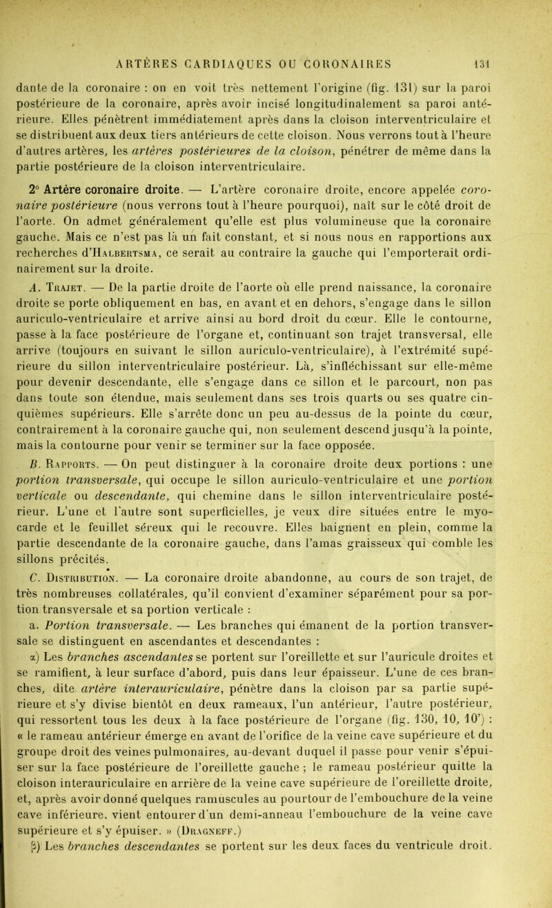 dante de la coronaire : on en voit très nettement l’origine (fig. 131) sur la paroi postérieure de la coronaire, après avoir incisé longitudinalement sa paroi anté- rieure. Elles pénètrent immédiatement après dans la cloison interventriculaire et se distribuent aux deux tiers antérieurs de cette cloison. Nous verrons tout à l’heure d’autres artères, artères postérieures de la cloison, pénétrer de même dans la partie postérieure de la cloison interventriculaire. 2° Artère coronaire droite. — L’artère coronaire droite, encore appelée coro- naire postérieure (nous verrons tout à l’heure pourquoi), naît sur le côté droit de l’aorte. On admet généralement qu’elle est plus volumineuse que la coronaire gauche. Mais ce n’est pas là un fait constant, et si nous nous en rapportions aux recherches d’H.\LBERTSMA, ce serait au contraire la gauche qui l’emporterait ordi- nairement sur la droite. A. Trajet. — De la partie droite de l’aorte où elle prend naissance, la coronaire droite se porte obliquement en bas, en avant et en dehors, s’engage dans le sillon auriculo-ventriculaire et arrive ainsi au hord droit du cœur. Elle le contourne, passe à la face postérieure de l’organe et, continuant son trajet transversal, elle arrive (toujours en suivant le sillon auriculo-ventriculaire), à l’extrémité supé- rieure du sillon interventriculaire postérieur. Là, s’infléchissant sur elle-même pour devenir descendante, elle s’engage dans ce sillon et le parcourt, non pas dans toute son étendue, mais seulement dans ses trois quarts ou ses quatre cin- quièmes supérieurs. Elle s’arrête donc un peu au-dessus de la pointe du cœmr, contrairement à la coronaire gauche qui, non seulement descend jusqu’à la pointe, mais la contourne pour venir se terminer sur la face opposée. B. Rapports. — On peut distinguer à la coronaire droite deux portions : une portion transversale, qui occupe le sillon auriculo-ventriculaire et une portion verticale ou descendante, qui chemine dans le sillon interventriculaire posté- rieur. L’une et l'autre sont superficielles, je veux dire situées entre le myo- carde et le feuillet séreux qui le recouvre. Elles baignent en plein, comme la partie descendante de la coronaire gauche, dans l’amas graisseux qui comble les sillons précités. C. Distribution. — La coronaire droite abandonne, au cours de son trajet, de très nombreuses collatérales, qu’il convient d’examiner séparément pour sa por- tion transversale et sa portion verticale : a. Portion transversale. — Les branches qui émanent de la portion transver- sale se distinguent en ascendantes et descendantes : a) Les branches ascendantes se portent sur l’oreillette et sur l’auricule droites et se ramifient, à leur surface d’ahord, puis dans leur épaisseur. L’une de ces bran- ches, dite artère inter auriculaire, pénètre dans la cloison par sa partie supé- rieure et s’y divise bientôt en deux rameaux, l’un antérieur, l’autre postérieur, qui ressortent tous les deux à la face postérieure de l’organe (fig. 130, 10, 10’) : « le rameau antérieur émerge en avant de l’orifice de la veine cave supérieure et du groupe droit des veines pulmonaires, au-devant duquel il passe pour venir s’épui- ser sur la face postérieure de l’oreillette gauche ; le rameau postérieur quitte la cloison interauriculaire en arrière de la veine cave supérieure de l’oreillette droite, et, après avoir donné quelques ramuscules au pourtour de l’embouchure de la veine cave inférieure, vient entourer d’un demi-anneau l’embouchure de la veine cave supérieure et s’y épuiser. » (Dragneff.) fi) Les branches descendantes se portent sur les deux faces du ventricule droit.