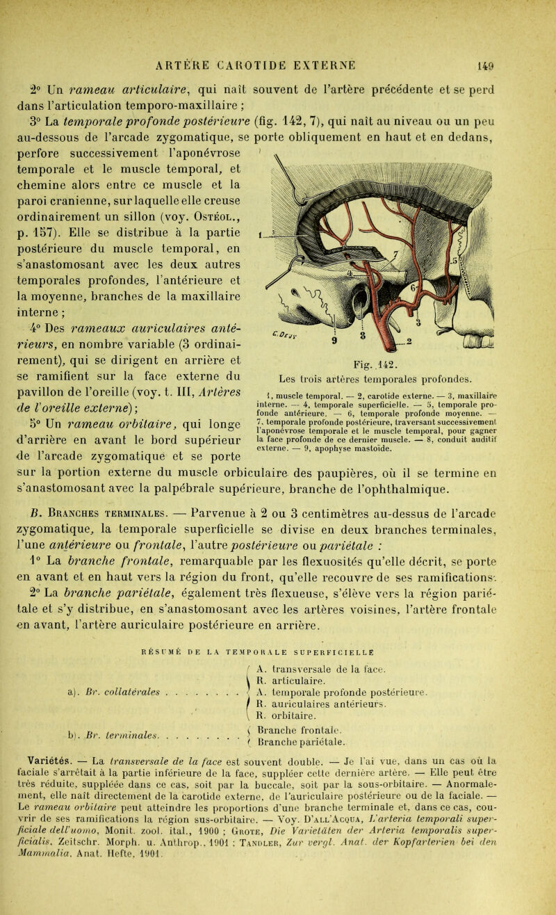 2® Un rameau articulaire^ qui naît souvent de l’artère précédente et se perd dans l’articulation temporo-maxillaire ; 3° La temporale profonde postérieure (fig. 142, 7), qui naît au niveau ou un peu au-dessous de l’arcade zygomatique, se porte obliquement en haut et en dedans, perfore successivement l’aponévrose temporale et le muscle temporal, et chemine alors entre ce muscle et la paroi crânienne, sur laquelle elle creuse ordinairement un sillon (voy. Ostéol., p. 157). Elle se distribue à la partie postérieure du muscle temporal, en s’anastomosant avec les deux autres temporales profondes, l’antérieure et la moyenne, branches de la maxillaire interne ; 4® Des rameaux auriculaires anté- rieurs, en nombre variable (3 ordinai- rement), qui se dirigent en arrière et se ramifient sur la face externe du pavillon de l’oreille (voy. t. III, Artères de Voreille externe) ; 5® Un rameau orbitaire, qui longe d’arrière en avant le bord supérieur de l’arcade zygomatique et se porte sur la portion externe du muscle orbiculaire des paupières, où il se termine en s’anastomosant avec la palpébrale supérieure, branche de l’ophthalmique. B. Branches terminales. — Parvenue à 2 ou 3 centimètres au-dessus de l’arcade zygomatique, la temporale superficielle se divise en deux branches terminales, l’une antérieure ou frontale^ VxuXtq postérieure oo. pariétale : V La branche frontale, remarquable par les flexuosités qu’elle décrit, se porte en avant et en haut vers la région du front, qu’elle recouvre de ses ramifications. 2° La branche pariétale, également très flexueuse, s’élève vers la région parié- tale et s’y distribue, en s’anastomosant avec les artères voisines, l’artère frontale en avant, l’artère auriculaire postérieure en arrière. RÉSUMÉ DE LA TEMPORALE SUPERFICIELLE f A. transversale de la face. V R. articulaire. a) . Br. collatérales ^ A. temporale profonde postérieure. i R. auriculaires antérieurs. \ R. orbitaire. b) . Br. terminales J frontale. ( Branche pariétale. Variétés. — La transversale de la face est souvent double. — Je l’ai vue, dans un cas où la faciale s’arrêtait à la partie inférieure de la face, suppléer cette dernière artère. — Elle peut être très réduite, suppléée dans ce cas, soit par la buccale, soit par la sous-orbitaire. — Anormale- ment, elle naît directement de la carotide externe, de l’auriculaire postérieure ou de la faciale. — Le rameau orbitaire peut atteindre les proportions d une branche terminale et, dans ce cas, cou- vrir de ses ramifications la région sus-orbitaire. — Voy. D’all’Acqua, Varteria temporali super- ficiale dell’uomo, Monit. zool. ital., 1900 ; Grote, Die Varietaten der Arteria temporalis super- ficialis, Zeitschr. Morph. u. Anthrop.. 1901 ; Tandler, Zur vergl. Anat. der Kopfarterien bei den Mammalia. Anat. Hefte, 1901. Fig.,142. Les trois artères temporales profondes. 1, muscle temporal. — 2, carotide externe. — 3, maxillaire interne. — 4, temporale superficielle. — 5, temporale pro- fonde antérieure. — 6, temporale profonde moyenne. — 7, temporale profonde postérieure, traversant successivement l’aponévrose temporale et le muscle temporal, pour gagner la face profonde de ce dernier muscle. — 8, conduit auditif externe. — 9, apophyse mastoïde.