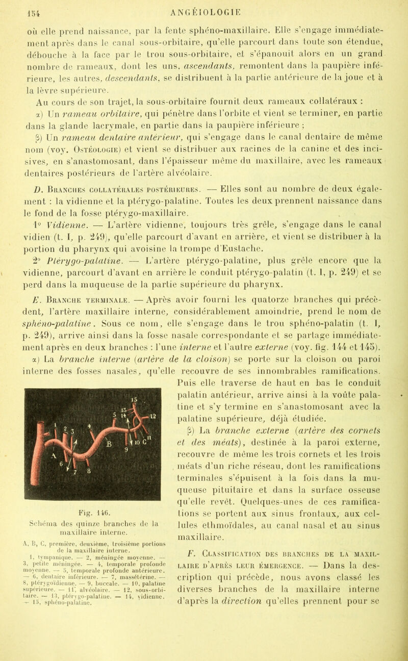 OLi elle prend naissance, par la fente sphéno-maxillaire. Elle s’engage immédiate- ment après dans le canal sous-orl3itaire, qu’elle parcourt dans toute son étendue, débouche à la face par le trou sous-orbitaire, et s’épanouit alors en un grand nombre de rameaux, dont les uns, ascendants, remontent dans la paupière infé- rieure, les autres, descendants, se distribuent à la partie antérieure de la joue et à la lèvre supéiéeure. Au cours de son trajet, la sous-orbitaire fournit deux rameaux collatéraux : а) Un rameau orbitaire, qui pénètre dans l’orbite et vient se terminer, en partie dans la glande lacrymale, en partie dans la paupière inférieure ; б) Un rameau dentaire antérieur, qui s’engage dans le canal dentaire de même nom (voy. Ostéoloüie) et vient se distribuer aux racines de la canine et des inci- sives, en s’anastomosant, dans l’épaisseur même du maxillaire, avec les rameaux dentaires postérieurs de l’artère alvéolaire. J), Buangues collatérales postérieures. — Elles sont au nombre de deux égale- ment : lavidienne et la ptérygo-palatine. Toutes les deux prennent naissance dans le fond de la fosse ptérygo-maxillaire. U Vidienne. — L’artère vidienne, toujours très grêle, s’engage dans le canal vidien (t. I, p. i249), qu’elle parcourt d’avant en arrière, et vient se distribuer h la portion du pharynx qui avoisine la trompe d’Eustache. 2° Ptérygo-palatine. — L’artère ptérygo-palatine, plus grêle encore que la vidienne, parcourt d’avant en arrière le conduit ptérygo-palatin (t. 1, p. 249) et se perd dans la muqueuse de la partie supérieure du pharynx. E. Branche terminale. — Après avoir fourni les quatorze branches qui précè- dent, l’artère maxillaire interne, considérahlement amoindrie, prend le nom de sphéno-palaline. Sous ce nom, elle s’engage dans le trou sphéno-palatin (t. 1, p. 249), arrive ainsi dans la fosse nasale correspondante et se partage immédiate- ment après en deux branches : l’une interne et l’autre externe (voy. fig. 144 et 145j. a) La branche interne {artère de la cloison) se porte sur la cloison ou paroi interne des fosses nasales, qu’elle recouvre de ses innombrahles ramifications. Puis elle traverse de haut en has le conduit palatin antérieur, arrive ainsi à la voûte pala- tine et s’y termine en s’anastomosant avec la palatine supérieure, déjà étudiée. [î) La branche externe {artère des cornets et des méats), destinée à la paroi externe, recouvre de même les trois cornets et les trois méats d’un riche réseau, dont les ramifications terminales s’épuisent à la fois dans la mu- queuse pituitaire et dans la surface osseuse qu’elle revêt. Quelques-unes de ces ramifica- tions se portent aux sinus frontaux, aux cel- lules ethmoïdales, au canal nasal et au sinus maxillaire. Fig. 146. Schéma des quinze branches de la maxillaire interne. A, B, C, première, deuxième, troisième portions de la maxillaire interne. 1, tympanique. — 2, méningée moyenne. — 3, petite méningée. — 4. temporale profonde moyenne. — 5, temporale profonde antérieure. — 6, dentaire inférieure. — 7, massétérine. — 8) ptérygoïdienne. — 9, buccale. — 10, palatine supéi’ieure. — 11', alvéolaire. — 12, sous-orbi- taire. — 13, ptérygo-palatine. — 14, yidienne. — 15, sphéno-paiatine. F. Classification des branches de la maxil- laire d’après leur émergence. — Dans la des- cription qui précède, nous avons classé les diverses branches de la maxillaire interne d’après la direction qu’elles prennent pour se