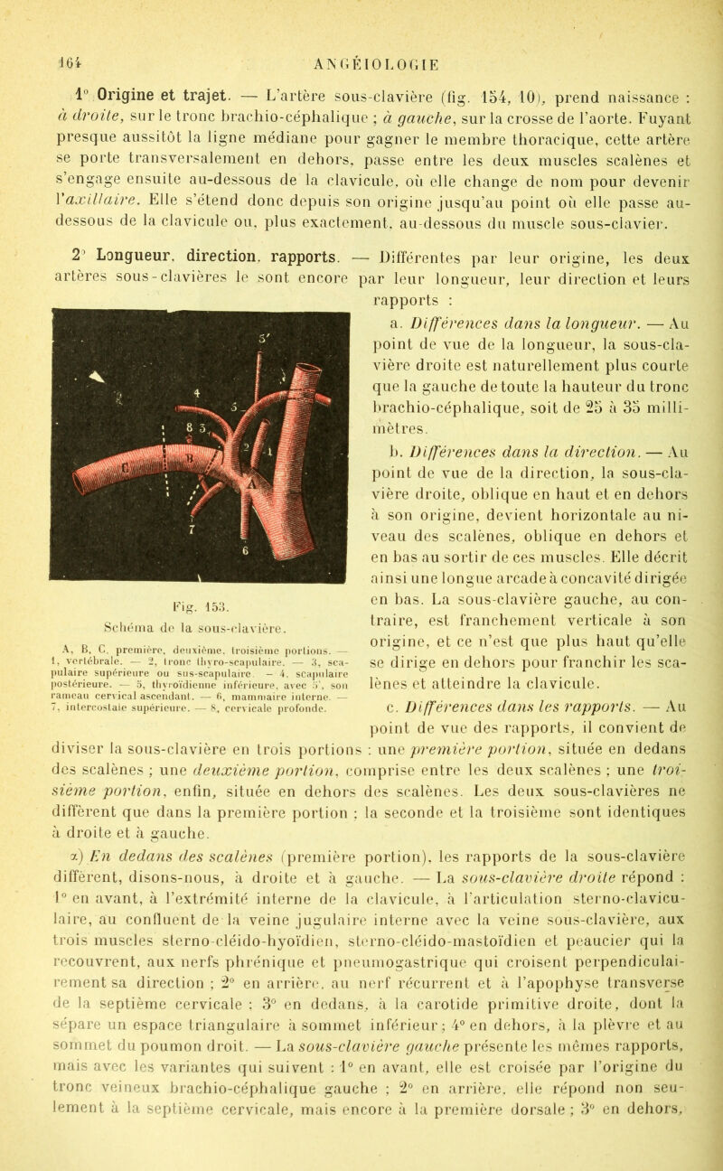 1° Origine et trajet. — L’artère sous-clavière (fig. 154, 10), prend naissance : à droite, sur le tronc brachio-céphaliqiie ; à gauche, sur la crosse de l’aorte. Fuyant presque aussitôt la ligne me'diane pour gagner le membre thoracique, cette artère se porte transversalement en dehors, passe entre les deux muscles scalènes et s’engage ensuite au-dessous de la clavicule, où elle change de nom pour devenir yaxlUaire. Elle s’étend donc depuis son origine jusqu’au point où elle passe au- dessous de la clavicule ou, plus exactement, au-dessous du muscle sous-claviei*. 2^ Longueur, direction, rapports. — Différentes par leur origine, les deux artères sous-clavières le sont encore par leur longueur, leur direction et leurs rapports : a. Diff'érences dans la longueur. — Au point de vue de la longueur, la sous-cla- vière droite est naturellement plus courte que la gauche de toute la hauteur du tronc hrachio-céphalique, soit de 25 à 35 milli- mètres. h. Différences dans la direction. — Au point de vue de la direction, la sous-cla- vière droite, oblique en haut et en dehors à son origine, devient horizontale au ni- veau des scalènes, oblique en dehors et en bas au sortir de ces muscles. Elle décrit ainsi une longue arcade à concavité dirigée en bas. La sous-clavière gauche, au con- traire, est franchement verticale à son origine, et ce n’est que plus haut qu’elle se dirige en dehors pour franchir les sca- lènes et atteindre la clavicule. c. Différences dam les rapports. — Au point de vue des rapports, il convient de diviser la sous-clavière en trois portions : wwc première portion, située en dedans des scalènes ; une deuxième portion, comprise entre les deux scalènes ; une troi~ siéme portion, enfin, située en dehors des scalènes. Les deux sous-clavières ne diffèrent que dans la première portion ; la seconde et la troisième sont identiques à droite et à gauche. a) En dedans des scalènes (première portion), les rapports de la sous-clavière diffèrent, disons-nous, à droite et à gauche. — La sous-clavière droite répond : D en avant, à l’extrémité interne de la clavicule, à l’articulation steimo-clavicu- laire, au confluent de la veine jugulaire interne avec la veine sous-clavière, aux trois muscles sterno-cléido-hyoïdien, sterno-cléido-mastoïdien et peaucier qui la recouvrent, aux nerfs ptirénique et pneumogastrique qui croisent perpendiculai- rement sa direction ; 2*^ en arrière, au nerf récurrent et à l’apophyse transverse de la septième cervicale : 3° en dedans, à la carotide primitive droite, dont la sépare un espace triangulaire à sommet inférieur; 4® en dehors, à la plèvre et au sommet du poumon droit. — La sous-clavière gauche présente les memes rapports, mais avec les variantes qui suivent : i'* en avant, elle est croisée par l’origine du tronc veineux hrachio-céphalique gauche ; 2° en arrière, elle répond non seu- lement à la septième cervicale, mais encore à la première dorsale ; 3 en dehors. Fig. 153. Schéma de la sous-clavière. B, C. premièro. deuxième, troisième portions. — 1, vertébrale. — 2, tronc tliyro-scainilaire. — 3, sca- pulaire supérieure ou sus-scapulaire. - 4. scajuilaire postérieure. — 3, tliyioïdienne inférieure, avec son rameau cervical ascendant. — fi, mammaire interne. — T, intercostale supérieure. — 8, cervicale profonde.