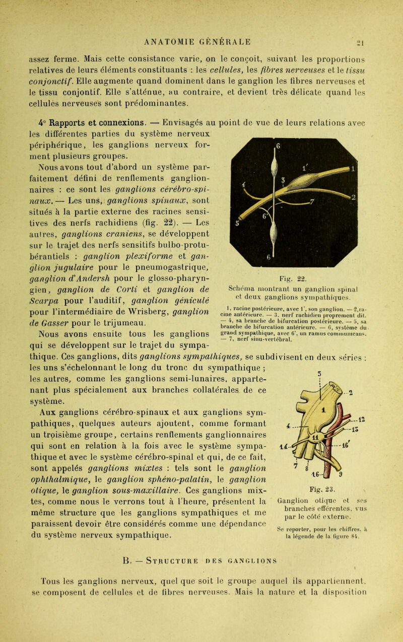 assez ferme. Mais cette consistance varie, on le conçoit, suivant les proportions relatives de leurs éléments constituants : les cellules, les fibres nerveuses et le tissu conjonctif. Elle augmente quand dominent dans le ganglion les libres nerveuses et le tissu conjontif. Elle s’atténue, au contraire, et devient très délicate quand les cellules nerveuses sont prédominantes. 4° Rapports et connexions. — Envisagés au point de vue de leurs relations avec les différentes parties du système nerveux périphérique, les ganglions nerveux for- ment plusieurs groupes. Nous avons tout d’abord un système par- faitement défini de renflements ganglion- naires : ce sont les ganglions cérébro-spi- naux.— Les uns, ganglions spinaux, sont situés à la partie externe des racines sensi- tives des nerfs rachidiens (fig. 22). — Les autres, ganglions crâniens, se développent sur le trajet des nerfs sensitifs bulbo-protu- bérantiels : ganglion plexiforme et gan- glion jugulaire pour le pneumogastrique, ganglion cCAndersh pour le glosso-pharyn- gien, ganglion de Corti et ganglion de Scarpa pour l’auditif, ganglion géniculé pour l’intermédiaire de Wrisberg, ganglion de Gasser pour le trijumeau. Nous avons ensuite tous les ganglions qui se développent sur le trajet du sympa- thique. Ces ganglions, dits ganglions sympathiques, se subdivisent en deux séries : les uns s’échelonnant le long du tronc du sympathique ; les autres, comme les ganglions semi-lunaires, apparte- nant plus spécialement aux branches collatérales de ce système. Aux ganglions cérébro-spinaux et aux ganglions sym- pathiques, quelques auteurs ajoutent, comme formant un trpisième groupe, certains renflements ganglionnaires qui sont en relation à la fois avec le système sympa- thique et avec le système cérébro-spinal et qui, de ce fait, sont appelés ganglions mixtes : tels sont le ganglion ophthalmique, le ganglion sphéno-palatin, le ganglion otique, le ganglion sous-maxillaire. Ces ganglions mix- tes, comme nous le verrons tout à l-’heure, présentent la même structure que les ganglions sympathiques et me paraissent devoir être considérés comme une dépendance du système nerveux sympathique. Fig. 22. Schéma montrant un ganglion spinal et deux ganglions sympathiques. 1, racine postérieure, avec 1’, son gang lion. —2,ra- cine antérieure. — 3. nerf rachidien proprement dit. — 4, sa branche de bifurcation postérieure. — 5, sa branche de bifurcation antérieure. — G, système du grand sympathique, avec 6’, un ramus communicans. — 7, nerf sinu-vertébral. Ganglion otique et ses branches efférentes, vus par le côté externe. Se reporter, pour les chiffres, à la légende de la figure 84. B.— Structure des ganglions Tous les ganglions nerveux, quel que soit le groupe auquel ils appartiennent, se composent de cellules et de fibres nerveuses. Mais la nature et la disposition