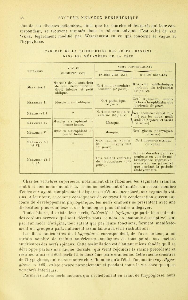 sion de ces diverses métamères, ainsi que les muscles et les nerfs qui leur cor- respondent, se trouvent résumés dans le tableau suivant. C’est celui de van AVijhe, légèrement modifié par Wiedersfïeim en ce qui concerne le vague et l’hypoglosse. TABLEAU DE LA DISTRIBUTION DES NERFS CRANIENS DANS LES MÉTAMÈRES DE LA TÈTE MÉTAMÈRES MUSCLES NERFS CORRESPONDANTS CORRESPONDANTS RACINES VENTRALES RACINES DORSALES Met A MÈRE I Muscles droit supérieur de l'œil, droit inférieur, droit interne et petit oblique. Nerf moteur oculaire commun (3a paire). Branche op h thaï inique profonde du trijumeau (o° paire). Métamère 11 Muscle grand oblique. Nerf pathétique (4° paire). Nerf trijumeau, moins la branche ophthalmique profonde (5ü paire). Métamère III ? Nerf moteur oculaire externe (B® paire). \ (Nerf acoustico-facial for- > iné par les deux nerfs | auditif (8epaire) et facial ' (7e paire). Métamère IV Muscles s’atrophiant de bonne heure. Manque. Métamère V Muscles s’atrophiant de bonne heure. Manque. Nerf glosso - pharyngien (9° paire). Métamère VI et VII 9 Deux racines ventra les de l'hypoglosse 12® paire). Nerf pneumogastrique ou vague. Métamère VIII el IX Deux racines ventrales de l’hypoglosse (12® paire), Racines dorsales de l’hy- poglosse en voie de mé- tamorphose régressive, n’existant en général que pendant la période embryonnaire. Chez les vertébrés supérieurs, notamment chez l’homme, les segments crâniens sont à la fois moins nombreux et moins nettement délimités, un certain nombre d’entre eux ayant complètement disparu ou s’étant incorporés aux segments voi- sins. A leur tour, et comme conséquence de ce travail de condensation survenu au cours du développement phylogénique, les nerfs crâniens se présentent avec une disposition plus complexe et des homologies plus difficiles à dégager. Tout d’abord, il existe deux nerfs, Y olfactif et Y optique (je parle bien entendu des cordons nerveux qui sont décrits sous ce nom en anatomie descriptive), qui par leur mode d’origine, tout autant que par leurs fonctions, forment manifeste- ment un groupe à part, nullement assimilable à la série rachidienne. Les filets radiculaires de Y hypoglosse correspondent, de l’avis de tous, à un certain nombre de racines antérieures, analogues de tous points aux racines antérieures des nerfs spinaux. Cette assimilation est d’autant mieux fondée qu’il se développe parfois une racine dorsale, qui vient rejoindre la racine précédente et restituer ainsi son état parfait à la douzième paire crânienne. Cette racine sensitive de l’hypoglosse, qui ne se montre chez l’homme qu’à l’état d’anomalie (voy. Hypo- glosse, p. 126), existe encore normalement et pendant toute la vie chez quelques vertébrés inférieurs. Parmi les autres nerfs moteurs qui s’échelonnent en avant de l’hypoglosse, nous