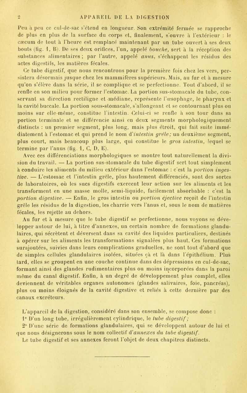 Peu à peu ce cul-de-sac s’étend en longueur. Son extrémité fermée se rapproche de plus en plus de la surface du corps et, finalement, s'ouvre à l’extérieur : le cæcum de tout à l’heure est remplacé maintenant par un tube ouvert à ses deux bouts (fig. 1, B). De ses deux orifices, l’un, appelé bouche, sert à la réception des substances alimentaires ; par l’autre, appelé anus, s’échappent les résidus des actes digestifs, les matières fécales. Ce tube digestif, que nous rencontrons pour la première fois chez les vers, per- sistera désormais jusque chez les mammifères supérieurs. Mais, au fur et à mesure qu’on s’élève dans la série, il se complique et se perfectionne. Tout d’abord, il se renfle en son milieu pour former l’estomac. La portion sus-stomacale du tube, con- servant sa direction rectiligne et médiane, représente l’œsophage, le pharynx et la cavité buccale. La portion sous-stomacale, s’allongeant et se contournant plus ou moins sur elle-même, constitue l’intestin. Celui-ci se renfle à son tour dans sa portion terminale et se différencie ainsi en deux segments morphologiquement distincts : un premier segment, plus long, mais plus étroit, qui fait suite immé- diatement à l’estomac et qui prend le nom d'intestin grêle; un deuxième segment, plus court, mais beaucoup plus large, qui constitue le gros intestin, lequel se termine par l’anus (fig. 1, C, D, E). Avec ces différenciations morphologiques se montre tout naturellement la divi- sion du travail. — La portion sus-stomacale du tube digestif sert tout simplement à conduire les aliments du milieu extérieur dans l’estomac : c'est la portion inges- tive. — L’estomac et l’intestin grêle, plus hautement différenciés, sont des sortes de laboratoires, où les sucs digestifs exercent leur action sur les aliments et les transforment en une masse molle, semi-liquide, facilement absorbable : c’est la portion digestive. — Enfin, le gros intestin ou portion éjective reçoit de l’intestin grêle les résidus de la digestion, les charrie vers l’anus et, sous le nom de matières fécales, les rejette au dehors. Au fur et à mesure que le tube digestif se perfectionne, nous voyons se déve- lopper autour de lui, à titre d’annexes, un certain nombre de formations glandu- laires, qui sécrètent et déversent dans sa cavité des liquides particuliers, destinés à opérer sur les aliments les transformations signalées plus haut. Ces formations surajoutées, suivies dans leurs complications graduelles, ne sont tout d’abord que de simples cellules glandulaires isolées, situées çà et là dans l’épithélium. Plus tard, elles se groupent en une couche continue dans des dépressions en cul-de-sac, formant ainsi des glandes rudimentaires plus ou moins incorporées dans la paroi même du canal digestif. Enfin, à un degré de développement plus complet, elles deviennent de véritables organes autonomes (glandes salivaires, foie, pancréas), plus ou moins éloignés de la cavité digestive et reliés à cette dernière par des canaux excréteurs. L’appareil de la digestion, considéré dans son ensemble, se compose donc : 1° D’un long tube, irrégulièrement cylindrique, le tube digestif ; 2° D’une série de formations glandulaires, qui se développent autour de lui et que nous désignerons sous le nom collectif <¥annexes du tube digestif. Le tube digestif et ses annexes feront l’objet de deux chapitres distincts.