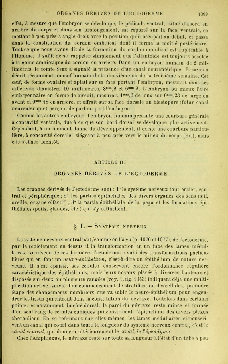 effet, à mesure que l’embryon se développe, le pédicule ventral, situé d’abord en arrière du corps et dans son prolongement, est reporté sur la face ventrale, se mettant à peu près à angle droit avec la position qu’il occupait au début, et passe dans la constitution du cordon ombilical dont il forme la moitié postérieure. Tout ce que nous avons dit de la formation du cordon ombilical est applicable à l’Homme, il suffit de se rappeler simplement que l’allantoïde est toujours accolée à la gaine amniotique du cordon en arrière. Dans un embryon humain de 2 mil- limètres, le comte Spee a signalé la présence d’un canal neurentérique. Eternod a décrit récemment un œuf humain de la deuxième ou de la troisième semaine. Cet œuf, de forme ovalaire et aplati sur sa face portant l’embryon, mesurait dans ses différents diamètres 10 millimètres, 8mm,2 et 6mm,2. L’embryon ou mieux l’aire embryonnaire en forme de biscuit, mesurait lmm,3 de long sur 0mm,23 de large en avant et 0mm,18 en arrière, et offrait sur sa face dorsale un blastopore (futur canal neurentérique) perçant de part en part l’embryon. Comme les autres embryons, l’embryon humain présente une courbure générale à concavité ventrale, due à ce que son bord dorsal se développe plus activement. Cependant, à un moment donné du développement, il existe une courbure particu- lière, à concavité dorsale, siégeant à peu près vers le milieu du corps (Iiis), mais elle s’efface bientôt. ARTICLE III ORGANES DÉRIVÉS DE L’ECTODERME Les organes dérivés de l’ectoderme sont : 1° le système nerveux tout entier, cen- tral et périphérique ; 2° les parties épithéliales des divers organes des sens (œil, oreille, organe olfactif) ; 3° la partie épithéliale de la peau et les formations épi- théliales (poils, glandes, etc.) qui s’y rattachent. § I. — Système nerveux Le système nerveux central naît,'comme on l’a vu (p. 1076 et 1077), de l’ectoderme, par le reploiement en dessus et la transformation en un tube des lames médul- laires. Au niveau de ces dernières l’ectoderme a subi des transformations particu- lières qui en font un neuro-épithélium, c’est-à-dire un épithélium de nature ner- veuse. Il s’est épaissi, ses cellules conservent encore l’ordonnance régulière caractéristique des épithéliums, mais leurs noyaux placés à diverses hauteurs et disposés sur deux ou plusieurs rangées (voy. 1, fig. 1043) indiquent déjà une multi- plication active, suivie d’un commencement de stratification des cellules, première étape des changements nombreux que va subir le neuro-épithélium pour engen- drer les tissus qui entrent dans la constitution du névraxe. Toutefois dans certains points, et notamment du côté dorsal, la paroi du névraxe reste mince et formée d’un seul rang de cellules cubiques qui constituent l’épithélium des divers plexus choroïdiens. En se refermant sur elles-mêmes, les lames médullaires circonscri- vent un canal qui court dans toute la longueur du système nerveux central, c’est le canal central, qui donnera ultérieurement le canal de Vépendyme. Chez l’Amphioxus, le névraxe reste sur toute sa longueur à l’état d’un tube à peu