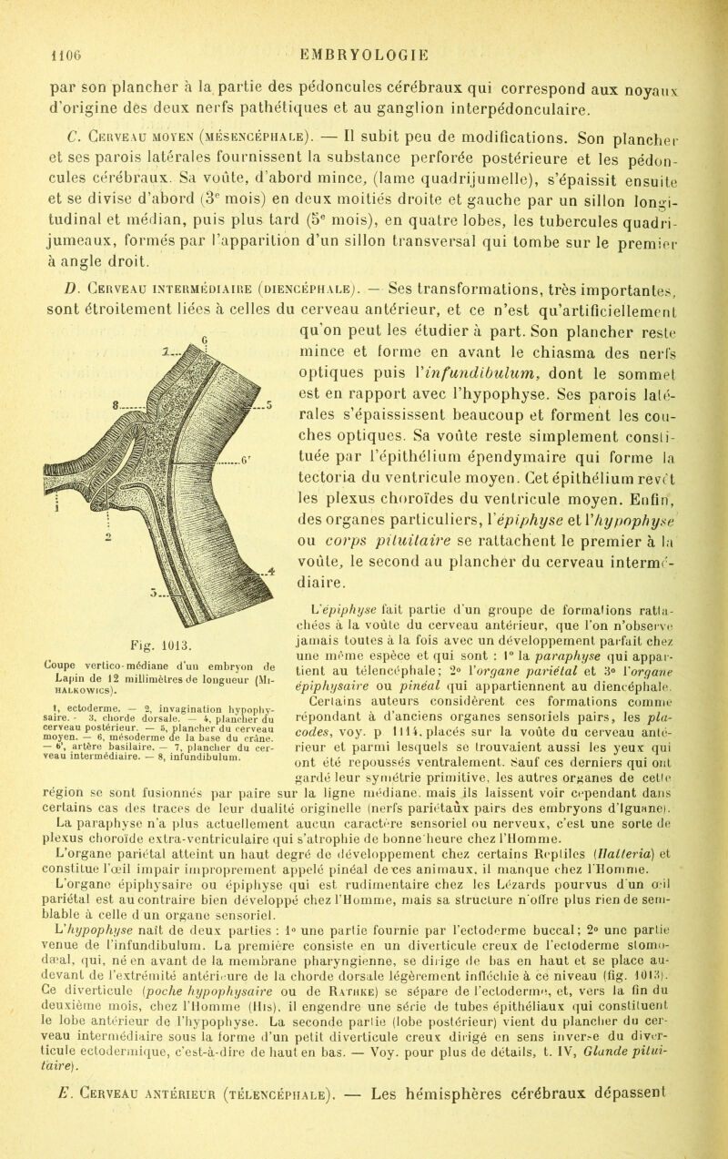 par son plancher à la partie des pédoncules cérébraux qui correspond aux noyaux, d’origine dés deux nerfs pathétiques et au ganglion interpédonculaire. C. Cerveau moyen (mésencéphale). — Il subit peu de modifications. Son plancher et ses parois latérales fournissent la substance perforée postérieure et les pédon- cules cérébraux. Sa voûte, d’abord mince, (lame quadrijumelle), s’épaissit ensuite et se divise d’abord (3e mois) en deux moitiés droite et gauche par un sillon longi- tudinal et médian, puis plus tard (5e mois), en quatre lobes, les tubercules quadri- jumeaux, formés par l’apparition d’un sillon transversal qui tombe sur le premier à angle droit. D. Cerveau intermédiaire (diencéphale). — Ses transformations, très importantes, sont étroitement liées à celles du cerveau antérieur, et ce n’est qu’artificiellement qu’on peut les étudier à part. Son plancher reste mince et forme en avant le chiasma des nerfs optiques puis Yinfundibulum, dont le sommet est en rapport avec l’hypophyse. Ses parois laté- rales s’épaississent beaucoup et forment les cou- ches optiques. Sa voûte reste simplement consti- tuée par l’épithélium épendymaire qui forme la tectoria du ventricule moyen. Cet épithélium revêt les plexus choroïdes du ventricule moyen. Enfin, des organes particuliers, Y épiphyse et l’hypophyse ou corps pituitaire se rattachent le premier à la voûte, le second au plancher du cerveau intermé- diaire. L'épiphyse fait partie d'un groupe de formations ratta- chées à la voûte du cerveau antérieur, que l’on n’observe jamais toutes à la fois avec un développement parfait chez une même espèce et qui sont : 1° la paraphyse qui appar- tient au télencéphale; 2° Y organe pariétal et 3° Y organe épiphysaire ou pinéal qui appartiennent au diencéphale. Certains auteurs considèrent ces formations comme répondant à d’anciens organes sensoriels pairs, les pla- codes, voy. p 1114, placés sur la voûte du cerveau anté- rieur et parmi lesquels se trouvaient aussi les yeux qui ont été repoussés ventralement. Sauf ces derniers qui ont gardé leur symétrie primitive, les autres organes de cette région se sont fusionnés par paire sur la ligne médiane, mais ils laissent voir cependant dans certains cas des traces de leur dualité originelle (nerfs pariétaux pairs des embryons d’iguane). La paraphyse n’a plus actuellement aucun caractère sensoriel ou nerveux, c’est une sorte de plexus choroïde extra-ventriculaire qui s’atrophie de bonne heure chez l’Homme. L’organe pariétal atteint un haut degré de développement chez certains Reptiles (IJalteria) et constitue l’œil impair improprement appelé pinéal denes animaux, il manque chez l'Homme. L’organe épiphysaire ou épiphyse qui est rudimentaire chez les Lézards pourvus d'un œil pariétal est au contraire bien développé chez l’Homme, mais sa structure n'offre plus rien de sem- blable à celle d un organe sensoriel. L’hypophyse naît de deux parties : 1° une partie fournie par l’ectodorme buccal; 2° une partie venue de l’infundibulum. La première consiste en un diverticule creux de l’ectoderme slomo- dæal, qui, né en avant de la membrane pharyngienne, se dirige de bas en haut et se place au- devant de l’extrémité antérieure de la chorde dorsale légèrement infléchie à ce niveau (fig. 1013). Ce diverticule (poche hypophysaire ou de Rathke) se sépare de l’ectoderme, et, vers la fin du deuxième mois, chez l’Homme (His), il engendre une série de tubes épithéliaux qui constituent le lobe antérieur de l’hypophyse. La seconde partie (lobe postérieur) vient du plancher du cer- veau intermédiaire sous la forme d’un petit diverticule creux dirigé en sens inverœ du diver- ticule ectodermique, c’est-à-dire de haut en bas. — Voy. pour plus de détails, t. IV, Glande pitui- taire) . E. Cerveau antérieur (télencéphale). — Les he'misphères cérébraux dépassent Fig. 1013. Coupe vertico-médiane d’un embryon de Lapin de 12 millimètres de longueur (Mi- HALKOWICS). 1, ectoderme. — 2, invagination hypophy- saire. - 3, chorde dorsale. — 4, plancher du cerveau postérieur. — 5, plancher du cerveau moyen. — 6, mésoderme de la base du crâne. — 6’, artère basilaire. — 7, plancher du cer- veau intermédiaire. — 8, infundibulum.