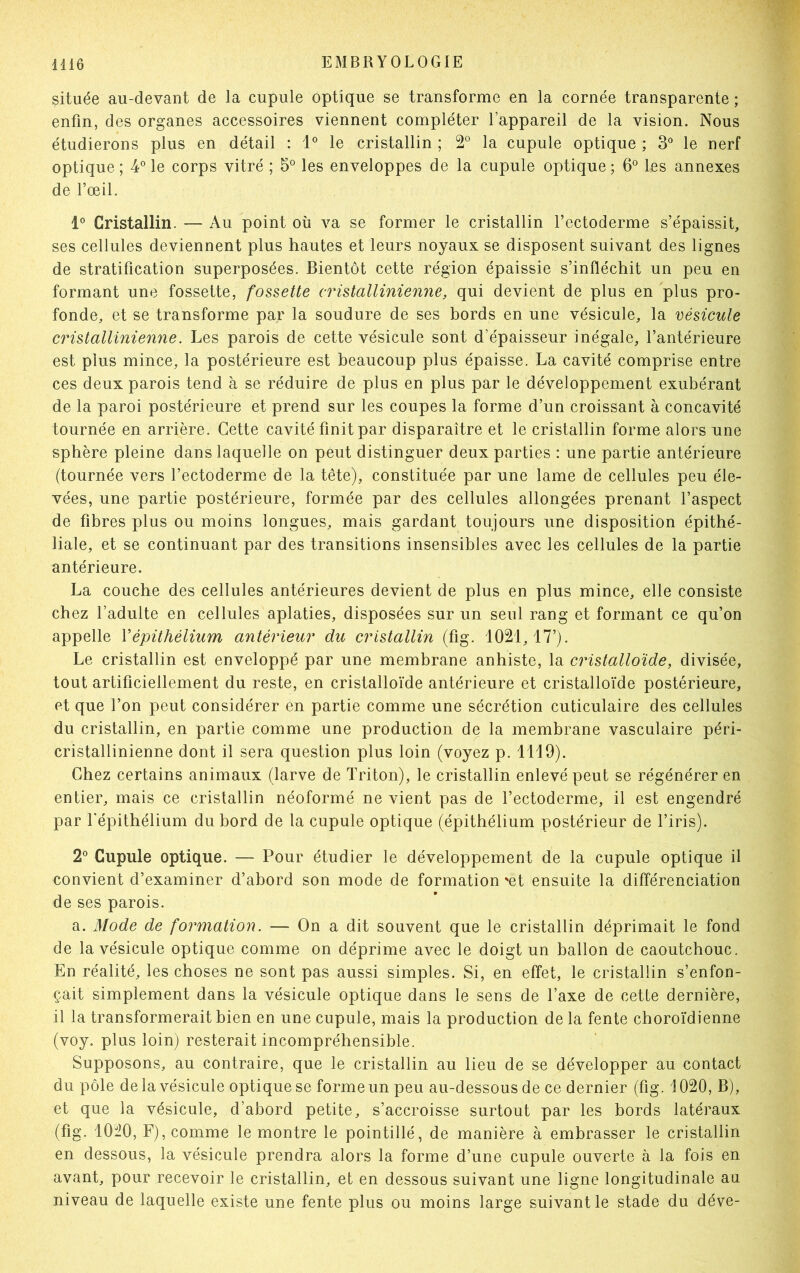 située au-devant de la cupule optique se transforme en la cornée transparente ; enfin, des organes accessoires viennent compléter l’appareil de la vision. Nous étudierons plus en détail : 1° le cristallin ; 2° la cupule optique ; 3° le nerf optique ; 4° le corps vitré ; 5° les enveloppes de la cupule optique ; 6° les annexes de l’œil. 1° Cristallin. — Au point où va se former le cristallin l’ectoderme s’épaissit, ses cellules deviennent plus hautes et leurs noyaux se disposent suivant des lignes de stratification superposées. Bientôt cette région épaissie s’infléchit un peu en formant une fossette, fossette cristallinienne, qui devient de plus en plus pro- fonde, et se transforme par la soudure de ses bords en une vésicule, la vésicule cristallinienne. Les parois de cette vésicule sont d’épaisseur inégale, l’antérieure est plus mince, la postérieure est beaucoup plus épaisse. La cavité comprise entre ces deux parois tend à se réduire de plus en plus par le développement exubérant de la paroi postérieure et prend sur les coupes la forme d’un croissant à concavité tournée en arrière. Cette cavité finit par disparaître et le cristallin forme alors une sphère pleine dans laquelle on peut distinguer deux parties : une partie antérieure (tournée vers l’ectoderme de la tête), constituée par une lame de cellules peu éle- vées, une partie postérieure, formée par des cellules allongées prenant l’aspect de fibres plus ou moins longues, mais gardant toujours une disposition épithé- liale, et se continuant par des transitions insensibles avec les cellules de la partie antérieure. La couche des cellules antérieures devient de plus en plus mince, elle consiste chez l’adulte en cellules aplaties, disposées sur un seul rang et formant ce qu’on appelle Vépithélium antérieur du cristallin (fig. 1021,17’). Le cristallin est enveloppé par une membrane anhiste, la cristalloïde, divisée, tout artificiellement du reste, en cristalloïde antérieure et cristalloïde postérieure, et que l’on peut considérer en partie comme une sécrétion cuticulaire des cellules du cristallin, en partie comme une production de la membrane vasculaire péri- cristallinienne dont il sera question plus loin (voyez p. 1119). Chez certains animaux (larve de Triton), le cristallin enlevé peut se régénérer en entier, mais ce cristallin néoformé ne vient pas de l’ectoderme, il est engendré par l'épithélium du bord de la cupule optique (épithélium postérieur de l’iris). 2° Cupule optique. — Pour étudier le développement de la cupule optique il convient d’examiner d’abord son mode de formation 'et ensuite la différenciation de ses parois. a. Mode de formation. — On a dit souvent que le cristallin déprimait le fond de la vésicule optique comme on déprime avec le doigt un ballon de caoutchouc. En réalité, les choses ne sont pas aussi simples. Si, en effet, le cristallin s’enfon- çait simplement dans la vésicule optique dans le sens de l’axe de cette dernière, il la transformerait bien en une cupule, mais la production de la fente cboroïdienne (voy. plus loin) resterait incompréhensible. Supposons, au contraire, que le cristallin au lieu de se développer au contact du pôle de la vésicule optique se forme un peu au-dessous de ce dernier (fig. 1020, B), et que la vésicule, d’abord petite, s’accroisse surtout par les bords latéraux (fig. 10:20, F), comme le montre le pointillé, de manière à embrasser le cristallin en dessous, la vésicule prendra alors la forme d’une cupule ouverte à la fois en avant, pour recevoir le cristallin, et en dessous suivant une ligne longitudinale au niveau de laquelle existe une fente plus ou moins large suivant le stade du déve-