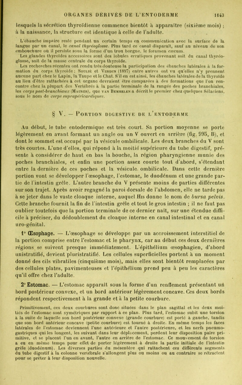 lesquels la sécrétion thyroïdienne commence bientôt à apparaître (sixième mois) ; à la naissance, la structure est identique à celle de l’adulte. L’ébauche impaire reste pendant un certain temps en communication avec la surïace de la langue par un canal, le canal thyréoglosse. Plus tard ce canal disparaît, sauf au niveau de son embouchure où il persiste sous la forme d’un trou borgne, le foramen cæcum. Les^glandes thyroïdes accessoires sont des lobules erratiques provenant soit du canal thyréo- glosse, soit de la masse centrale du corps thyroïde. Les recherches récentes ont rendu très douteuse la participation des ébauches latérales à la for- mation du corps thyroïde; Soulié et Verdun (4897) enlre autres ont vu qu’elles n’y prennent aucune part chez le Lapin, la Taupe et le Chat. S'il en est ainsi, les ébauches latérales de la thyroïde au lieu d’être rattachées à cet organe devraient être comparées à des formations que l’on ren- contre chez la plupart des Vertébrés à la partie terminale de la rangée des poches branchiales, les corps post-branchiaux (Maurer), que van Bemmelen a décrit le premier chez quelques Sélaciens, sous le nom de corps suprapêricardigues. § V. — Portion digestive de l’entoderme Au début, le tube entodermique est très court. Sa portion moyenne se porte légèrement en avant formant un angle ou un V ouvert en arrière (fig. 99o, B), et dont le sommet est occupé par la vésicule ombilicale. Les deux branches du V sont très courtes. L’une d’elles, qui répond à la moitié supérieure du tube digestif, pré- sente à considérer de haut en bas la bouche, la région pharyngienne munie des poches branchiales, et enfin une portion assez courte tout d’abord, s’étendant entre la dernière de ces poches et la vésicule ombilicale. Dans cette dernière portion vont se développer l’œsophage, l’estomac, le duodénum et une grande par- tie de l’intestin grêle. L’autre branche du V présente moins de parties différentes sur son trajet. Après avoir regagné la paroi dorsale de l’abdomen, elle ne tarde pas à se jeter dans le vaste cloaque interne, auquel His donne le nom de bursa pelvis. Cette branche fournit la fin de l’intestin grêle et tout le gros intestin ; il ne faut pas oublier toutefois que la portion terminale de ce dernier naît, sur une étendue diffi- cile à préciser, du dédoublement du cloaque interne en canal intestinal et en canal uro-génital. 1° Œsophage. — L’œsophage se développe par un accroissement interstitiel de la portion comprise entre l’estomac et le pharynx, car au début ces deux dernières régions se suivent presque immédiatement. L’épithélium œsophagien, d’abord unistratifié, devient pluristratifié. Les cellules superficielles portent à un moment donné des cils vibratiles (cinquième mois), mais elles sont bientôt remplacées par des cellules plates, pavimenteuses et l’épithélium prend peu à peu les caractères qu’il offre chez l’adulte. 2° Estomac. — L’estomac apparaît sous la forme d’un renflement présentant un bord postérieur convexe, et un bord antérieur légèrement concave. Ces deux bords répondent respectivement à la grande et à la petite courbure. Primitivement, ces deux courbures sont donc situées dans le plan sagittal et les deux moi- tiés de l’estomac sont symétriques par rapport à ce plan. Plus tard, l’estomac subit une torsion à la suite de laquelle son bord postérieur convexe (grande courbure) est porté à gauche, tandis que son bord antérieur concave (petite courbure) est tourné à droite. En même temps les faces latérales de l’estomac deviennent l’une antérieure et l’autre postérieure, et les nerfs pneumo- gastriques qui les longent, les suivant dans leur déplacement, perdent leur disposition paire pri- mitive, et se placent l’un en avant, l’autre en arrière de l’estomac. Ce mouvement de torsion a eu en même temps pour effet de porter légèrement à droite la partie initiale de l’intestin grêle (duodénum). Les diverses parties du mésentère qui rattachent ces différents segments du tube digestif à la colonne vertébrale s'allongent plus ou moins ou au contraire se rétractent pour se prêter à leur disposition nouvelle.