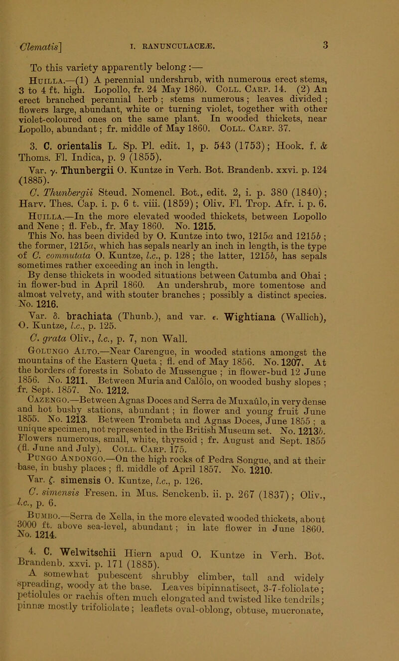 To this variety apparently belong:— Huilla.—(1) A perennial undershrub, with numerous erect stems, 3 to 4 ft. high. Lopollo, fr. 24 May 1860. Coll. Carp. 14. (2) An erect branched perennial herb ; stems numerous; leaves divided ; flowers large, abundant, white or turning violet, together with other violet-coloured ones on the same plant. In wooded thickets, near Lopollo, abundant; fr. middle of May 1860. Coll. Carp. 37. 3. C. orientalis L. Sp. PI. edit. 1, p. 543 (1753); Hook. f. & Thoms. FI. Indica, p. 9 (1855). Yar. y. Thunbergii 0. Kuntze in Yerh. Bot. Brandenb. xxvi. p. 124 (1885). C. Thunbergii Steud. ISTomencl. Bot., edit. 2, i. p. 380 (1840); Harv. Thes. Cap. i. p. 6 t. viii. (1859); Oliv. FI. Trop. Afr. i. p. 6. Hctilla.—In the more elevated wooded thickets, between Lopollo and Nene ; fl. Feb., fr. May 1860. No. 1215. This No. has been divided by O. Kuntze into two, 1215a and 12156 ; the former, 1215a, which has sepals nearly an inch in length, is the type of C. commutata O. Kuntze, l.c., p. 128; the latter, 12156, has sepals sometimes rather exceeding an inch in length. By dense thickets in wooded situations between Catumba and Ohai ; in flower-bud in April 1860. An undershrub, more tomentose and almost velvety, and with stouter branches ; possibly a distinct species. No. 1216. Yar. 8. brachiata (Thunb.), and var. e. Wightiana (Wallich), 0. Kuntze, l.c., p. 125. C. grata Oliv., l.c., p. 7, non Wall. Golungo Alto.—Near Carengue, in wooded stations amongst the mountains of the Eastern Queta ; fl. end of May 1856. No. 1207. At the borders of forests in Sobato de Mussengue ; in flower-bud 12 June 1856. No. 1211. Between Muria and Calolo, on wooded bushy slopes : fr. Sept. 1857. No. 1212. Cazengo.—Between Agnas Doces and Serra de Muxaulo, in very dense an^hot bushy stations, abundant; in flower and young fruit June 1855. No. 1213. Between Trombeta and Agnas Doces, June 1855 ; a unique specimen, not represented in the British Museum set. No. 12136. Flowers numerous, small, white, thyrsoid ; fr. August and Sept. 1855 (fl. June and July). Coll. Carp. 175. Pungo Andongo.—On the high rocks of Pedra Songue, and at their base, in bushy places ; fl. middle of April 1857. No. 1210- Yar. f. simensis O. Kuntze, l.c., p. 126. C. simensis Fresen. in Mus. Senckenb. ii. p. 267 (1837V Oliv. 1. c., p. 6. v ’ annnU*I50'~rSerra de XeUa>in the more elevated wooded thickets, about rfUUO tt. above sea-level, abundant; in late flower in June 1860 -iNo. 1214. 4. C. Welwitschii Hiern apud O. Kuntze in Verh. Bot. Brandenb. xxvi. p. 171 (1885). A somewhat pubescent shrubby climber, tall and widely spreading, woody at the base. Leaves bipinnatisect, 3-7-foliolate; petiolules or rachis often much elongated and twisted like tendrils: pmme mostly trifoliolate; leaflets oval-oblong, obtuse, mucronate,