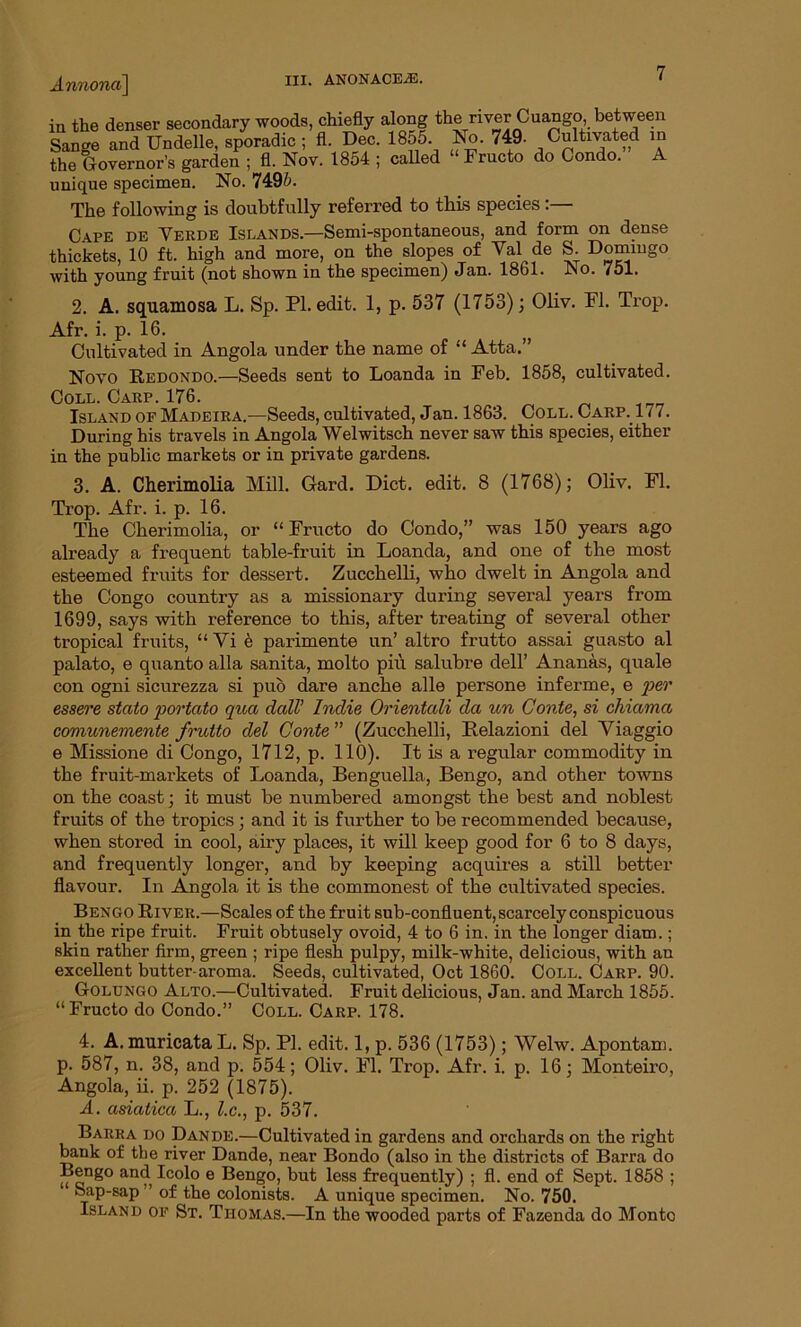 Annona\ anonace^e. in the denser secondary woods, chiefly along the river Cuango between Sange and Undelle, sporadic ; fl. Dec. 1855. No. 749. Cultivated in the Governor’s garden ; fl. Nov. 1854 ; called “ Fructo do Condo. A unique specimen. No. 749b. The following is doubtfully referred to this species :— C\pe de Verde Islands.—Semi-spontaneous, and form on dense thickets, 10 ft. high and more, on the slopes of Val de S. Domingo with young fruit (not shown in the specimen) Jan. 1861. No. 751. 2. A. squamosa L. Sp. PI. edit. 1, p. 537 (1753); Oliv. PI. Trop. Afr. i. p. 16. Cultivated in Angola under the name of “ Atta.” Novo Redondo.—Seeds sent to Loanda in Feb. Coll. Carp. 176. Island of Madeira.—Seeds, cultivated, Jan. 1863. During his travels in Angola Welwitsch never saw in the public markets or in private gardens. 1858, cultivated. Coll. Carp. 177. this species, either 3. A. Cherimolia Mill. Gard. Diet. edit. 8 (1768); Oliv. Fl. Trop. Afr. i. p. 16. The Cherimolia, or “Fructo do Condo,” was 150 years ago already a frequent table-fruit in Loanda, and one of the most esteemed fruits for dessert. Zucchelli, who dwelt in Angola and the Congo country as a missionary during several years from 1699, says with reference to this, after treating of several other tropical fruits, “ Vi 5 parimente un’ altro frutto assai guasto al palato, e quanto alia sanita, molto piu salubre dell’ Ananas, quale con ogni sicurezza si pub dare anche alle persone inferme, e per essere stato portato qua dall’ Indie Orientali da un Conte, si chiama comunemente frutto del Conte ” (Zucchelli, Relazioni del Viaggio e Missione di Congo, 1712, p. 110). It is a regular commodity in the fruit-markets of Loanda, Benguella, Bengo, and other towns on the coast; it must be numbered amongst the best and noblest fruits of the tropics; and it is further to be recommended because, when stored in cool, airy places, it will keep good for 6 to 8 days, and frequently longer, and by keeping acquires a still better flavour. In Angola it is the commonest of the cultivated species. Bengo River.—Scales of the fruit sub-confluent, scarcely conspicuous in the ripe fruit. Fruit obtusely ovoid, 4 to 6 in. in the longer diam.; skin rather firm, green ; ripe flesh pulpy, milk-white, delicious, with an excellent butter-aroma. Seeds, cultivated, Oct 1860. Coll. Carp. 90. Golungo Alto.—Cultivated. Fruit delicious, Jan. and March 1855. “Fructo do Condo.” Coll. Carp. 178. 4. A. muricata L. Sp. PI. edit. 1, p. 536 (1753); Welw. Apontam. p. 587, n. 38, and p. 554; Oliv. Fl. Trop. Afr. i. p. 16; Monteiro, Angola, ii. p. 252 (1875). A. asiatica L., l.c., p. 537. Barra do Dande.—Cultivated in gardens and orchards on the right bank of the river Dande, near Bondo (also in the districts of Barra do Bengo and Icolo e Bengo, but less frequently) ; fl. end of Sept. 1858 ; Sap-sap ” of the colonists. A unique specimen. No. 750. Island of St. Thomas.—In the wooded parts of Fazenda do Monto