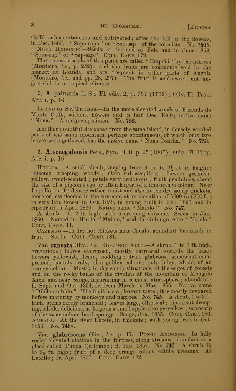 Caffti, sub-spontaneous and cultivated; after the fall of the flowers, in Dec. 1860. “ Sapo-sapo ” or “ Sap-sap ” of the colonists. No. 750b. Novo Redondo.—Seeds, at the end of Feb. and in June 1858. “ Sour-sap ” or “ Sap-sap.” Coll. Carp. 179. The aromatic seeds of this plant are called “ Empebi ” by the natives (Monteiro, l.c., p. 252) ; and the fruits are commonly sold in the market at Loanda, and are frequent in other parts of Angola (Monteiro, l.c., and pp. 28, 297). The fruit is acid-sweet, not un- grateful in a tropical climate. 5. A. palustris L. Sp. PI. edit. 2, p. 757 (1762); Oliv. FI. Trop. Afr. i. p. 16. Island of St. Thomas.—In the more elevated woods of Fazenda do Monte Caffe, without flowers and in leaf Dec. 1860; native name “Nona.” A unique specimen. No. 752. Another doubtful Anonacea from the same island, in densely wooded parts of the same mountain, perhaps spontaneous, of which only two leaves were gathered, has the native name “ Nona Concha.” No. 753- 6. A. senegalensis Pers., Syn. PI. ii. p. 95 (1807); Oliv. FI. Trop. Afr. i. p. 16. Huilla.—A small shrub, varying from 9 in. to 2^ ft. in height; rhizome creeping, woody; stem sub-csespitose ; flowers greenish- yellow, sweet-scented ; petals very deciduous ; fruit pendulous, about the size of a pigeon’s egg or often larger, of a fine orange colour. Near Lopollo, in the denser rather moist and also in the dry sandy thickets, more or less flooded in the summer, at an elevation of 5000 to 5200 ft.; in very late flower in Oct. 1859, in young fruit in Feb. 1860, and in ripe fruit in April 1860. Native name “ Maiolo.” No. 747- A shrub, 1 to 2 ft. high, with a creeping rhizome. Seeds, in Jan. 1860. Named in Huilla “Maiolo,” and in Golungo Alto “Maiolo.” Coll. Carp. 11. Cazengo.—In dry hot thickets near Caculo, abundant but rarely in fruit. Seeds. Coll. Carp. 181. Yar. cuneata Oliv., l.c. Golungo Alto.—A shrub, 1 to 3 ft. high, gregarious ; leaves evergreen, mostly narrowed towards the base; flowers yellowish, fleshy, nodding ; fruit glabrous, somewhat com- pressed, acutely scaly, of a golden colour ; pulp juicy, edible, of an orange colour. Mostly in dry sandy situations, at the edges of forests and on the rocky banks of the rivulets of the mountain of Mongolo Xixe, and near Sange, luxuriating in a moist atmosphere; abundant; fl. Sept, and Oct. 1854, fr. from March to May 1855. Native name “ Dil61o-ambulo.” The fruit has a pleasant taste ; it is mostly devoured before maturity by monkeys and negroes. No. 745. A shrub, 1 to 3 ft. high, stems rarely branched ; leaves large, elliptical; ripe fruit droop- ing, edible, delicious, as large as a small apple, orange-yellow ; sarcocarp of the same colour, hard-spongy. Sange, Jan. 1855. Coll. Carp. 180. Ambaca.—At the river Lutete, in thickets ; with young fruit in Oct. 1856. No. 7465. Yar. glabrescens Oliv., l.c., p. 17. Pungo Andongo.—In hilly rocky elevated stations in the fortress, along streams, abundant at a place called Tunda Quilombo ; fl. Jan. 1857. No. 746. A shrub 1A to 2£ ft. high ; fruit of a deep orange colour, edible, pleasant. At Luxillo ; fr. April 1857. Coll. Carp. 182.