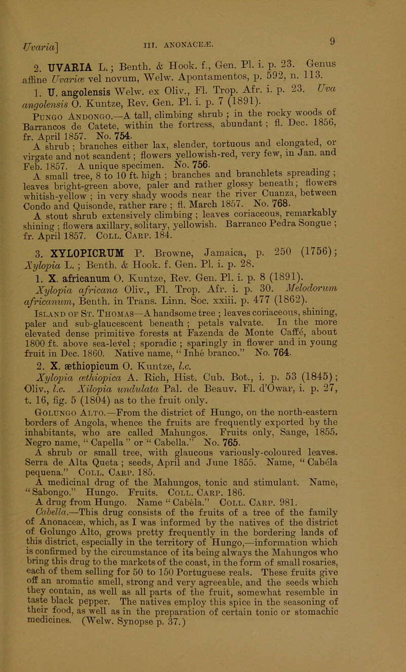 Uvaria\ 2. UVARIA L. ; Benth. & Hook, f., Gen. PI. i. p. 23. Genus affine Uvarice vel novum, Welw. Apontamentos, p. 592, n. 113. 1. TJ. angolensis Welw. ex Oliv., FI. Trop. Afr. i. p. 23. Uva angolensis 0. Kuntze, Rev. Gen. PL i. p. 7 (1891). Pungo Andongo.—A tall, climbing shrub ; in the rocky woods of Barrancos de Catete, within the fortress, abundant; fl. Dec. l«ob, fr. April 1857. No. 754. , A shrub : branches either lax, slender, tortuous and elongated, oi virgate and not scandent; flowers yellowish-red, very few, in Jan. and Peb. 1857. A unique specimen. No. 756. A small tree, 8 to 10 ft. high ; branches and branchlets spreading ; leaves bright-green above, paler and rather glossy beneath , flowers whitish-yellow ; in very shady woods near the river Cuanza, between Condo and Quisonde, rather rare ; fl. March 1857. No. 768. A stout shrub extensively climbing ; leaves coriaceous, remarkably shining ; flowers axillary, solitary, yellowish. Barranco Pedra Songue ; fr. April 1857. Coll. Carp. 184. 3. XYLOPICRUM P. Browne, Jamaica, p. 250 (1756); Xylopia L.; Benth. & Hook. f. Gen. PL i. p. 28. 1. X. africammi 0. Kuntze, Rev. Gen. Pl. i. p. 8 (1891). Xylopia africana Oliv., Fl. Trop. Afr. i. p. 30. Meloclorum africamom, Benth. in Trans. Linn. Soc. xxiii. p. 477 (1862). Island of St. Thomas—A handsome tree ; leaves coriaceous, shining, paler and sub-glaucescent beneath ; petals valvate. In the more elevated dense primitive forests at Fazenda de Monte Caffe, about 1800 ft. above sea-leVel ; sporadic ; sparingly in flower and in young fruit in Dec. 1860. Native name, “ Inhe branco.” No. 764- 2. X. aethiopicum O. Kuntze, l.c. Xylopia cethiopica A. Rich, Hist. Cub. Bot., i. p. 53 (1845); Oliv., l.c. Xilopia undulata Pal. de Beauv. Fl. d’Owar, i. p. 27, t. 16, fig. 5 (1804) as to the fruit only. Golungo Alto.—From the district of Hungo, on the north-eastern borders of Angola, whence the fruits are frequently exported by the inhabitants, who are called Mahungos. Fruits only, Sange, 1855. Negro name, “ Capella ” or “ Cabella.” No. 765. A shrub or small tree, with glaucous variously-coloured leaves. Serra de Alta Queta ; seeds, April and June 1855. Name, “ Cabela pequena.” Coll. Carp. 185. A medicinal drug of the Mahungos, tonic and stimulant. Name, u Sabongo.” Hungo. Fruits. Coll. Carp. 186. A drug from Hungo. Name “ Cabela.” Coll. Carp. 981. Cabella.—This drug consists of the fruits of a tree of the family of Anonacese, which, as I was informed by the natives of the district of Golungo Alto, grows pretty frequently in the bordering lands of this district, especially in the territory of Hungo,—information which is confirmed by the circumstance of its being always the Mahungos who bring this drug to the markets of the coast, in the form of small rosaries, each of them selling for 50 to 150 Portuguese reals. These fruits give off an aromatic smell, strong and very agreeable, and the seeds which they contain, as well as all parts of the fruit, somewhat resemble in taste black pepper. The natives employ this spice in the seasoning of their food, as well as in the preparation of certain tonic or stomachic medicines. (Welw. Synopse p. 37.)