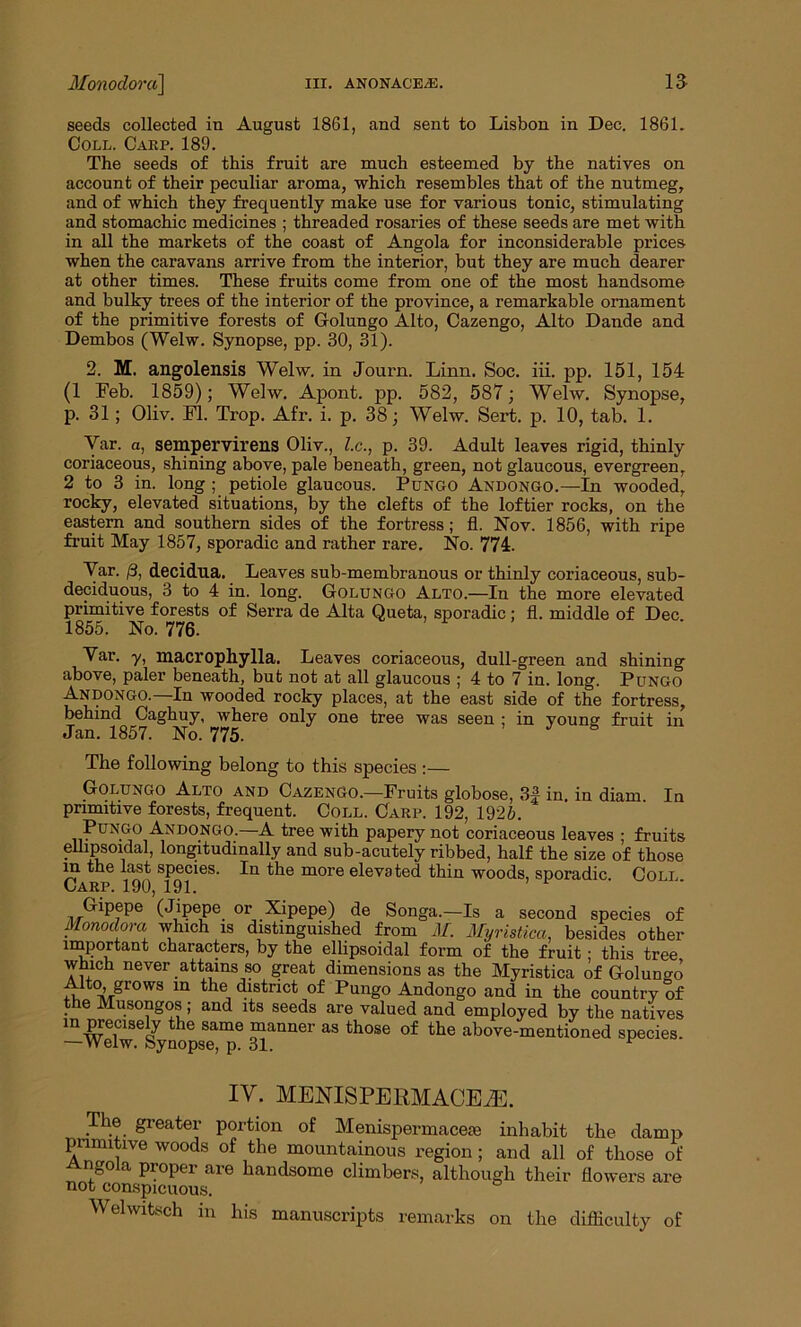 seeds collected in August 1861, and sent to Lisbon in Dec. 1861. Coll. Carp. 189. The seeds of this fruit are much esteemed by the natives on account of their peculiar aroma, which resembles that of the nutmeg, and of which they frequently make use for various tonic, stimulating and stomachic medicines ; threaded rosaries of these seeds are met with in all the markets of the coast of Angola for inconsiderable prices when the caravans arrive from the interior, but they are much dearer at other times. These fruits come from one of the most handsome and bulky trees of the interior of the province, a remarkable ornament of the primitive forests of Golungo Alto, Cazengo, Alto Dande and Dembos (Welw. Synopse, pp. 30, 31). 2. M. angolensis Welw. in Journ. Linn. Soc. iii. pp. 151, 154 (1 Feb. 1859); Welw. Apont. pp. 582, 587; Welw. Synopse, p. 31; Oliv. FI. Trop. Afr. i. p. 38; Welw. Serf. p. 10, tab. 1. Var. a, sempervirens Oliv., l.c., p. 39. Adult leaves rigid, thinly coriaceous, shining above, pale beneath, green, not glaucous, evergreen, 2 to 3 in. long ; petiole glaucous. Pungo Andongo.—In wooded, rocky, elevated situations, by the clefts of the loftier rocks, on the eastern and southern sides of the fortress; fl. Nov. 1856, with ripe fruit May 1857, sporadic and rather rare. No. 774. Yar. /3, decidua. Leaves sub-membranous or thinly coriaceous, sub- deciduous, 3 to 4 in. long. Golungo Alto.—In the more elevated primitive forests of Serra de Alta Queta, sporadic ; fl. middle of Dec 1855. No. 776. Yar. y, macrophylla. Leaves coriaceous, dull-green and shining above, paler beneath, but not at all glaucous ; 4 to 7 in. long. Pltngo Andongo.—In wooded rocky places, at the east side of the fortress, behind Caghuy, where only one tree was seen ; in young1 fruit in Jan. 1857. No. 775. The following belong to this species :— Golungo Alto and Cazengo.—Fruits globose, 3f in. in diam. In primitive forests, frequent. Coll. Carp. 192, 1925. Pungo Andongo.—A tree with papery not coriaceous leaves ; fruits ellipsoidal, longitudinally and sub-acutely ribbed, half the size of those in the last species. In the more elevated thin woods, sporadic Coll Carp. 190, 191. Gipepe (Jipepe or Xipepe) de Songa.—Is a second species of Monodora which is distinguished from M. Myristica, besides other important characters, by the ellipsoidal form of the fruit ; this tree which never attains so great dimensions as the Myristica of Goluno-J Alto, grows m the district of Pungo Andongo and in the country of the Musongos; and its seeds are valued and employed by the natives in precisely the same manner as those of the above-mentioned species. —Welw. Synopse, p. 31. r IV. MENISPERMACEiE. The greater portion of Menispermaceie inhabit the damp primitive woods of the mountainous region; and all of those of Angola proper are handsome climbers, although their flowers are not conspicuous. Wehvitsch in his manuscripts remarks on the difficulty of