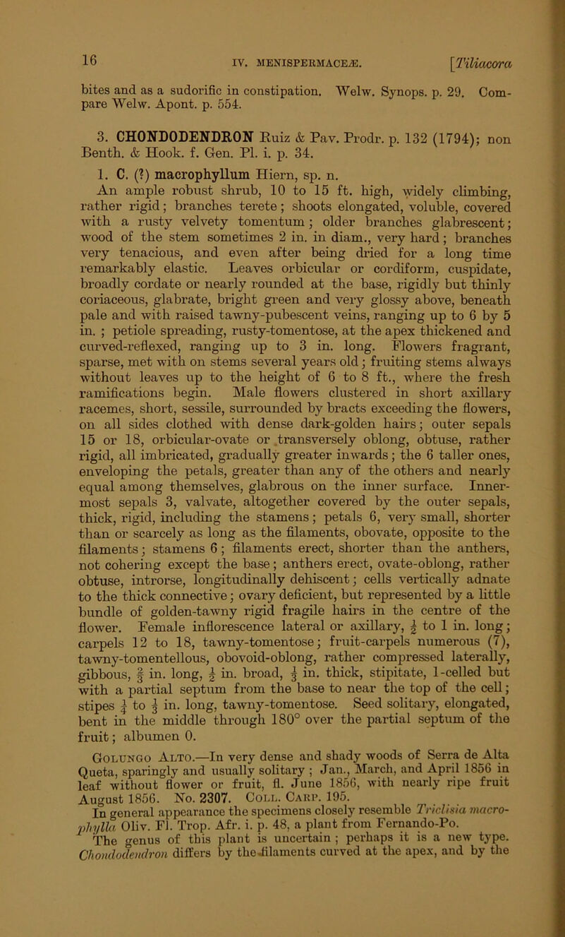 bites and as a sudorific in constipation. Welw. Synops. p. 29. Com- pare Welw. Apont. p. 554. 3. CHONDODENDRON Ruiz & Pav. Prodr. p. 132 (1794); non Benth. & Hook. f. Gen. PI. i. p. 34. 1. C. (?) macrophyllum Hiern, sp. n. An ample robust shrub, 10 to 15 ft. high, widely climbing, rather rigid; branches terete; shoots elongated, voluble, covered with a rusty velvety tomentum; older branches glabrescent; wood of the stem sometimes 2 in. in diam., very hard; branches very tenacious, and even after being dried for a long time remarkably elastic. Leaves orbicular or cordiform, cuspidate, broadly cordate or nearly rounded at the base, rigidly but thinly coriaceous, glabrate, bright green and very glossy above, beneath pale and with raised tawny-pubescent veins, ranging up to 6 by 5 in. ; petiole spreading, rusty-tomentose, at the apex thickened and curved-reflexed, ranging up to 3 in. long. Flowers fragrant, sparse, met with on stems several years old; fruiting stems always without leaves up to the height of 6 to 8 ft., where the fresh ramifications begin. Male flowers clustered in short axillary racemes, short, sessile, surrounded by bracts exceeding the flowers, on all sides clothed with dense dark-golden hairs; outer sepals 15 or 18, orbicular-ovate or transversely oblong, obtuse, rather rigid, all imbricated, gradually greater inwards; the 6 taller ones, enveloping the petals, greater than any of the others and nearly equal among themselves, glabrous on the inner surface. Inner- most sepals 3, valvate, altogether covered by the outer sepals, thick, rigid, including the stamens; petals 6, very small, shorter than or scarcely as long as the filaments, obovate, opposite to the filaments; stamens 6; filaments erect, shorter than the anthers, not cohering except the base; anthers erect, ovate-oblong, rather obtuse, introrse, longitudinally dehiscent; cells vertically adnate to the thick connective; ovary deficient, but represented by a little bundle of golden-tawny rigid fragile hairs in the centre of the flower. Female inflorescence lateral or axillary, | to 1 in. long; carpels 12 to 18, tawny-tomentose; fruit-carpels numerous (7), tawny-tomentellous, obovoid-oblong, rather compressed laterally, gibbous, § in. long, \ in. broad, g in. thick, stipitate, 1-celled but with a partial septum from the base to near the top of the cell; stipes | to ^ in. long, tawny-tomentose. Seed solitary, elongated, bent in the middle through 180° over the partial septum of the fruit; albumen 0. Golungo Alto.—In very dense and shady woods of Serra de Alta Queta, sparingly and usually solitary ; Jan., March, and April 1856 in leaf without flower or fruit, fl. June 1856, with nearly ripe fruit August 1856. No. 2307. Coll. Carp. 195. In general appearance the specimens closely resemble Triclinia macro- nhylla Oliv. Fl. Trop. Afr. i. p. 48, a plant from Fernando-Po. The genus of this plant is uncertain ; perhaps it is a new type. Chonducleiidron differs by the-filaments curved at the apex, and by the