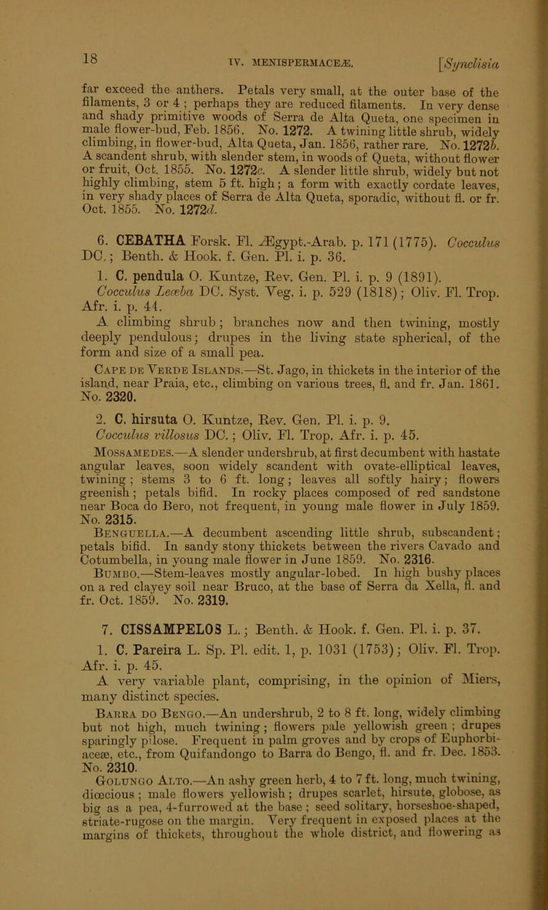 TV. MENISPERMACEjE. [Synclisia far exceed the anthers. Petals very small, at the outer base of the filaments, 3 or 4 ; perhaps they are reduced filaments. In very dense and shady primitive woods of Serra de Alta Queta, one specimen in male flower-bud, Feb. 1856. No. 1272. A twining little shrub, widely climbing, in flower-bud, Alta Queta, Jan. 1856, rather rare. No. 12725. A scandent shrub, with slender stem, in woods of Queta, without flower or fruit, Oct. 1855. No. 1272c. A slender little shrub, widely but not highly climbing, stem 5 ft. high; a form with exactly cordate leaves, in very shady places of Serra de Alta Queta, sporadic, without fl. or fr. Oct. 1855. No. 1272c?. 6. CEBATHA Forsk. Fl. HCgypt.-Arab. p. 171 (1775). Cocculus DC.; Benth. & Hook. f. Gen. PL i. p. 36. 1. C. pendula 0. Ivuntze, Rev. Gen. PI. i. p. 9 (1891). Cocculus Leceba DC. Syst. Veg. i. p. 529 (1818); Oliv. Fl. Trop. Afr. i. p. 44. A climbing shrub ; branches now and then twining, mostly deeply pendulous; drupes in the living state spherical, of the form and size of a small pea. Cape de Yerde Islands.—St. Jago, in thickets in the interior of the island, near Praia, etc., climbing on various trees, fl. and fr. Jan. 1861. No. 2320. 2. C. hirsuta 0. Kuntze, Rev. Gen. PI. i. p. 9. Cocculus villosus DC.; Oliv. Fl. Trop. Afr. i. p. 45. Mossamedes.—A slender undersbrub, at first decumbent with hastate angular leaves, soon widely scandent with ovate-elliptical leaves, twining ; stems 3 to 6 ft. long; leaves all softly hairy; flowers greenish; petals bifid. In rocky places composed of red sandstone near Boca do Bero, not frequent, in young male flower in July 1859. No. 2315. Benguella.—A decumbent ascending little shrub, subscandent; petals bifid. In sandy stony thickets between the rivers Cavado and Cotumbella, in young male flower in June 1859. No. 2316. Bumbo.—Stem-leaves mostly angular-lobed. In high bushy places on a red clayey soil near Bruco, at the base of Serra da Xella, fl. and fr. Oct. 1859. No. 2319. 7. CISSAMPELOS L.; Benth. & Hook. f. Gen. PI. i. p. 37. 1. C. Pareira L. Sp. PL edit. 1, p. 1031 (1753); Oliv. FL Trop. Afr. i. p. 45. A very variable plant, comprising, in the opinion of Miers, many distinct species. Barra do Bengo.—An undershrub, 2 to 8 ft. long, widely climbing but not high, much twining ; flowers pale yellowish green ; drupes sparingly pilose. Frequent in palm groves and by crops of Euphorbi- aceae, etc., from Quifandongo to Barra do Bengo, fl. and fr. Dec. 1853. No. 2310. Golungo Alto.—An ashy green herb, 4 to 7 ft. long, much twining, dioecious ; male flowers yellowish ; drupes scarlet, hirsute, globose, as big as a pea, 4-furrowed at the base ; seed solitary, horseshoe-shaped, striate-rugose on the margin. Very frequent in exposed places at the margins of thickets, throughout the whole district, and flowering a3