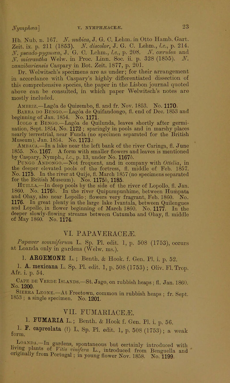 V. NYMPHA2ACE/E. Nymphcea\ Hb. Nub. n. 167. N. nubica, J. G. C. Lehm. in Otto Ilamb. Gart. Zeit. ix. p. 211 (1853). JY. discolor, J. G. 0. Lehm., l.c., p. 214. N. pseudo-pygvuea, J. G. C. Lehm., l.c., p. 208. A. ccendeci and jV. micrantha Welw. in Proc. Linn. Soc. ii. p. 328 (1855). A\ Zanzibariensis Gaspary in Bot. Zeit. 1877, p. 201. Dr. Welwitsch’s specimens are as under; for their arrangement in accordance with Caspary’s highly differentiated dissection of this comprehensive species, the paper in the Lisbon journal quoted above can be consulted, in which paper Welwitsch’s notes are mostly included. Ambriz.—Lagoa de Quizembo, fl. and fr. Nov. 1853. No. 1170- Barra do Bengo.—Lagoa de Quifandongo, fl. end of Dec. 1853 and beginning of Jan. 1854. No. 1171. Icolo e Bengo.—Lagoa de Quilunda, leaves shortly after germi- nation, Sept. 1854, No. 1172 ; sparingly in pools and in marshy places nearly terrestrial, near Funda (no specimen separated for the British Museum), Jan. 1854. No. 1173.1 Ambaca.—In a lake near the left bank of the river Caringa, fl. June 1855. No. 1167- A form with smaller flowers and leaves is mentioned by Caspary, Nymph., l.c., p. 13, under No. 11675. Pungo Andongo.—Not frequent, and in company with Ottelia, in the deeper elevated pools of the fortress, fl. middle of Feb. 1857. No. 1175. In the river at Quije, fl. March 1857 (no specimens separated for the British Museum). Nos. 11755, 1185. Huilla.—In deep pools by the side of the river of Lopollo, fl. Jan. 1860. No. 11765. In the river Quipumpunhime, between Humpata and Ohay, also near Lopollo; flowers very fragrant, Feb. 1860. No. 1176. In great plenty in the large lake Ivantala, between Quilengues and Lopollo, in flower beginning of March 1860. No. 1177. In the deeper slowly-flowing streams between Catumba and Ohay, fl. middle of May 1860. No. 1174. VI. P APAVERACEiE. Papaver somniferum L. Sp. PI. edit. 1, p. 508 (1753), occurs at Loanda only in gardens (Welw. ms.). 1. ARGEM0NE L.; Benth. & Hook. f. Gen. PI. i. p. 52. 1. A. mexicana L. Sp. PI. edit. 1, p. 508 (1753); Oliv. Fl. Trop. Afr. i. p. 54. Cape de Verde Islands.—St. Jago, on rubbish heaps ; fl. Jan. 1860. No. 1200. Sierra Leone.—At Freetown, common in rubbish heaps ; fr. Sept. 1853 ; a single specimen. No. 1201. VII. FUMARIACEAC. FUMABJA L.; Benth. & Hook f. Gen. PI. i. 56. form*' CaPreo^ata (?) k- SP- PI. edit. 1, p. 508 (1753); a weak Loanda.-—In gardens, spontaneous but certainly introduced with °L VUis ?inifera L-> introduced from Benguella and onginally from Portugal ; in young flower Nov. 1858. No. 1199.