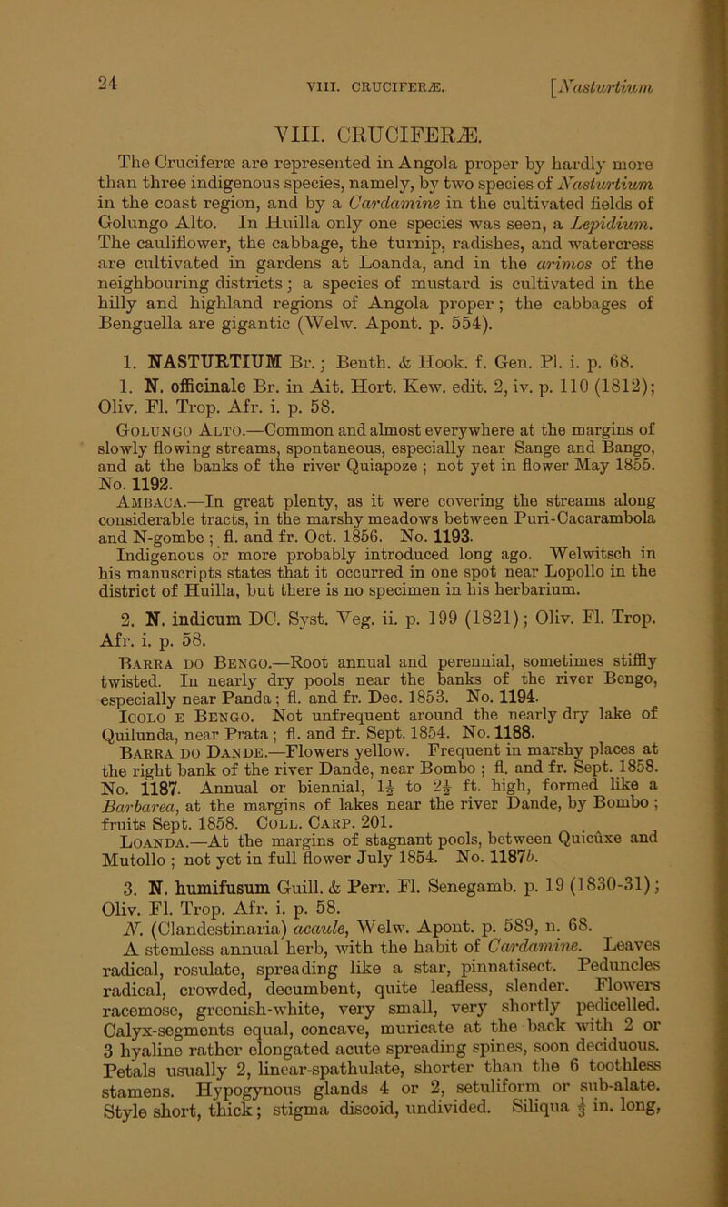 VIII. CRUCIFERJE. The Cruciferie are represented in Angola proper by hardly more than three indigenous species, namely, by two species of Nasturtium in the coast region, and by a Cardamine in the cultivated fields of Golungo Alto. In Huilla only one species was seen, a Lepidium. The cauliflower, the cabbage, the turnip, radishes, and watercress are cultivated in gardens at Loanda, and in the arimos of the neighbouring districts; a species of mustard is cultivated in the hilly and highland regions of Angola proper; the cabbages of Benguella are gigantic (Welw. Apont. p. 554). 1. NASTURTIUM Br.; Benth. & Hook. f. Gen. Bl. i. p. 68. 1. N. officinale Br. in Ait. Hort. Ivew. edit. 2, iv. p. 110 (1812); Oliv. FI. Trop. Afr. i. p. 58. Golungo Alto.—Common and almost everywhere at the margins of slowly flowing streams, spontaneous, especially near Sange and Bango, and at the banks of the river Quiapoze ; not yet in flower May 1855. No. 1192. Ambaca.—In great plenty, as it were covering the streams along considerable tracts, in the marshy meadows between Puri-Cacarambola and N-gombe ; fl. and fr. Oct. 1856. No. 1193. Indigenous or more probably introduced long ago. Welwitsch in his manuscripts states that it occurred in one spot near Lopollo in the district of Huilla, but there is no specimen in his herbarium. 2. N. indicum DO. Syst. Veg. ii. p. 199 (1821); Oliv. Fl. Trop. Afr. i. p. 58. Barra do Bengo.—Root annual and perennial, sometimes stiffly twisted. In nearly dry pools near the banks of the river Bengo, especially near Panda; fl. and fr. Dec. 1853. No. 1194. Icolo E Bengo. Not unfrequent around the nearly dry lake of Quilunda, near Prata ; fl. and fr. Sept. 1854. No. 1188. Barra do Dande.—Flowers yellow. Frequent in marshy places at the right bank of the river Dande, near Bombo ; fl. and fr. Sept. 1858. No. 1187. Annual or biennial, 1J to 2i ft. high, formed like a Barharea, at the margins of lakes near the river Dande, by Bombo ; fruits Sept. 1858. Coll. Carp. 201. Loanda.—At the margins of stagnant pools, between Quicuxe and Mutollo ; not yet in full flower July 1854. No. 11875. 3. N. humifusum Guill. & Perr. Fl. Senegamb. p. 19 (1830-31); Oliv. Fl. Trop. Afr. i. p. 58. N. (Clandestinaria) acaule, Welw. Apont. p. 589, n. 68. A stemless annual herb, with the habit of Cardamine. Leaves radical, rosulate, spreading like a star, pinnatisect. Peduncles radical, crowded, decumbent, quite leafless, slender. Flowers racemose, greenish-white, very small, very shortly pedicelled. Calyx-segments equal, concave, muricate at the back with 2 or 3 hyaline rather elongated acute spreading spines, soon deciduous. Petals usually 2, linear-spathulate, shorter than the 6 toothless stamens. Hypogynous glands 4 or 2, setuliform or sub-alate. Style short, thick; stigma discoid, undivided. Siliqua $ in. long,