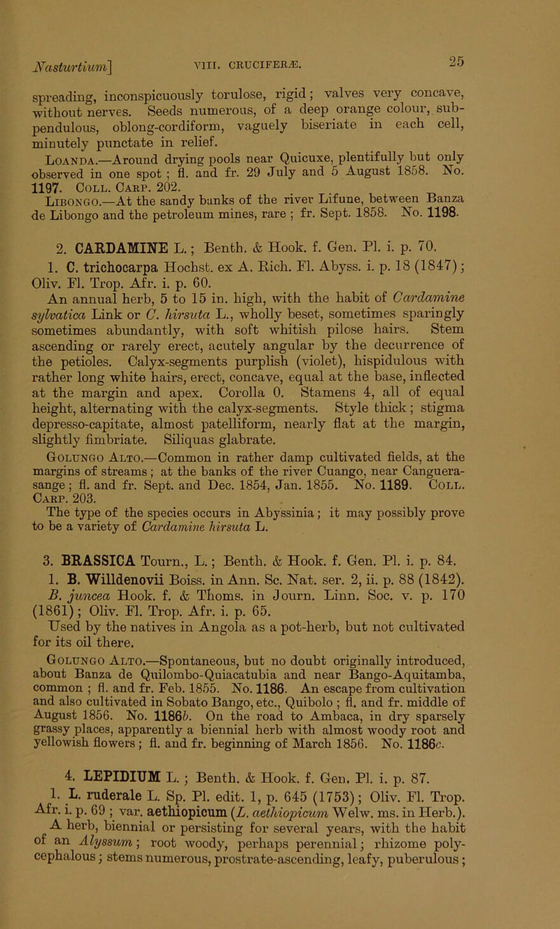 spreading, inconspicuously torulose, rigid; valves very concave, without nerves. Seeds numerous, of a deep orange colour, sub- pendulous, oblong-cordiform, vaguely biseriate in each cell, minutely punctate in relief. Loanda.—Around drying pools near Quicuxe, plentifully but only observed in one spot ; fl. and fr. 29 July and 5 August 1858. No. 1197. Coll. Carp. 202. Libongo.—At the sandy banks of the river Lifune, between Banza de Libongo and the petroleum mines, rare ; fr. Sept. 1858. No. 1198. 2. CARDAMINE L.; Benth. & Hook. f. Gen. PI. i. p. 70. 1. C. trichocarpa Hochst. ex A. Rich. Fl. Abyss, i. p. 18 (1847); Oliv. Fl. Trop. Afr. i. p. 60. An annual herb, 5 to 15 in. high, with the habit of Cardamine sylvatica Link or C. hirsuta L., wholly beset, sometimes sparingly sometimes abundantly, with soft whitish pilose hairs. Stem ascending or rarely erect, acutely angular by the decurrence of the petioles. Calyx-segments purplish (violet), kispidulous with rather long white hairs, erect, concave, equal at the base, inflected at the margin and apex. Corolla 0. Stamens 4, all of equal height, alternating with the calyx-segments. Style thick; stigma depresso-capitate, almost patelliform, nearly flat at the margin, slightly fimbriate. Siliquas glabrate. Golungo Alto.—Common in rather damp cultivated fields, at the margins of streams ; at the banks of the river Cuango, near Canguera- sange; fl. and fr. Sept, and Dec. 1854, Jan. 1855. No. 1189. Coll. Carp. 203. The type of the species occurs in Abyssinia; it may possibly prove to be a variety of Cardamine hirsuta L. 3. BRASSICA Tourn., L.; Benth. & Hook. f. Gen. PI. i. p. 84. 1. B. Willdenovii Boiss. in Ann. Sc. Nat. ser. 2, ii. p. 88 (1842). B. juncea Hook. f. & Thoms, in Journ. Linn. Soc. v. p. 170 (1861); Oliv. Fl. Trop. Afr. i. p. 65. Hsed by the natives in Angola as a pot-herb, but not cultivated for its oil there. Golungo Alto.—Spontaneous, but no doubt originally introduced, about Banza de Quilombo-Quiacatubia and near Bango-Aquitamba, common ; fl. and fr. Feb. 1855. No. 1186. An escape from cultivation and also cultivated in Sobato Bango, etc., Quibolo ; fl. and fr. middle of August 1856. No. 11865. On the road to Ambaca, in dry sparsely grassy places, apparently a biennial herb with almost woody root and yellowish flowers ; fl. and fr. beginning of March 1856. No. 1186c. 4. LEPIDITJM L.; Benth. & Hook. f. Gen. PI. i. p. 87. 1. L. ruderale L. Sp. PI. edit. 1, p. 645 (1753); Oliv. Fl. Trop. Afr. i. p. 69 ; var. aethiopicum (A. aethiopicum Welw. ms. in Flerb.). A herb, biennial or persisting for several years, with the habit of an Alyssum; root woody, perhaps perennial; rhizome poly- cephalous; stems numerous, prostrate-ascending, leafy, puberulous;